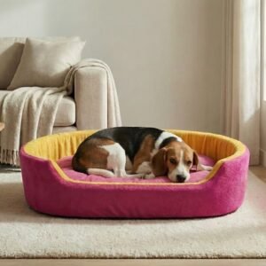 dog bed, premium dog bed, orthopedic dog bed, soft dog bed, pet bed for dogs, comfortable dog bed, washable dog bed, dog bed with cushion, premium orthopedic dog bed for large dogs, soft and comfortable dog bed with cushion, durable dog bed with PU foam support, luxury pet bed for small and medium dogs, breathable dog bed for summer and winter, stylish modern dog bed for home, lightweight dog bed easy to carry, dog bed with bone shape pillow, buy dog bed online India, best dog bed for home use, affordable premium dog bed, high quality pet bed India, dog bed under budget, cozy dog bed, luxury pet comfort bed, soft plush dog bed, designer dog bed, pet sleeping bed, dog sofa bed, dog lounger bed, pet sofa bed, round dog bed, donut dog bed, calming dog bed, anti anxiety dog bed, raised edge dog bed, bolster dog bed, dog bed with side support, dog bed with high walls, puppy bed, small dog bed, medium dog bed, large dog bed, extra large dog bed, indoor dog bed, home pet bed, dog sleeping cushion, thick padded dog bed, fluffy dog bed, soft foam dog bed, PU foam dog bed, fiber filled dog bed, eco friendly dog bed, skin friendly dog bed, hypoallergenic dog bed, non toxic pet bed, durable pet bedding, long lasting dog bed, tear resistant dog bed, chew resistant dog bed, easy to clean dog bed, machine washable pet bed, removable cover dog bed, portable dog bed, travel dog bed, foldable dog bed, lightweight pet bed, luxury dog sofa, premium pet mattress, designer pet furniture, modern pet bed, aesthetic dog bed, comfortable pet mattress, pet relaxation bed, cozy pet nest, warm dog bed for winter, cool breathable dog bed for summer, all season dog bed, anti slip base dog bed, waterproof dog bed, indoor luxury pet bed, dog bed for crate, dog bed for living room, pet accessories dog bed, best selling dog bed, trending pet products, affordable pet bedding India, online pet supplies India