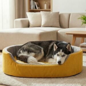 dog bed, premium dog bed, orthopedic dog bed, soft dog bed, pet bed for dogs, comfortable dog bed, washable dog bed, dog bed with cushion, premium orthopedic dog bed for large dogs, soft and comfortable dog bed with cushion, durable dog bed with PU foam support, luxury pet bed for small and medium dogs, breathable dog bed for summer and winter, stylish modern dog bed for home, lightweight dog bed easy to carry, dog bed with bone shape pillow, buy dog bed online India, best dog bed for home use, affordable premium dog bed, high quality pet bed India, dog bed under budget, cozy dog bed, luxury pet comfort bed, soft plush dog bed, designer dog bed, pet sleeping bed, dog sofa bed, dog lounger bed, pet sofa bed, round dog bed, donut dog bed, calming dog bed, anti anxiety dog bed, raised edge dog bed, bolster dog bed, dog bed with side support, dog bed with high walls, puppy bed, small dog bed, medium dog bed, large dog bed, extra large dog bed, indoor dog bed, home pet bed, dog sleeping cushion, thick padded dog bed, fluffy dog bed, soft foam dog bed, PU foam dog bed, fiber filled dog bed, eco friendly dog bed, skin friendly dog bed, hypoallergenic dog bed, non toxic pet bed, durable pet bedding, long lasting dog bed, tear resistant dog bed, chew resistant dog bed, easy to clean dog bed, machine washable pet bed, removable cover dog bed, portable dog bed, travel dog bed, foldable dog bed, lightweight pet bed, luxury dog sofa, premium pet mattress, designer pet furniture, modern pet bed, aesthetic dog bed, comfortable pet mattress, pet relaxation bed, cozy pet nest, warm dog bed for winter, cool breathable dog bed for summer, all season dog bed, anti slip base dog bed, waterproof dog bed, indoor luxury pet bed, dog bed for crate, dog bed for living room, pet accessories dog bed, best selling dog bed, trending pet products, affordable pet bedding India, online pet supplies India