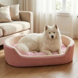 dog bed, premium dog bed, orthopedic dog bed, soft dog bed, pet bed for dogs, comfortable dog bed, washable dog bed, dog bed with cushion, premium orthopedic dog bed for large dogs, soft and comfortable dog bed with cushion, durable dog bed with PU foam support, luxury pet bed for small and medium dogs, breathable dog bed for summer and winter, stylish modern dog bed for home, lightweight dog bed easy to carry, dog bed with bone shape pillow, buy dog bed online India, best dog bed for home use, affordable premium dog bed, high quality pet bed India, dog bed under budget, cozy dog bed, luxury pet comfort bed, soft plush dog bed, designer dog bed, pet sleeping bed, dog sofa bed, dog lounger bed, pet sofa bed, round dog bed, donut dog bed, calming dog bed, anti anxiety dog bed, raised edge dog bed, bolster dog bed, dog bed with side support, dog bed with high walls, puppy bed, small dog bed, medium dog bed, large dog bed, extra large dog bed, indoor dog bed, home pet bed, dog sleeping cushion, thick padded dog bed, fluffy dog bed, soft foam dog bed, PU foam dog bed, fiber filled dog bed, eco friendly dog bed, skin friendly dog bed, hypoallergenic dog bed, non toxic pet bed, durable pet bedding, long lasting dog bed, tear resistant dog bed, chew resistant dog bed, easy to clean dog bed, machine washable pet bed, removable cover dog bed, portable dog bed, travel dog bed, foldable dog bed, lightweight pet bed, luxury dog sofa, premium pet mattress, designer pet furniture, modern pet bed, aesthetic dog bed, comfortable pet mattress, pet relaxation bed, cozy pet nest, warm dog bed for winter, cool breathable dog bed for summer, all season dog bed, anti slip base dog bed, waterproof dog bed, indoor luxury pet bed, dog bed for crate, dog bed for living room, pet accessories dog bed, best selling dog bed, trending pet products, affordable pet bedding India, online pet supplies India