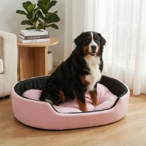 dog bed, premium dog bed, orthopedic dog bed, soft dog bed, pet bed for dogs, comfortable dog bed, washable dog bed, dog bed with cushion, premium orthopedic dog bed for large dogs, soft and comfortable dog bed with cushion, durable dog bed with PU foam support, luxury pet bed for small and medium dogs, breathable dog bed for summer and winter, stylish modern dog bed for home, lightweight dog bed easy to carry, dog bed with bone shape pillow, buy dog bed online India, best dog bed for home use, affordable premium dog bed, high quality pet bed India, dog bed under budget, cozy dog bed, luxury pet comfort bed, soft plush dog bed, designer dog bed, pet sleeping bed, dog sofa bed, dog lounger bed, pet sofa bed, round dog bed, donut dog bed, calming dog bed, anti anxiety dog bed, raised edge dog bed, bolster dog bed, dog bed with side support, dog bed with high walls, puppy bed, small dog bed, medium dog bed, large dog bed, extra large dog bed, indoor dog bed, home pet bed, dog sleeping cushion, thick padded dog bed, fluffy dog bed, soft foam dog bed, PU foam dog bed, fiber filled dog bed, eco friendly dog bed, skin friendly dog bed, hypoallergenic dog bed, non toxic pet bed, durable pet bedding, long lasting dog bed, tear resistant dog bed, chew resistant dog bed, easy to clean dog bed, machine washable pet bed, removable cover dog bed, portable dog bed, travel dog bed, foldable dog bed, lightweight pet bed, luxury dog sofa, premium pet mattress, designer pet furniture, modern pet bed, aesthetic dog bed, comfortable pet mattress, pet relaxation bed, cozy pet nest, warm dog bed for winter, cool breathable dog bed for summer, all season dog bed, anti slip base dog bed, waterproof dog bed, indoor luxury pet bed, dog bed for crate, dog bed for living room, pet accessories dog bed, best selling dog bed, trending pet products, affordable pet bedding India, online pet supplies India