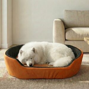 dog bed, premium dog bed, orthopedic dog bed, soft dog bed, pet bed for dogs, comfortable dog bed, washable dog bed, dog bed with cushion, premium orthopedic dog bed for large dogs, soft and comfortable dog bed with cushion, durable dog bed with PU foam support, luxury pet bed for small and medium dogs, breathable dog bed for summer and winter, stylish modern dog bed for home, lightweight dog bed easy to carry, dog bed with bone shape pillow, buy dog bed online India, best dog bed for home use, affordable premium dog bed, high quality pet bed India, dog bed under budget, cozy dog bed, luxury pet comfort bed, soft plush dog bed, designer dog bed, pet sleeping bed, dog sofa bed, dog lounger bed, pet sofa bed, round dog bed, donut dog bed, calming dog bed, anti anxiety dog bed, raised edge dog bed, bolster dog bed, dog bed with side support, dog bed with high walls, puppy bed, small dog bed, medium dog bed, large dog bed, extra large dog bed, indoor dog bed, home pet bed, dog sleeping cushion, thick padded dog bed, fluffy dog bed, soft foam dog bed, PU foam dog bed, fiber filled dog bed, eco friendly dog bed, skin friendly dog bed, hypoallergenic dog bed, non toxic pet bed, durable pet bedding, long lasting dog bed, tear resistant dog bed, chew resistant dog bed, easy to clean dog bed, machine washable pet bed, removable cover dog bed, portable dog bed, travel dog bed, foldable dog bed, lightweight pet bed, luxury dog sofa, premium pet mattress, designer pet furniture, modern pet bed, aesthetic dog bed, comfortable pet mattress, pet relaxation bed, cozy pet nest, warm dog bed for winter, cool breathable dog bed for summer, all season dog bed, anti slip base dog bed, waterproof dog bed, indoor luxury pet bed, dog bed for crate, dog bed for living room, pet accessories dog bed, best selling dog bed, trending pet products, affordable pet bedding India, online pet supplies India