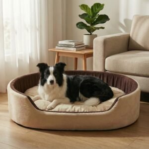 dog bed, premium dog bed, orthopedic dog bed, soft dog bed, pet bed for dogs, comfortable dog bed, washable dog bed, dog bed with cushion, premium orthopedic dog bed for large dogs, soft and comfortable dog bed with cushion, durable dog bed with PU foam support, luxury pet bed for small and medium dogs, breathable dog bed for summer and winter, stylish modern dog bed for home, lightweight dog bed easy to carry, dog bed with bone shape pillow, buy dog bed online India, best dog bed for home use, affordable premium dog bed, high quality pet bed India, dog bed under budget, cozy dog bed, luxury pet comfort bed, soft plush dog bed, designer dog bed, pet sleeping bed, dog sofa bed, dog lounger bed, pet sofa bed, round dog bed, donut dog bed, calming dog bed, anti anxiety dog bed, raised edge dog bed, bolster dog bed, dog bed with side support, dog bed with high walls, puppy bed, small dog bed, medium dog bed, large dog bed, extra large dog bed, indoor dog bed, home pet bed, dog sleeping cushion, thick padded dog bed, fluffy dog bed, soft foam dog bed, PU foam dog bed, fiber filled dog bed, eco friendly dog bed, skin friendly dog bed, hypoallergenic dog bed, non toxic pet bed, durable pet bedding, long lasting dog bed, tear resistant dog bed, chew resistant dog bed, easy to clean dog bed, machine washable pet bed, removable cover dog bed, portable dog bed, travel dog bed, foldable dog bed, lightweight pet bed, luxury dog sofa, premium pet mattress, designer pet furniture, modern pet bed, aesthetic dog bed, comfortable pet mattress, pet relaxation bed, cozy pet nest, warm dog bed for winter, cool breathable dog bed for summer, all season dog bed, anti slip base dog bed, waterproof dog bed, indoor luxury pet bed, dog bed for crate, dog bed for living room, pet accessories dog bed, best selling dog bed, trending pet products, affordable pet bedding India, online pet supplies India