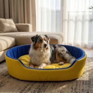 dog bed, premium dog bed, orthopedic dog bed, soft dog bed, pet bed for dogs, comfortable dog bed, washable dog bed, dog bed with cushion, premium orthopedic dog bed for large dogs, soft and comfortable dog bed with cushion, durable dog bed with PU foam support, luxury pet bed for small and medium dogs, breathable dog bed for summer and winter, stylish modern dog bed for home, lightweight dog bed easy to carry, dog bed with bone shape pillow, buy dog bed online India, best dog bed for home use, affordable premium dog bed, high quality pet bed India, dog bed under budget, cozy dog bed, luxury pet comfort bed, soft plush dog bed, designer dog bed, pet sleeping bed, dog sofa bed, dog lounger bed, pet sofa bed, round dog bed, donut dog bed, calming dog bed, anti anxiety dog bed, raised edge dog bed, bolster dog bed, dog bed with side support, dog bed with high walls, puppy bed, small dog bed, medium dog bed, large dog bed, extra large dog bed, indoor dog bed, home pet bed, dog sleeping cushion, thick padded dog bed, fluffy dog bed, soft foam dog bed, PU foam dog bed, fiber filled dog bed, eco friendly dog bed, skin friendly dog bed, hypoallergenic dog bed, non toxic pet bed, durable pet bedding, long lasting dog bed, tear resistant dog bed, chew resistant dog bed, easy to clean dog bed, machine washable pet bed, removable cover dog bed, portable dog bed, travel dog bed, foldable dog bed, lightweight pet bed, luxury dog sofa, premium pet mattress, designer pet furniture, modern pet bed, aesthetic dog bed, comfortable pet mattress, pet relaxation bed, cozy pet nest, warm dog bed for winter, cool breathable dog bed for summer, all season dog bed, anti slip base dog bed, waterproof dog bed, indoor luxury pet bed, dog bed for crate, dog bed for living room, pet accessories dog bed, best selling dog bed, trending pet products, affordable pet bedding India, online pet supplies India