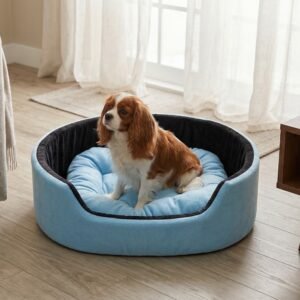 dog bed, premium dog bed, orthopedic dog bed, soft dog bed, pet bed for dogs, comfortable dog bed, washable dog bed, dog bed with cushion, premium orthopedic dog bed for large dogs, soft and comfortable dog bed with cushion, durable dog bed with PU foam support, luxury pet bed for small and medium dogs, breathable dog bed for summer and winter, stylish modern dog bed for home, lightweight dog bed easy to carry, dog bed with bone shape pillow, buy dog bed online India, best dog bed for home use, affordable premium dog bed, high quality pet bed India, dog bed under budget, cozy dog bed, luxury pet comfort bed, soft plush dog bed, designer dog bed, pet sleeping bed, dog sofa bed, dog lounger bed, pet sofa bed, round dog bed, donut dog bed, calming dog bed, anti anxiety dog bed, raised edge dog bed, bolster dog bed, dog bed with side support, dog bed with high walls, puppy bed, small dog bed, medium dog bed, large dog bed, extra large dog bed, indoor dog bed, home pet bed, dog sleeping cushion, thick padded dog bed, fluffy dog bed, soft foam dog bed, PU foam dog bed, fiber filled dog bed, eco friendly dog bed, skin friendly dog bed, hypoallergenic dog bed, non toxic pet bed, durable pet bedding, long lasting dog bed, tear resistant dog bed, chew resistant dog bed, easy to clean dog bed, machine washable pet bed, removable cover dog bed, portable dog bed, travel dog bed, foldable dog bed, lightweight pet bed, luxury dog sofa, premium pet mattress, designer pet furniture, modern pet bed, aesthetic dog bed, comfortable pet mattress, pet relaxation bed, cozy pet nest, warm dog bed for winter, cool breathable dog bed for summer, all season dog bed, anti slip base dog bed, waterproof dog bed, indoor luxury pet bed, dog bed for crate, dog bed for living room, pet accessories dog bed, best selling dog bed, trending pet products, affordable pet bedding India, online pet supplies India