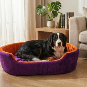 dog bed, premium dog bed, orthopedic dog bed, soft dog bed, pet bed for dogs, comfortable dog bed, washable dog bed, dog bed with cushion, premium orthopedic dog bed for large dogs, soft and comfortable dog bed with cushion, durable dog bed with PU foam support, luxury pet bed for small and medium dogs, breathable dog bed for summer and winter, stylish modern dog bed for home, lightweight dog bed easy to carry, dog bed with bone shape pillow, buy dog bed online India, best dog bed for home use, affordable premium dog bed, high quality pet bed India, dog bed under budget, cozy dog bed, luxury pet comfort bed, soft plush dog bed, designer dog bed, pet sleeping bed, dog sofa bed, dog lounger bed, pet sofa bed, round dog bed, donut dog bed, calming dog bed, anti anxiety dog bed, raised edge dog bed, bolster dog bed, dog bed with side support, dog bed with high walls, puppy bed, small dog bed, medium dog bed, large dog bed, extra large dog bed, indoor dog bed, home pet bed, dog sleeping cushion, thick padded dog bed, fluffy dog bed, soft foam dog bed, PU foam dog bed, fiber filled dog bed, eco friendly dog bed, skin friendly dog bed, hypoallergenic dog bed, non toxic pet bed, durable pet bedding, long lasting dog bed, tear resistant dog bed, chew resistant dog bed, easy to clean dog bed, machine washable pet bed, removable cover dog bed, portable dog bed, travel dog bed, foldable dog bed, lightweight pet bed, luxury dog sofa, premium pet mattress, designer pet furniture, modern pet bed, aesthetic dog bed, comfortable pet mattress, pet relaxation bed, cozy pet nest, warm dog bed for winter, cool breathable dog bed for summer, all season dog bed, anti slip base dog bed, waterproof dog bed, indoor luxury pet bed, dog bed for crate, dog bed for living room, pet accessories dog bed, best selling dog bed, trending pet products, affordable pet bedding India, online pet supplies India