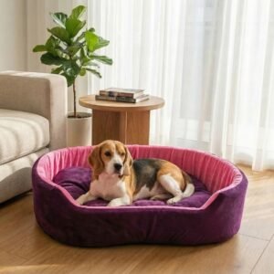 dog bed, premium dog bed, orthopedic dog bed, soft dog bed, pet bed for dogs, comfortable dog bed, washable dog bed, dog bed with cushion, premium orthopedic dog bed for large dogs, soft and comfortable dog bed with cushion, durable dog bed with PU foam support, luxury pet bed for small and medium dogs, breathable dog bed for summer and winter, stylish modern dog bed for home, lightweight dog bed easy to carry, dog bed with bone shape pillow, buy dog bed online India, best dog bed for home use, affordable premium dog bed, high quality pet bed India, dog bed under budget, cozy dog bed, luxury pet comfort bed, soft plush dog bed, designer dog bed, pet sleeping bed, dog sofa bed, dog lounger bed, pet sofa bed, round dog bed, donut dog bed, calming dog bed, anti anxiety dog bed, raised edge dog bed, bolster dog bed, dog bed with side support, dog bed with high walls, puppy bed, small dog bed, medium dog bed, large dog bed, extra large dog bed, indoor dog bed, home pet bed, dog sleeping cushion, thick padded dog bed, fluffy dog bed, soft foam dog bed, PU foam dog bed, fiber filled dog bed, eco friendly dog bed, skin friendly dog bed, hypoallergenic dog bed, non toxic pet bed, durable pet bedding, long lasting dog bed, tear resistant dog bed, chew resistant dog bed, easy to clean dog bed, machine washable pet bed, removable cover dog bed, portable dog bed, travel dog bed, foldable dog bed, lightweight pet bed, luxury dog sofa, premium pet mattress, designer pet furniture, modern pet bed, aesthetic dog bed, comfortable pet mattress, pet relaxation bed, cozy pet nest, warm dog bed for winter, cool breathable dog bed for summer, all season dog bed, anti slip base dog bed, waterproof dog bed, indoor luxury pet bed, dog bed for crate, dog bed for living room, pet accessories dog bed, best selling dog bed, trending pet products, affordable pet bedding India, online pet supplies India