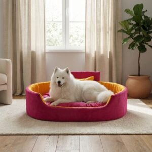 dog bed, premium dog bed, orthopedic dog bed, soft dog bed, pet bed for dogs, comfortable dog bed, washable dog bed, dog bed with cushion, premium orthopedic dog bed for large dogs, soft and comfortable dog bed with cushion, durable dog bed with PU foam support, luxury pet bed for small and medium dogs, breathable dog bed for summer and winter, stylish modern dog bed for home, lightweight dog bed easy to carry, dog bed with bone shape pillow, buy dog bed online India, best dog bed for home use, affordable premium dog bed, high quality pet bed India, dog bed under budget, cozy dog bed, luxury pet comfort bed, soft plush dog bed, designer dog bed, pet sleeping bed, dog sofa bed, dog lounger bed, pet sofa bed, round dog bed, donut dog bed, calming dog bed, anti anxiety dog bed, raised edge dog bed, bolster dog bed, dog bed with side support, dog bed with high walls, puppy bed, small dog bed, medium dog bed, large dog bed, extra large dog bed, indoor dog bed, home pet bed, dog sleeping cushion, thick padded dog bed, fluffy dog bed, soft foam dog bed, PU foam dog bed, fiber filled dog bed, eco friendly dog bed, skin friendly dog bed, hypoallergenic dog bed, non toxic pet bed, durable pet bedding, long lasting dog bed, tear resistant dog bed, chew resistant dog bed, easy to clean dog bed, machine washable pet bed, removable cover dog bed, portable dog bed, travel dog bed, foldable dog bed, lightweight pet bed, luxury dog sofa, premium pet mattress, designer pet furniture, modern pet bed, aesthetic dog bed, comfortable pet mattress, pet relaxation bed, cozy pet nest, warm dog bed for winter, cool breathable dog bed for summer, all season dog bed, anti slip base dog bed, waterproof dog bed, indoor luxury pet bed, dog bed for crate, dog bed for living room, pet accessories dog bed, best selling dog bed, trending pet products, affordable pet bedding India, online pet supplies India