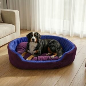 dog bed, premium dog bed, orthopedic dog bed, soft dog bed, pet bed for dogs, comfortable dog bed, washable dog bed, dog bed with cushion, premium orthopedic dog bed for large dogs, soft and comfortable dog bed with cushion, durable dog bed with PU foam support, luxury pet bed for small and medium dogs, breathable dog bed for summer and winter, stylish modern dog bed for home, lightweight dog bed easy to carry, dog bed with bone shape pillow, buy dog bed online India, best dog bed for home use, affordable premium dog bed, high quality pet bed India, dog bed under budget, cozy dog bed, luxury pet comfort bed, soft plush dog bed, designer dog bed, pet sleeping bed, dog sofa bed, dog lounger bed, pet sofa bed, round dog bed, donut dog bed, calming dog bed, anti anxiety dog bed, raised edge dog bed, bolster dog bed, dog bed with side support, dog bed with high walls, puppy bed, small dog bed, medium dog bed, large dog bed, extra large dog bed, indoor dog bed, home pet bed, dog sleeping cushion, thick padded dog bed, fluffy dog bed, soft foam dog bed, PU foam dog bed, fiber filled dog bed, eco friendly dog bed, skin friendly dog bed, hypoallergenic dog bed, non toxic pet bed, durable pet bedding, long lasting dog bed, tear resistant dog bed, chew resistant dog bed, easy to clean dog bed, machine washable pet bed, removable cover dog bed, portable dog bed, travel dog bed, foldable dog bed, lightweight pet bed, luxury dog sofa, premium pet mattress, designer pet furniture, modern pet bed, aesthetic dog bed, comfortable pet mattress, pet relaxation bed, cozy pet nest, warm dog bed for winter, cool breathable dog bed for summer, all season dog bed, anti slip base dog bed, waterproof dog bed, indoor luxury pet bed, dog bed for crate, dog bed for living room, pet accessories dog bed, best selling dog bed, trending pet products, affordable pet bedding India, online pet supplies India