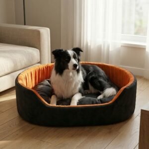 dog bed, premium dog bed, orthopedic dog bed, soft dog bed, pet bed for dogs, comfortable dog bed, washable dog bed, dog bed with cushion, premium orthopedic dog bed for large dogs, soft and comfortable dog bed with cushion, durable dog bed with PU foam support, luxury pet bed for small and medium dogs, breathable dog bed for summer and winter, stylish modern dog bed for home, lightweight dog bed easy to carry, dog bed with bone shape pillow, buy dog bed online India, best dog bed for home use, affordable premium dog bed, high quality pet bed India, dog bed under budget, cozy dog bed, luxury pet comfort bed, soft plush dog bed, designer dog bed, pet sleeping bed, dog sofa bed, dog lounger bed, pet sofa bed, round dog bed, donut dog bed, calming dog bed, anti anxiety dog bed, raised edge dog bed, bolster dog bed, dog bed with side support, dog bed with high walls, puppy bed, small dog bed, medium dog bed, large dog bed, extra large dog bed, indoor dog bed, home pet bed, dog sleeping cushion, thick padded dog bed, fluffy dog bed, soft foam dog bed, PU foam dog bed, fiber filled dog bed, eco friendly dog bed, skin friendly dog bed, hypoallergenic dog bed, non toxic pet bed, durable pet bedding, long lasting dog bed, tear resistant dog bed, chew resistant dog bed, easy to clean dog bed, machine washable pet bed, removable cover dog bed, portable dog bed, travel dog bed, foldable dog bed, lightweight pet bed, luxury dog sofa, premium pet mattress, designer pet furniture, modern pet bed, aesthetic dog bed, comfortable pet mattress, pet relaxation bed, cozy pet nest, warm dog bed for winter, cool breathable dog bed for summer, all season dog bed, anti slip base dog bed, waterproof dog bed, indoor luxury pet bed, dog bed for crate, dog bed for living room, pet accessories dog bed, best selling dog bed, trending pet products, affordable pet bedding India, online pet supplies India