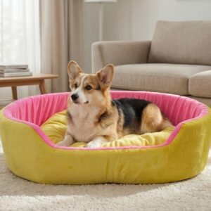 dog bed, premium dog bed, orthopedic dog bed, soft dog bed, pet bed for dogs, comfortable dog bed, washable dog bed, dog bed with cushion, premium orthopedic dog bed for large dogs, soft and comfortable dog bed with cushion, durable dog bed with PU foam support, luxury pet bed for small and medium dogs, breathable dog bed for summer and winter, stylish modern dog bed for home, lightweight dog bed easy to carry, dog bed with bone shape pillow, buy dog bed online India, best dog bed for home use, affordable premium dog bed, high quality pet bed India, dog bed under budget, cozy dog bed, luxury pet comfort bed, soft plush dog bed, designer dog bed, pet sleeping bed, dog sofa bed, dog lounger bed, pet sofa bed, round dog bed, donut dog bed, calming dog bed, anti anxiety dog bed, raised edge dog bed, bolster dog bed, dog bed with side support, dog bed with high walls, puppy bed, small dog bed, medium dog bed, large dog bed, extra large dog bed, indoor dog bed, home pet bed, dog sleeping cushion, thick padded dog bed, fluffy dog bed, soft foam dog bed, PU foam dog bed, fiber filled dog bed, eco friendly dog bed, skin friendly dog bed, hypoallergenic dog bed, non toxic pet bed, durable pet bedding, long lasting dog bed, tear resistant dog bed, chew resistant dog bed, easy to clean dog bed, machine washable pet bed, removable cover dog bed, portable dog bed, travel dog bed, foldable dog bed, lightweight pet bed, luxury dog sofa, premium pet mattress, designer pet furniture, modern pet bed, aesthetic dog bed, comfortable pet mattress, pet relaxation bed, cozy pet nest, warm dog bed for winter, cool breathable dog bed for summer, all season dog bed, anti slip base dog bed, waterproof dog bed, indoor luxury pet bed, dog bed for crate, dog bed for living room, pet accessories dog bed, best selling dog bed, trending pet products, affordable pet bedding India, online pet supplies India