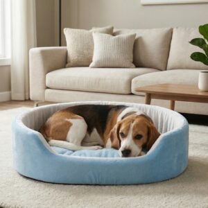 dog bed, premium dog bed, orthopedic dog bed, soft dog bed, pet bed for dogs, comfortable dog bed, washable dog bed, dog bed with cushion, premium orthopedic dog bed for large dogs, soft and comfortable dog bed with cushion, durable dog bed with PU foam support, luxury pet bed for small and medium dogs, breathable dog bed for summer and winter, stylish modern dog bed for home, lightweight dog bed easy to carry, dog bed with bone shape pillow, buy dog bed online India, best dog bed for home use, affordable premium dog bed, high quality pet bed India, dog bed under budget, cozy dog bed, luxury pet comfort bed, soft plush dog bed, designer dog bed, pet sleeping bed, dog sofa bed, dog lounger bed, pet sofa bed, round dog bed, donut dog bed, calming dog bed, anti anxiety dog bed, raised edge dog bed, bolster dog bed, dog bed with side support, dog bed with high walls, puppy bed, small dog bed, medium dog bed, large dog bed, extra large dog bed, indoor dog bed, home pet bed, dog sleeping cushion, thick padded dog bed, fluffy dog bed, soft foam dog bed, PU foam dog bed, fiber filled dog bed, eco friendly dog bed, skin friendly dog bed, hypoallergenic dog bed, non toxic pet bed, durable pet bedding, long lasting dog bed, tear resistant dog bed, chew resistant dog bed, easy to clean dog bed, machine washable pet bed, removable cover dog bed, portable dog bed, travel dog bed, foldable dog bed, lightweight pet bed, luxury dog sofa, premium pet mattress, designer pet furniture, modern pet bed, aesthetic dog bed, comfortable pet mattress, pet relaxation bed, cozy pet nest, warm dog bed for winter, cool breathable dog bed for summer, all season dog bed, anti slip base dog bed, waterproof dog bed, indoor luxury pet bed, dog bed for crate, dog bed for living room, pet accessories dog bed, best selling dog bed, trending pet products, affordable pet bedding India, online pet supplies India