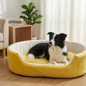 dog bed, premium dog bed, orthopedic dog bed, soft dog bed, pet bed for dogs, comfortable dog bed, washable dog bed, dog bed with cushion, premium orthopedic dog bed for large dogs, soft and comfortable dog bed with cushion, durable dog bed with PU foam support, luxury pet bed for small and medium dogs, breathable dog bed for summer and winter, stylish modern dog bed for home, lightweight dog bed easy to carry, dog bed with bone shape pillow, buy dog bed online India, best dog bed for home use, affordable premium dog bed, high quality pet bed India, dog bed under budget, cozy dog bed, luxury pet comfort bed, soft plush dog bed, designer dog bed, pet sleeping bed, dog sofa bed, dog lounger bed, pet sofa bed, round dog bed, donut dog bed, calming dog bed, anti anxiety dog bed, raised edge dog bed, bolster dog bed, dog bed with side support, dog bed with high walls, puppy bed, small dog bed, medium dog bed, large dog bed, extra large dog bed, indoor dog bed, home pet bed, dog sleeping cushion, thick padded dog bed, fluffy dog bed, soft foam dog bed, PU foam dog bed, fiber filled dog bed, eco friendly dog bed, skin friendly dog bed, hypoallergenic dog bed, non toxic pet bed, durable pet bedding, long lasting dog bed, tear resistant dog bed, chew resistant dog bed, easy to clean dog bed, machine washable pet bed, removable cover dog bed, portable dog bed, travel dog bed, foldable dog bed, lightweight pet bed, luxury dog sofa, premium pet mattress, designer pet furniture, modern pet bed, aesthetic dog bed, comfortable pet mattress, pet relaxation bed, cozy pet nest, warm dog bed for winter, cool breathable dog bed for summer, all season dog bed, anti slip base dog bed, waterproof dog bed, indoor luxury pet bed, dog bed for crate, dog bed for living room, pet accessories dog bed, best selling dog bed, trending pet products, affordable pet bedding India, online pet supplies India