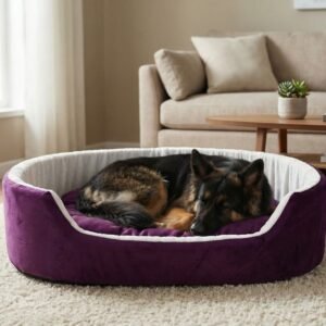 dog bed, premium dog bed, orthopedic dog bed, soft dog bed, pet bed for dogs, comfortable dog bed, washable dog bed, dog bed with cushion, premium orthopedic dog bed for large dogs, soft and comfortable dog bed with cushion, durable dog bed with PU foam support, luxury pet bed for small and medium dogs, breathable dog bed for summer and winter, stylish modern dog bed for home, lightweight dog bed easy to carry, dog bed with bone shape pillow, buy dog bed online India, best dog bed for home use, affordable premium dog bed, high quality pet bed India, dog bed under budget, cozy dog bed, luxury pet comfort bed, soft plush dog bed, designer dog bed, pet sleeping bed, dog sofa bed, dog lounger bed, pet sofa bed, round dog bed, donut dog bed, calming dog bed, anti anxiety dog bed, raised edge dog bed, bolster dog bed, dog bed with side support, dog bed with high walls, puppy bed, small dog bed, medium dog bed, large dog bed, extra large dog bed, indoor dog bed, home pet bed, dog sleeping cushion, thick padded dog bed, fluffy dog bed, soft foam dog bed, PU foam dog bed, fiber filled dog bed, eco friendly dog bed, skin friendly dog bed, hypoallergenic dog bed, non toxic pet bed, durable pet bedding, long lasting dog bed, tear resistant dog bed, chew resistant dog bed, easy to clean dog bed, machine washable pet bed, removable cover dog bed, portable dog bed, travel dog bed, foldable dog bed, lightweight pet bed, luxury dog sofa, premium pet mattress, designer pet furniture, modern pet bed, aesthetic dog bed, comfortable pet mattress, pet relaxation bed, cozy pet nest, warm dog bed for winter, cool breathable dog bed for summer, all season dog bed, anti slip base dog bed, waterproof dog bed, indoor luxury pet bed, dog bed for crate, dog bed for living room, pet accessories dog bed, best selling dog bed, trending pet products, affordable pet bedding India, online pet supplies India