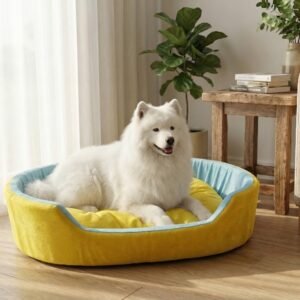 dog bed, premium dog bed, orthopedic dog bed, soft dog bed, pet bed for dogs, comfortable dog bed, washable dog bed, dog bed with cushion, premium orthopedic dog bed for large dogs, soft and comfortable dog bed with cushion, durable dog bed with PU foam support, luxury pet bed for small and medium dogs, breathable dog bed for summer and winter, stylish modern dog bed for home, lightweight dog bed easy to carry, dog bed with bone shape pillow, buy dog bed online India, best dog bed for home use, affordable premium dog bed, high quality pet bed India, dog bed under budget, cozy dog bed, luxury pet comfort bed, soft plush dog bed, designer dog bed, pet sleeping bed, dog sofa bed, dog lounger bed, pet sofa bed, round dog bed, donut dog bed, calming dog bed, anti anxiety dog bed, raised edge dog bed, bolster dog bed, dog bed with side support, dog bed with high walls, puppy bed, small dog bed, medium dog bed, large dog bed, extra large dog bed, indoor dog bed, home pet bed, dog sleeping cushion, thick padded dog bed, fluffy dog bed, soft foam dog bed, PU foam dog bed, fiber filled dog bed, eco friendly dog bed, skin friendly dog bed, hypoallergenic dog bed, non toxic pet bed, durable pet bedding, long lasting dog bed, tear resistant dog bed, chew resistant dog bed, easy to clean dog bed, machine washable pet bed, removable cover dog bed, portable dog bed, travel dog bed, foldable dog bed, lightweight pet bed, luxury dog sofa, premium pet mattress, designer pet furniture, modern pet bed, aesthetic dog bed, comfortable pet mattress, pet relaxation bed, cozy pet nest, warm dog bed for winter, cool breathable dog bed for summer, all season dog bed, anti slip base dog bed, waterproof dog bed, indoor luxury pet bed, dog bed for crate, dog bed for living room, pet accessories dog bed, best selling dog bed, trending pet products, affordable pet bedding India, online pet supplies India