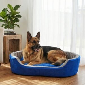 dog bed, premium dog bed, orthopedic dog bed, soft dog bed, pet bed for dogs, comfortable dog bed, washable dog bed, dog bed with cushion, premium orthopedic dog bed for large dogs, soft and comfortable dog bed with cushion, durable dog bed with PU foam support, luxury pet bed for small and medium dogs, breathable dog bed for summer and winter, stylish modern dog bed for home, lightweight dog bed easy to carry, dog bed with bone shape pillow, buy dog bed online India, best dog bed for home use, affordable premium dog bed, high quality pet bed India, dog bed under budget, cozy dog bed, luxury pet comfort bed, soft plush dog bed, designer dog bed, pet sleeping bed, dog sofa bed, dog lounger bed, pet sofa bed, round dog bed, donut dog bed, calming dog bed, anti anxiety dog bed, raised edge dog bed, bolster dog bed, dog bed with side support, dog bed with high walls, puppy bed, small dog bed, medium dog bed, large dog bed, extra large dog bed, indoor dog bed, home pet bed, dog sleeping cushion, thick padded dog bed, fluffy dog bed, soft foam dog bed, PU foam dog bed, fiber filled dog bed, eco friendly dog bed, skin friendly dog bed, hypoallergenic dog bed, non toxic pet bed, durable pet bedding, long lasting dog bed, tear resistant dog bed, chew resistant dog bed, easy to clean dog bed, machine washable pet bed, removable cover dog bed, portable dog bed, travel dog bed, foldable dog bed, lightweight pet bed, luxury dog sofa, premium pet mattress, designer pet furniture, modern pet bed, aesthetic dog bed, comfortable pet mattress, pet relaxation bed, cozy pet nest, warm dog bed for winter, cool breathable dog bed for summer, all season dog bed, anti slip base dog bed, waterproof dog bed, indoor luxury pet bed, dog bed for crate, dog bed for living room, pet accessories dog bed, best selling dog bed, trending pet products, affordable pet bedding India, online pet supplies India