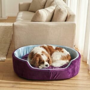 dog bed, premium dog bed, orthopedic dog bed, soft dog bed, pet bed for dogs, comfortable dog bed, washable dog bed, dog bed with cushion, premium orthopedic dog bed for large dogs, soft and comfortable dog bed with cushion, durable dog bed with PU foam support, luxury pet bed for small and medium dogs, breathable dog bed for summer and winter, stylish modern dog bed for home, lightweight dog bed easy to carry, dog bed with bone shape pillow, buy dog bed online India, best dog bed for home use, affordable premium dog bed, high quality pet bed India, dog bed under budget, cozy dog bed, luxury pet comfort bed, soft plush dog bed, designer dog bed, pet sleeping bed, dog sofa bed, dog lounger bed, pet sofa bed, round dog bed, donut dog bed, calming dog bed, anti anxiety dog bed, raised edge dog bed, bolster dog bed, dog bed with side support, dog bed with high walls, puppy bed, small dog bed, medium dog bed, large dog bed, extra large dog bed, indoor dog bed, home pet bed, dog sleeping cushion, thick padded dog bed, fluffy dog bed, soft foam dog bed, PU foam dog bed, fiber filled dog bed, eco friendly dog bed, skin friendly dog bed, hypoallergenic dog bed, non toxic pet bed, durable pet bedding, long lasting dog bed, tear resistant dog bed, chew resistant dog bed, easy to clean dog bed, machine washable pet bed, removable cover dog bed, portable dog bed, travel dog bed, foldable dog bed, lightweight pet bed, luxury dog sofa, premium pet mattress, designer pet furniture, modern pet bed, aesthetic dog bed, comfortable pet mattress, pet relaxation bed, cozy pet nest, warm dog bed for winter, cool breathable dog bed for summer, all season dog bed, anti slip base dog bed, waterproof dog bed, indoor luxury pet bed, dog bed for crate, dog bed for living room, pet accessories dog bed, best selling dog bed, trending pet products, affordable pet bedding India, online pet supplies India
