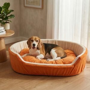 dog bed, premium dog bed, orthopedic dog bed, soft dog bed, pet bed for dogs, comfortable dog bed, washable dog bed, dog bed with cushion, premium orthopedic dog bed for large dogs, soft and comfortable dog bed with cushion, durable dog bed with PU foam support, luxury pet bed for small and medium dogs, breathable dog bed for summer and winter, stylish modern dog bed for home, lightweight dog bed easy to carry, dog bed with bone shape pillow, buy dog bed online India, best dog bed for home use, affordable premium dog bed, high quality pet bed India, dog bed under budget, cozy dog bed, luxury pet comfort bed, soft plush dog bed, designer dog bed, pet sleeping bed, dog sofa bed, dog lounger bed, pet sofa bed, round dog bed, donut dog bed, calming dog bed, anti anxiety dog bed, raised edge dog bed, bolster dog bed, dog bed with side support, dog bed with high walls, puppy bed, small dog bed, medium dog bed, large dog bed, extra large dog bed, indoor dog bed, home pet bed, dog sleeping cushion, thick padded dog bed, fluffy dog bed, soft foam dog bed, PU foam dog bed, fiber filled dog bed, eco friendly dog bed, skin friendly dog bed, hypoallergenic dog bed, non toxic pet bed, durable pet bedding, long lasting dog bed, tear resistant dog bed, chew resistant dog bed, easy to clean dog bed, machine washable pet bed, removable cover dog bed, portable dog bed, travel dog bed, foldable dog bed, lightweight pet bed, luxury dog sofa, premium pet mattress, designer pet furniture, modern pet bed, aesthetic dog bed, comfortable pet mattress, pet relaxation bed, cozy pet nest, warm dog bed for winter, cool breathable dog bed for summer, all season dog bed, anti slip base dog bed, waterproof dog bed, indoor luxury pet bed, dog bed for crate, dog bed for living room, pet accessories dog bed, best selling dog bed, trending pet products, affordable pet bedding India, online pet supplies India
