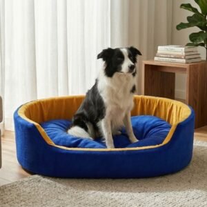 dog bed, premium dog bed, orthopedic dog bed, soft dog bed, pet bed for dogs, comfortable dog bed, washable dog bed, dog bed with cushion, premium orthopedic dog bed for large dogs, soft and comfortable dog bed with cushion, durable dog bed with PU foam support, luxury pet bed for small and medium dogs, breathable dog bed for summer and winter, stylish modern dog bed for home, lightweight dog bed easy to carry, dog bed with bone shape pillow, buy dog bed online India, best dog bed for home use, affordable premium dog bed, high quality pet bed India, dog bed under budget, cozy dog bed, luxury pet comfort bed, soft plush dog bed, designer dog bed, pet sleeping bed, dog sofa bed, dog lounger bed, pet sofa bed, round dog bed, donut dog bed, calming dog bed, anti anxiety dog bed, raised edge dog bed, bolster dog bed, dog bed with side support, dog bed with high walls, puppy bed, small dog bed, medium dog bed, large dog bed, extra large dog bed, indoor dog bed, home pet bed, dog sleeping cushion, thick padded dog bed, fluffy dog bed, soft foam dog bed, PU foam dog bed, fiber filled dog bed, eco friendly dog bed, skin friendly dog bed, hypoallergenic dog bed, non toxic pet bed, durable pet bedding, long lasting dog bed, tear resistant dog bed, chew resistant dog bed, easy to clean dog bed, machine washable pet bed, removable cover dog bed, portable dog bed, travel dog bed, foldable dog bed, lightweight pet bed, luxury dog sofa, premium pet mattress, designer pet furniture, modern pet bed, aesthetic dog bed, comfortable pet mattress, pet relaxation bed, cozy pet nest, warm dog bed for winter, cool breathable dog bed for summer, all season dog bed, anti slip base dog bed, waterproof dog bed, indoor luxury pet bed, dog bed for crate, dog bed for living room, pet accessories dog bed, best selling dog bed, trending pet products, affordable pet bedding India, online pet supplies India