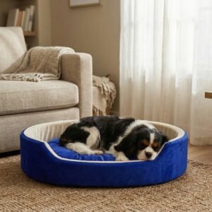 Skip to main contentSkip to toolbar About WordPress Furry Smile Live 22 updates available 00 Comments in moderation New View product Stats xstoreXStore XStore Builders Sales Booster Howdy, Ashish Kumar Edit Product Store Activity Activityunread activity Screen OptionsHelp Edit product Add new product The “ShopMagic for Twilio” plugin cannot run without ShopMagic for WooCommerce active. Please install and activate ShopMagic for WooCommerce plugin. Elementor Data Updater Database update process is running in the background. Taking a while? Product name Luxury Orthopedic Dog Bed Blue & Yellow | Soft Comfortable Pet Bed For Small, Medium And Large Dogs Skip to Editor Permalink: https://furrysmile.in/product/luxury-orthopedi…-bed-blue-yellow/ ‎Edit Edit with Elementor Product description Add Media Add Contact Form VisualCode Heading 3 h3 » span » img Word count: 823 Draft saved at 3:03:10 pm. Last edited on March 23, 2026 at 3:02 pm Move upMove downToggle panel: Publish Preview(opens in a new tab) Status: Draft EditEdit status Visibility: Public EditEdit visibility Publish on: Mar 23, 2026 at 15:02 EditEdit date and time Catalog visibility: Shop and search results Edit Copy to a new draft Move to Trash Move upMove downToggle panel: Product image Unify with Elementor AI dog bed, premium dog bed, orthopedic dog bed, soft dog bed, pet bed for dogs, comfortable dog bed, washable dog bed, dog bed with cushion, premium orthopedic dog bed for large dogs, soft and comfortable dog bed with cushion, durable dog bed with PU foam support, luxury pet bed for small and medium dogs, breathable dog bed for summer and winter, stylish modern dog bed for home, lightweight dog bed easy to carry, dog bed with bone shape pillow, buy dog bed online India, best dog bed for home use, affordable premium dog bed, high quality pet bed India, dog bed under budget, cozy dog bed, luxury pet comfort bed, soft plush dog bed, designer dog bed, pet sleeping bed, dog sofa bed, dog lounger bed, pet sofa bed, round dog bed, donut dog bed, calming dog bed, anti anxiety dog bed, raised edge dog bed, bolster dog bed, dog bed with side support, dog bed with high walls, puppy bed, small dog bed, medium dog bed, large dog bed, extra large dog bed, indoor dog bed, home pet bed, dog sleeping cushion, thick padded dog bed, fluffy dog bed, soft foam dog bed, PU foam dog bed, fiber filled dog bed, eco friendly dog bed, skin friendly dog bed, hypoallergenic dog bed, non toxic pet bed, durable pet bedding, long lasting dog bed, tear resistant dog bed, chew resistant dog bed, easy to clean dog bed, machine washable pet bed, removable cover dog bed, portable dog bed, travel dog bed, foldable dog bed, lightweight pet bed, luxury dog sofa, premium pet mattress, designer pet furniture, modern pet bed, aesthetic dog bed, comfortable pet mattress, pet relaxation bed, cozy pet nest, warm dog bed for winter, cool breathable dog bed for summer, all season dog bed, anti slip base dog bed, waterproof dog bed, indoor luxury pet bed, dog bed for crate, dog bed for living room, pet accessories dog bed, best selling dog bed, trending pet products, affordable pet bedding India, online pet supplies India Click the image to edit or update Remove product image Move upMove downToggle panel: Product gallery Unify with Elementor AI dog bed, premium dog bed, orthopedic dog bed, soft dog bed, pet bed for dogs, comfortable dog bed, washable dog bed, dog bed with cushion, premium orthopedic dog bed for large dogs, soft and comfortable dog bed with cushion, durable dog bed with PU foam support, luxury pet bed for small and medium dogs, breathable dog bed for summer and winter, stylish modern dog bed for home, lightweight dog bed easy to carry, dog bed with bone shape pillow, buy dog bed online India, best dog bed for home use, affordable premium dog bed, high quality pet bed India, dog bed under budget, cozy dog bed, luxury pet comfort bed, soft plush dog bed, designer dog bed, pet sleeping bed, dog sofa bed, dog lounger bed, pet sofa bed, round dog bed, donut dog bed, calming dog bed, anti anxiety dog bed, raised edge dog bed, bolster dog bed, dog bed with side support, dog bed with high walls, puppy bed, small dog bed, medium dog bed, large dog bed, extra large dog bed, indoor dog bed, home pet bed, dog sleeping cushion, thick padded dog bed, fluffy dog bed, soft foam dog bed, PU foam dog bed, fiber filled dog bed, eco friendly dog bed, skin friendly dog bed, hypoallergenic dog bed, non toxic pet bed, durable pet bedding, long lasting dog bed, tear resistant dog bed, chew resistant dog bed, easy to clean dog bed, machine washable pet bed, removable cover dog bed, portable dog bed, travel dog bed, foldable dog bed, lightweight pet bed, luxury dog sofa, premium pet mattress, designer pet furniture, modern pet bed, aesthetic dog bed, comfortable pet mattress, pet relaxation bed, cozy pet nest, warm dog bed for winter, cool breathable dog bed for summer, all season dog bed, anti slip base dog bed, waterproof dog bed, indoor luxury pet bed, dog bed for crate, dog bed for living room, pet accessories dog bed, best selling dog bed, trending pet products, affordable pet bedding India, online pet supplies Indiadog bed, premium dog bed, orthopedic dog bed, soft dog bed, pet bed for dogs, comfortable dog bed, washable dog bed, dog bed with cushion, premium orthopedic dog bed for large dogs, soft and comfortable dog bed with cushion, durable dog bed with PU foam support, luxury pet bed for small and medium dogs, breathable dog bed for summer and winter, stylish modern dog bed for home, lightweight dog bed easy to carry, dog bed with bone shape pillow, buy dog bed online India, best dog bed for home use, affordable premium dog bed, high quality pet bed India, dog bed under budget, cozy dog bed, luxury pet comfort bed, soft plush dog bed, designer dog bed, pet sleeping bed, dog sofa bed, dog lounger bed, pet sofa bed, round dog bed, donut dog bed, calming dog bed, anti anxiety dog bed, raised edge dog bed, bolster dog bed, dog bed with side support, dog bed with high walls, puppy bed, small dog bed, medium dog bed, large dog bed, extra large dog bed, indoor dog bed, home pet bed, dog sleeping cushion, thick padded dog bed, fluffy dog bed, soft foam dog bed, PU foam dog bed, fiber filled dog bed, eco friendly dog bed, skin friendly dog bed, hypoallergenic dog bed, non toxic pet bed, durable pet bedding, long lasting dog bed, tear resistant dog bed, chew resistant dog bed, easy to clean dog bed, machine washable pet bed, removable cover dog bed, portable dog bed, travel dog bed, foldable dog bed, lightweight pet bed, luxury dog sofa, premium pet mattress, designer pet furniture, modern pet bed, aesthetic dog bed, comfortable pet mattress, pet relaxation bed, cozy pet nest, warm dog bed for winter, cool breathable dog bed for summer, all season dog bed, anti slip base dog bed, waterproof dog bed, indoor luxury pet bed, dog bed for crate, dog bed for living room, pet accessories dog bed, best selling dog bed, trending pet products, affordable pet bedding India, online pet supplies Indiadog bed, premium dog bed, orthopedic dog bed, soft dog bed, pet bed for dogs, comfortable dog bed, washable dog bed, dog bed with cushion, premium orthopedic dog bed for large dogs, soft and comfortable dog bed with cushion, durable dog bed with PU foam support, luxury pet bed for small and medium dogs, breathable dog bed for summer and winter, stylish modern dog bed for home, lightweight dog bed easy to carry, dog bed with bone shape pillow, buy dog bed online India, best dog bed for home use, affordable premium dog bed, high quality pet bed India, dog bed under budget, cozy dog bed, luxury pet comfort bed, soft plush dog bed, designer dog bed, pet sleeping bed, dog sofa bed, dog lounger bed, pet sofa bed, round dog bed, donut dog bed, calming dog bed, anti anxiety dog bed, raised edge dog bed, bolster dog bed, dog bed with side support, dog bed with high walls, puppy bed, small dog bed, medium dog bed, large dog bed, extra large dog bed, indoor dog bed, home pet bed, dog sleeping cushion, thick padded dog bed, fluffy dog bed, soft foam dog bed, PU foam dog bed, fiber filled dog bed, eco friendly dog bed, skin friendly dog bed, hypoallergenic dog bed, non toxic pet bed, durable pet bedding, long lasting dog bed, tear resistant dog bed, chew resistant dog bed, easy to clean dog bed, machine washable pet bed, removable cover dog bed, portable dog bed, travel dog bed, foldable dog bed, lightweight pet bed, luxury dog sofa, premium pet mattress, designer pet furniture, modern pet bed, aesthetic dog bed, comfortable pet mattress, pet relaxation bed, cozy pet nest, warm dog bed for winter, cool breathable dog bed for summer, all season dog bed, anti slip base dog bed, waterproof dog bed, indoor luxury pet bed, dog bed for crate, dog bed for living room, pet accessories dog bed, best selling dog bed, trending pet products, affordable pet bedding India, online pet supplies India Add product gallery images Move upMove downToggle panel: Product categories All categories Most Used Uncategorized Luxury Dog Bed Dog Bed With Collar Dog Bed With Collar & Pillow Dog Bed With Pillow Simple Dog Bed + Add new category Move upMove downToggle panel: Product tags Add new tag Separate tags with commas Remove term: anti anxiety dog bed anti anxiety dog bedRemove term: bolster dog bed bolster dog bedRemove term: breathable dog bed breathable dog bedRemove term: calming dog bed calming dog bedRemove term: comfortable dog bed comfortable dog bedRemove term: cozy dog bed cozy dog bedRemove term: dog accessories dog accessoriesRemove term: Dog Bed Dog BedRemove term: dog bed with cushion dog bed with cushionRemove term: dog bed with pillow dog bed with pillowRemove term: dog lounger bed dog lounger bedRemove term: dog mattress dog mattressRemove term: dog sofa bed dog sofa bedRemove term: donut dog bed donut dog bedRemove term: durable dog bed durable dog bedRemove term: indoor dog bed indoor dog bedRemove term: large dog bed large dog bedRemove term: lightweight dog bed lightweight dog bedRemove term: luxury dog bed luxury dog bedRemove term: medium dog bed medium dog bedRemove term: modern dog bed modern dog bedRemove term: Orthopedic dog bed Orthopedic dog bedRemove term: Pet Bed Pet BedRemove term: pet bedding pet beddingRemove term: pet sleeping bed pet sleeping bedRemove term: premium dog bed premium dog bedRemove term: Puppy bed Puppy bedRemove term: small dog bed small dog bedRemove term: Soft dog bed Soft dog bedRemove term: washable dog bed washable dog bed Choose from the most used tags Move upMove downToggle panel: XStore Brands All Brands Most Used + Add New Brand Move upMove downToggle panel: Brands All Brands Most Used Furry Smile + Add New Brand Move upMove downToggle panel: Post Attributes Template Default template Move upMove downToggle panel: LiteSpeed Disable Cache Disable Image Lazyload Disable VPI Viewport Images Viewport Images - Mobile Learn More Move upMove downToggle panel: Product Video Upload your Video in 3 formats: MP4, OGG and WEBM Add product gallery video Autoplay product gallery video on single product page. Video will be muted. Or you can use YouTube or Vimeo iframe code Expand More video settings: You may change the positions of your video in product gallery on single product page. You may use video instead of featured image for product archive pages. Variable product Move upMove downToggle panel: Product data General Inventory Shipping Linked Products Attributes Variations Swatches Settings Advanced Pinterest Quantity type XStore Tax status Taxable Tax class Standard Move upMove downToggle panel: Product short description Add Media Add Contact FormVisualCode Paragraph Move upMove downToggle panel: XStore Options General Single layout Archive page XStore AI Assistant Primary category --Auto-- Sale countdown Disable NotificationsPermalink saved Close dialog Replace image Upload filesMedia Library Filter mediaFilter by type Images Filter by date All dates Search media Media list Showing 89 of 1606 media items Load more Attachment Details 4-72.jpeg March 23, 2026 499 KB 1500 by 837 pixels Edit with Elementor AI Edit Image Delete permanently Alt Text dog bed, premium dog bed, orthopedic dog bed, soft dog bed, pet bed for dogs, comfortable dog bed, washable dog bed, dog bed with cushion, premium orthopedic dog bed for large dogs, soft and comfortable dog bed with cushion, durable dog bed with PU foam support, luxury pet bed for small and medium dogs, breathable dog bed for summer and winter, stylish modern dog bed for home, lightweight dog bed easy to carry, dog bed with bone shape pillow, buy dog bed online India, best dog bed for home use, affordable premium dog bed, high quality pet bed India, dog bed under budget, cozy dog bed, luxury pet comfort bed, soft plush dog bed, designer dog bed, pet sleeping bed, dog sofa bed, dog lounger bed, pet sofa bed, round dog bed, donut dog bed, calming dog bed, anti anxiety dog bed, raised edge dog bed, bolster dog bed, dog bed with side support, dog bed with high walls, puppy bed, small dog bed, medium dog bed, large dog bed, extra large dog bed, indoor dog bed, home pet bed, dog sleeping cushion, thick padded dog bed, fluffy dog bed, soft foam dog bed, PU foam dog bed, fiber filled dog bed, eco friendly dog bed, skin friendly dog bed, hypoallergenic dog bed, non toxic pet bed, durable pet bedding, long lasting dog bed, tear resistant dog bed, chew resistant dog bed, easy to clean dog bed, machine washable pet bed, removable cover dog bed, portable dog bed, travel dog bed, foldable dog bed, lightweight pet bed, luxury dog sofa, premium pet mattress, designer pet furniture, modern pet bed, aesthetic dog bed, comfortable pet mattress, pet relaxation bed, cozy pet nest, warm dog bed for winter, cool breathable dog bed for summer, all season dog bed, anti slip base dog bed, waterproof dog bed, indoor luxury pet bed, dog bed for crate, dog bed for living room, pet accessories dog bed, best selling dog bed, trending pet products, affordable pet bedding India, online pet supplies India Learn how to describe the purpose of the image(opens in a new tab). Leave empty if the image is purely decorative.Title 4 Caption Description dog bed, premium dog bed, orthopedic dog bed, soft dog bed, pet bed for dogs, comfortable dog bed, washable dog bed, dog bed with cushion, premium orthopedic dog bed for large dogs, soft and comfortable dog bed with cushion, durable dog bed with PU foam support, luxury pet bed for small and medium dogs, breathable dog bed for summer and winter, stylish modern dog bed for home, lightweight dog bed easy to carry, dog bed with bone shape pillow, buy dog bed online India, best dog bed for home use, affordable premium dog bed, high quality pet bed India, dog bed under budget, cozy dog bed, luxury pet comfort bed, soft plush dog bed, designer dog bed, pet sleeping bed, dog sofa bed, dog lounger bed, pet sofa bed, round dog bed, donut dog bed, calming dog bed, anti anxiety dog bed, raised edge dog bed, bolster dog bed, dog bed with side support, dog bed with high walls, puppy bed, small dog bed, medium dog bed, large dog bed, extra large dog bed, indoor dog bed, home pet bed, dog sleeping cushion, thick padded dog bed, fluffy dog bed, soft foam dog bed, PU foam dog bed, fiber filled dog bed, eco friendly dog bed, skin friendly dog bed, hypoallergenic dog bed, non toxic pet bed, durable pet bedding, long lasting dog bed, tear resistant dog bed, chew resistant dog bed, easy to clean dog bed, machine washable pet bed, removable cover dog bed, portable dog bed, travel dog bed, foldable dog bed, lightweight pet bed, luxury dog sofa, premium pet mattress, designer pet furniture, modern pet bed, aesthetic dog bed, comfortable pet mattress, pet relaxation bed, cozy pet nest, warm dog bed for winter, cool breathable dog bed for summer, all season dog bed, anti slip base dog bed, waterproof dog bed, indoor luxury pet bed, dog bed for crate, dog bed for living room, pet accessories dog bed, best selling dog bed, trending pet products, affordable pet bedding India, online pet supplies India File URL: https://furrysmile.in/wp-content/uploads/2026/03/4-72.jpeg Copy URL to clipboard Attachment Display Settings Alignment None Link To None Size Medium – 300 × 167 Selected media actionsReplaceBack No file chosen