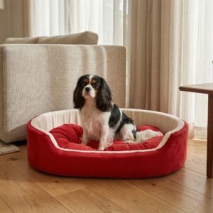 Skip to main contentSkip to toolbar About WordPress Furry Smile Live 22 updates available 00 Comments in moderation New View product Stats xstoreXStore XStore Builders Sales Booster Howdy, Ashish Kumar Edit Product Store Activity Activityunread activity Screen OptionsHelp Edit product Add new product The “ShopMagic for Twilio” plugin cannot run without ShopMagic for WooCommerce active. Please install and activate ShopMagic for WooCommerce plugin. Elementor Data Updater Database update process is running in the background. Taking a while? Product name Luxury Orthopedic Dog Bed Blue & Yellow | Soft Comfortable Pet Bed For Small, Medium And Large Dogs Skip to Editor Permalink: https://furrysmile.in/product/luxury-orthopedi…-bed-blue-yellow/ ‎Edit Edit with Elementor Product description Add Media Add Contact Form VisualCode Heading 3 h3 » span » img Word count: 823 Draft saved at 3:03:10 pm. Last edited on March 23, 2026 at 3:02 pm Move upMove downToggle panel: Publish Preview(opens in a new tab) Status: Draft EditEdit status Visibility: Public EditEdit visibility Publish on: Mar 23, 2026 at 15:02 EditEdit date and time Catalog visibility: Shop and search results Edit Copy to a new draft Move to Trash Move upMove downToggle panel: Product image Unify with Elementor AI dog bed, premium dog bed, orthopedic dog bed, soft dog bed, pet bed for dogs, comfortable dog bed, washable dog bed, dog bed with cushion, premium orthopedic dog bed for large dogs, soft and comfortable dog bed with cushion, durable dog bed with PU foam support, luxury pet bed for small and medium dogs, breathable dog bed for summer and winter, stylish modern dog bed for home, lightweight dog bed easy to carry, dog bed with bone shape pillow, buy dog bed online India, best dog bed for home use, affordable premium dog bed, high quality pet bed India, dog bed under budget, cozy dog bed, luxury pet comfort bed, soft plush dog bed, designer dog bed, pet sleeping bed, dog sofa bed, dog lounger bed, pet sofa bed, round dog bed, donut dog bed, calming dog bed, anti anxiety dog bed, raised edge dog bed, bolster dog bed, dog bed with side support, dog bed with high walls, puppy bed, small dog bed, medium dog bed, large dog bed, extra large dog bed, indoor dog bed, home pet bed, dog sleeping cushion, thick padded dog bed, fluffy dog bed, soft foam dog bed, PU foam dog bed, fiber filled dog bed, eco friendly dog bed, skin friendly dog bed, hypoallergenic dog bed, non toxic pet bed, durable pet bedding, long lasting dog bed, tear resistant dog bed, chew resistant dog bed, easy to clean dog bed, machine washable pet bed, removable cover dog bed, portable dog bed, travel dog bed, foldable dog bed, lightweight pet bed, luxury dog sofa, premium pet mattress, designer pet furniture, modern pet bed, aesthetic dog bed, comfortable pet mattress, pet relaxation bed, cozy pet nest, warm dog bed for winter, cool breathable dog bed for summer, all season dog bed, anti slip base dog bed, waterproof dog bed, indoor luxury pet bed, dog bed for crate, dog bed for living room, pet accessories dog bed, best selling dog bed, trending pet products, affordable pet bedding India, online pet supplies India Click the image to edit or update Remove product image Move upMove downToggle panel: Product gallery Unify with Elementor AI dog bed, premium dog bed, orthopedic dog bed, soft dog bed, pet bed for dogs, comfortable dog bed, washable dog bed, dog bed with cushion, premium orthopedic dog bed for large dogs, soft and comfortable dog bed with cushion, durable dog bed with PU foam support, luxury pet bed for small and medium dogs, breathable dog bed for summer and winter, stylish modern dog bed for home, lightweight dog bed easy to carry, dog bed with bone shape pillow, buy dog bed online India, best dog bed for home use, affordable premium dog bed, high quality pet bed India, dog bed under budget, cozy dog bed, luxury pet comfort bed, soft plush dog bed, designer dog bed, pet sleeping bed, dog sofa bed, dog lounger bed, pet sofa bed, round dog bed, donut dog bed, calming dog bed, anti anxiety dog bed, raised edge dog bed, bolster dog bed, dog bed with side support, dog bed with high walls, puppy bed, small dog bed, medium dog bed, large dog bed, extra large dog bed, indoor dog bed, home pet bed, dog sleeping cushion, thick padded dog bed, fluffy dog bed, soft foam dog bed, PU foam dog bed, fiber filled dog bed, eco friendly dog bed, skin friendly dog bed, hypoallergenic dog bed, non toxic pet bed, durable pet bedding, long lasting dog bed, tear resistant dog bed, chew resistant dog bed, easy to clean dog bed, machine washable pet bed, removable cover dog bed, portable dog bed, travel dog bed, foldable dog bed, lightweight pet bed, luxury dog sofa, premium pet mattress, designer pet furniture, modern pet bed, aesthetic dog bed, comfortable pet mattress, pet relaxation bed, cozy pet nest, warm dog bed for winter, cool breathable dog bed for summer, all season dog bed, anti slip base dog bed, waterproof dog bed, indoor luxury pet bed, dog bed for crate, dog bed for living room, pet accessories dog bed, best selling dog bed, trending pet products, affordable pet bedding India, online pet supplies Indiadog bed, premium dog bed, orthopedic dog bed, soft dog bed, pet bed for dogs, comfortable dog bed, washable dog bed, dog bed with cushion, premium orthopedic dog bed for large dogs, soft and comfortable dog bed with cushion, durable dog bed with PU foam support, luxury pet bed for small and medium dogs, breathable dog bed for summer and winter, stylish modern dog bed for home, lightweight dog bed easy to carry, dog bed with bone shape pillow, buy dog bed online India, best dog bed for home use, affordable premium dog bed, high quality pet bed India, dog bed under budget, cozy dog bed, luxury pet comfort bed, soft plush dog bed, designer dog bed, pet sleeping bed, dog sofa bed, dog lounger bed, pet sofa bed, round dog bed, donut dog bed, calming dog bed, anti anxiety dog bed, raised edge dog bed, bolster dog bed, dog bed with side support, dog bed with high walls, puppy bed, small dog bed, medium dog bed, large dog bed, extra large dog bed, indoor dog bed, home pet bed, dog sleeping cushion, thick padded dog bed, fluffy dog bed, soft foam dog bed, PU foam dog bed, fiber filled dog bed, eco friendly dog bed, skin friendly dog bed, hypoallergenic dog bed, non toxic pet bed, durable pet bedding, long lasting dog bed, tear resistant dog bed, chew resistant dog bed, easy to clean dog bed, machine washable pet bed, removable cover dog bed, portable dog bed, travel dog bed, foldable dog bed, lightweight pet bed, luxury dog sofa, premium pet mattress, designer pet furniture, modern pet bed, aesthetic dog bed, comfortable pet mattress, pet relaxation bed, cozy pet nest, warm dog bed for winter, cool breathable dog bed for summer, all season dog bed, anti slip base dog bed, waterproof dog bed, indoor luxury pet bed, dog bed for crate, dog bed for living room, pet accessories dog bed, best selling dog bed, trending pet products, affordable pet bedding India, online pet supplies Indiadog bed, premium dog bed, orthopedic dog bed, soft dog bed, pet bed for dogs, comfortable dog bed, washable dog bed, dog bed with cushion, premium orthopedic dog bed for large dogs, soft and comfortable dog bed with cushion, durable dog bed with PU foam support, luxury pet bed for small and medium dogs, breathable dog bed for summer and winter, stylish modern dog bed for home, lightweight dog bed easy to carry, dog bed with bone shape pillow, buy dog bed online India, best dog bed for home use, affordable premium dog bed, high quality pet bed India, dog bed under budget, cozy dog bed, luxury pet comfort bed, soft plush dog bed, designer dog bed, pet sleeping bed, dog sofa bed, dog lounger bed, pet sofa bed, round dog bed, donut dog bed, calming dog bed, anti anxiety dog bed, raised edge dog bed, bolster dog bed, dog bed with side support, dog bed with high walls, puppy bed, small dog bed, medium dog bed, large dog bed, extra large dog bed, indoor dog bed, home pet bed, dog sleeping cushion, thick padded dog bed, fluffy dog bed, soft foam dog bed, PU foam dog bed, fiber filled dog bed, eco friendly dog bed, skin friendly dog bed, hypoallergenic dog bed, non toxic pet bed, durable pet bedding, long lasting dog bed, tear resistant dog bed, chew resistant dog bed, easy to clean dog bed, machine washable pet bed, removable cover dog bed, portable dog bed, travel dog bed, foldable dog bed, lightweight pet bed, luxury dog sofa, premium pet mattress, designer pet furniture, modern pet bed, aesthetic dog bed, comfortable pet mattress, pet relaxation bed, cozy pet nest, warm dog bed for winter, cool breathable dog bed for summer, all season dog bed, anti slip base dog bed, waterproof dog bed, indoor luxury pet bed, dog bed for crate, dog bed for living room, pet accessories dog bed, best selling dog bed, trending pet products, affordable pet bedding India, online pet supplies India Add product gallery images Move upMove downToggle panel: Product categories All categories Most Used Uncategorized Luxury Dog Bed Dog Bed With Collar Dog Bed With Collar & Pillow Dog Bed With Pillow Simple Dog Bed + Add new category Move upMove downToggle panel: Product tags Add new tag Separate tags with commas Remove term: anti anxiety dog bed anti anxiety dog bedRemove term: bolster dog bed bolster dog bedRemove term: breathable dog bed breathable dog bedRemove term: calming dog bed calming dog bedRemove term: comfortable dog bed comfortable dog bedRemove term: cozy dog bed cozy dog bedRemove term: dog accessories dog accessoriesRemove term: Dog Bed Dog BedRemove term: dog bed with cushion dog bed with cushionRemove term: dog bed with pillow dog bed with pillowRemove term: dog lounger bed dog lounger bedRemove term: dog mattress dog mattressRemove term: dog sofa bed dog sofa bedRemove term: donut dog bed donut dog bedRemove term: durable dog bed durable dog bedRemove term: indoor dog bed indoor dog bedRemove term: large dog bed large dog bedRemove term: lightweight dog bed lightweight dog bedRemove term: luxury dog bed luxury dog bedRemove term: medium dog bed medium dog bedRemove term: modern dog bed modern dog bedRemove term: Orthopedic dog bed Orthopedic dog bedRemove term: Pet Bed Pet BedRemove term: pet bedding pet beddingRemove term: pet sleeping bed pet sleeping bedRemove term: premium dog bed premium dog bedRemove term: Puppy bed Puppy bedRemove term: small dog bed small dog bedRemove term: Soft dog bed Soft dog bedRemove term: washable dog bed washable dog bed Choose from the most used tags Move upMove downToggle panel: XStore Brands All Brands Most Used + Add New Brand Move upMove downToggle panel: Brands All Brands Most Used Furry Smile + Add New Brand Move upMove downToggle panel: Post Attributes Template Default template Move upMove downToggle panel: LiteSpeed Disable Cache Disable Image Lazyload Disable VPI Viewport Images Viewport Images - Mobile Learn More Move upMove downToggle panel: Product Video Upload your Video in 3 formats: MP4, OGG and WEBM Add product gallery video Autoplay product gallery video on single product page. Video will be muted. Or you can use YouTube or Vimeo iframe code Expand More video settings: You may change the positions of your video in product gallery on single product page. You may use video instead of featured image for product archive pages. Variable product Move upMove downToggle panel: Product data General Inventory Shipping Linked Products Attributes Variations Swatches Settings Advanced Pinterest Quantity type XStore Tax status Taxable Tax class Standard Move upMove downToggle panel: Product short description Add Media Add Contact FormVisualCode Paragraph Move upMove downToggle panel: XStore Options General Single layout Archive page XStore AI Assistant Primary category --Auto-- Sale countdown Disable NotificationsPermalink saved Close dialog Replace image Upload filesMedia Library Filter mediaFilter by type Images Filter by date All dates Search media Media list Showing 89 of 1606 media items Load more Attachment Details 4-72.jpeg March 23, 2026 499 KB 1500 by 837 pixels Edit with Elementor AI Edit Image Delete permanently Alt Text dog bed, premium dog bed, orthopedic dog bed, soft dog bed, pet bed for dogs, comfortable dog bed, washable dog bed, dog bed with cushion, premium orthopedic dog bed for large dogs, soft and comfortable dog bed with cushion, durable dog bed with PU foam support, luxury pet bed for small and medium dogs, breathable dog bed for summer and winter, stylish modern dog bed for home, lightweight dog bed easy to carry, dog bed with bone shape pillow, buy dog bed online India, best dog bed for home use, affordable premium dog bed, high quality pet bed India, dog bed under budget, cozy dog bed, luxury pet comfort bed, soft plush dog bed, designer dog bed, pet sleeping bed, dog sofa bed, dog lounger bed, pet sofa bed, round dog bed, donut dog bed, calming dog bed, anti anxiety dog bed, raised edge dog bed, bolster dog bed, dog bed with side support, dog bed with high walls, puppy bed, small dog bed, medium dog bed, large dog bed, extra large dog bed, indoor dog bed, home pet bed, dog sleeping cushion, thick padded dog bed, fluffy dog bed, soft foam dog bed, PU foam dog bed, fiber filled dog bed, eco friendly dog bed, skin friendly dog bed, hypoallergenic dog bed, non toxic pet bed, durable pet bedding, long lasting dog bed, tear resistant dog bed, chew resistant dog bed, easy to clean dog bed, machine washable pet bed, removable cover dog bed, portable dog bed, travel dog bed, foldable dog bed, lightweight pet bed, luxury dog sofa, premium pet mattress, designer pet furniture, modern pet bed, aesthetic dog bed, comfortable pet mattress, pet relaxation bed, cozy pet nest, warm dog bed for winter, cool breathable dog bed for summer, all season dog bed, anti slip base dog bed, waterproof dog bed, indoor luxury pet bed, dog bed for crate, dog bed for living room, pet accessories dog bed, best selling dog bed, trending pet products, affordable pet bedding India, online pet supplies India Learn how to describe the purpose of the image(opens in a new tab). Leave empty if the image is purely decorative.Title 4 Caption Description dog bed, premium dog bed, orthopedic dog bed, soft dog bed, pet bed for dogs, comfortable dog bed, washable dog bed, dog bed with cushion, premium orthopedic dog bed for large dogs, soft and comfortable dog bed with cushion, durable dog bed with PU foam support, luxury pet bed for small and medium dogs, breathable dog bed for summer and winter, stylish modern dog bed for home, lightweight dog bed easy to carry, dog bed with bone shape pillow, buy dog bed online India, best dog bed for home use, affordable premium dog bed, high quality pet bed India, dog bed under budget, cozy dog bed, luxury pet comfort bed, soft plush dog bed, designer dog bed, pet sleeping bed, dog sofa bed, dog lounger bed, pet sofa bed, round dog bed, donut dog bed, calming dog bed, anti anxiety dog bed, raised edge dog bed, bolster dog bed, dog bed with side support, dog bed with high walls, puppy bed, small dog bed, medium dog bed, large dog bed, extra large dog bed, indoor dog bed, home pet bed, dog sleeping cushion, thick padded dog bed, fluffy dog bed, soft foam dog bed, PU foam dog bed, fiber filled dog bed, eco friendly dog bed, skin friendly dog bed, hypoallergenic dog bed, non toxic pet bed, durable pet bedding, long lasting dog bed, tear resistant dog bed, chew resistant dog bed, easy to clean dog bed, machine washable pet bed, removable cover dog bed, portable dog bed, travel dog bed, foldable dog bed, lightweight pet bed, luxury dog sofa, premium pet mattress, designer pet furniture, modern pet bed, aesthetic dog bed, comfortable pet mattress, pet relaxation bed, cozy pet nest, warm dog bed for winter, cool breathable dog bed for summer, all season dog bed, anti slip base dog bed, waterproof dog bed, indoor luxury pet bed, dog bed for crate, dog bed for living room, pet accessories dog bed, best selling dog bed, trending pet products, affordable pet bedding India, online pet supplies India File URL: https://furrysmile.in/wp-content/uploads/2026/03/4-72.jpeg Copy URL to clipboard Attachment Display Settings Alignment None Link To None Size Medium – 300 × 167 Selected media actionsReplaceBack No file chosen