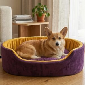 Skip to main contentSkip to toolbar About WordPress Furry Smile Live 22 updates available 00 Comments in moderation New View product Stats xstoreXStore XStore Builders Sales Booster Howdy, Ashish Kumar Edit Product Store Activity Activityunread activity Screen OptionsHelp Edit product Add new product The “ShopMagic for Twilio” plugin cannot run without ShopMagic for WooCommerce active. Please install and activate ShopMagic for WooCommerce plugin. Elementor Data Updater Database update process is running in the background. Taking a while? Product name Luxury Orthopedic Dog Bed Blue & Yellow | Soft Comfortable Pet Bed For Small, Medium And Large Dogs Skip to Editor Permalink: https://furrysmile.in/product/luxury-orthopedi…-bed-blue-yellow/ ‎Edit Edit with Elementor Product description Add Media Add Contact Form VisualCode Heading 3 h3 » span » img Word count: 823 Draft saved at 3:03:10 pm. Last edited on March 23, 2026 at 3:02 pm Move upMove downToggle panel: Publish Preview(opens in a new tab) Status: Draft EditEdit status Visibility: Public EditEdit visibility Publish on: Mar 23, 2026 at 15:02 EditEdit date and time Catalog visibility: Shop and search results Edit Copy to a new draft Move to Trash Move upMove downToggle panel: Product image Unify with Elementor AI dog bed, premium dog bed, orthopedic dog bed, soft dog bed, pet bed for dogs, comfortable dog bed, washable dog bed, dog bed with cushion, premium orthopedic dog bed for large dogs, soft and comfortable dog bed with cushion, durable dog bed with PU foam support, luxury pet bed for small and medium dogs, breathable dog bed for summer and winter, stylish modern dog bed for home, lightweight dog bed easy to carry, dog bed with bone shape pillow, buy dog bed online India, best dog bed for home use, affordable premium dog bed, high quality pet bed India, dog bed under budget, cozy dog bed, luxury pet comfort bed, soft plush dog bed, designer dog bed, pet sleeping bed, dog sofa bed, dog lounger bed, pet sofa bed, round dog bed, donut dog bed, calming dog bed, anti anxiety dog bed, raised edge dog bed, bolster dog bed, dog bed with side support, dog bed with high walls, puppy bed, small dog bed, medium dog bed, large dog bed, extra large dog bed, indoor dog bed, home pet bed, dog sleeping cushion, thick padded dog bed, fluffy dog bed, soft foam dog bed, PU foam dog bed, fiber filled dog bed, eco friendly dog bed, skin friendly dog bed, hypoallergenic dog bed, non toxic pet bed, durable pet bedding, long lasting dog bed, tear resistant dog bed, chew resistant dog bed, easy to clean dog bed, machine washable pet bed, removable cover dog bed, portable dog bed, travel dog bed, foldable dog bed, lightweight pet bed, luxury dog sofa, premium pet mattress, designer pet furniture, modern pet bed, aesthetic dog bed, comfortable pet mattress, pet relaxation bed, cozy pet nest, warm dog bed for winter, cool breathable dog bed for summer, all season dog bed, anti slip base dog bed, waterproof dog bed, indoor luxury pet bed, dog bed for crate, dog bed for living room, pet accessories dog bed, best selling dog bed, trending pet products, affordable pet bedding India, online pet supplies India Click the image to edit or update Remove product image Move upMove downToggle panel: Product gallery Unify with Elementor AI dog bed, premium dog bed, orthopedic dog bed, soft dog bed, pet bed for dogs, comfortable dog bed, washable dog bed, dog bed with cushion, premium orthopedic dog bed for large dogs, soft and comfortable dog bed with cushion, durable dog bed with PU foam support, luxury pet bed for small and medium dogs, breathable dog bed for summer and winter, stylish modern dog bed for home, lightweight dog bed easy to carry, dog bed with bone shape pillow, buy dog bed online India, best dog bed for home use, affordable premium dog bed, high quality pet bed India, dog bed under budget, cozy dog bed, luxury pet comfort bed, soft plush dog bed, designer dog bed, pet sleeping bed, dog sofa bed, dog lounger bed, pet sofa bed, round dog bed, donut dog bed, calming dog bed, anti anxiety dog bed, raised edge dog bed, bolster dog bed, dog bed with side support, dog bed with high walls, puppy bed, small dog bed, medium dog bed, large dog bed, extra large dog bed, indoor dog bed, home pet bed, dog sleeping cushion, thick padded dog bed, fluffy dog bed, soft foam dog bed, PU foam dog bed, fiber filled dog bed, eco friendly dog bed, skin friendly dog bed, hypoallergenic dog bed, non toxic pet bed, durable pet bedding, long lasting dog bed, tear resistant dog bed, chew resistant dog bed, easy to clean dog bed, machine washable pet bed, removable cover dog bed, portable dog bed, travel dog bed, foldable dog bed, lightweight pet bed, luxury dog sofa, premium pet mattress, designer pet furniture, modern pet bed, aesthetic dog bed, comfortable pet mattress, pet relaxation bed, cozy pet nest, warm dog bed for winter, cool breathable dog bed for summer, all season dog bed, anti slip base dog bed, waterproof dog bed, indoor luxury pet bed, dog bed for crate, dog bed for living room, pet accessories dog bed, best selling dog bed, trending pet products, affordable pet bedding India, online pet supplies Indiadog bed, premium dog bed, orthopedic dog bed, soft dog bed, pet bed for dogs, comfortable dog bed, washable dog bed, dog bed with cushion, premium orthopedic dog bed for large dogs, soft and comfortable dog bed with cushion, durable dog bed with PU foam support, luxury pet bed for small and medium dogs, breathable dog bed for summer and winter, stylish modern dog bed for home, lightweight dog bed easy to carry, dog bed with bone shape pillow, buy dog bed online India, best dog bed for home use, affordable premium dog bed, high quality pet bed India, dog bed under budget, cozy dog bed, luxury pet comfort bed, soft plush dog bed, designer dog bed, pet sleeping bed, dog sofa bed, dog lounger bed, pet sofa bed, round dog bed, donut dog bed, calming dog bed, anti anxiety dog bed, raised edge dog bed, bolster dog bed, dog bed with side support, dog bed with high walls, puppy bed, small dog bed, medium dog bed, large dog bed, extra large dog bed, indoor dog bed, home pet bed, dog sleeping cushion, thick padded dog bed, fluffy dog bed, soft foam dog bed, PU foam dog bed, fiber filled dog bed, eco friendly dog bed, skin friendly dog bed, hypoallergenic dog bed, non toxic pet bed, durable pet bedding, long lasting dog bed, tear resistant dog bed, chew resistant dog bed, easy to clean dog bed, machine washable pet bed, removable cover dog bed, portable dog bed, travel dog bed, foldable dog bed, lightweight pet bed, luxury dog sofa, premium pet mattress, designer pet furniture, modern pet bed, aesthetic dog bed, comfortable pet mattress, pet relaxation bed, cozy pet nest, warm dog bed for winter, cool breathable dog bed for summer, all season dog bed, anti slip base dog bed, waterproof dog bed, indoor luxury pet bed, dog bed for crate, dog bed for living room, pet accessories dog bed, best selling dog bed, trending pet products, affordable pet bedding India, online pet supplies Indiadog bed, premium dog bed, orthopedic dog bed, soft dog bed, pet bed for dogs, comfortable dog bed, washable dog bed, dog bed with cushion, premium orthopedic dog bed for large dogs, soft and comfortable dog bed with cushion, durable dog bed with PU foam support, luxury pet bed for small and medium dogs, breathable dog bed for summer and winter, stylish modern dog bed for home, lightweight dog bed easy to carry, dog bed with bone shape pillow, buy dog bed online India, best dog bed for home use, affordable premium dog bed, high quality pet bed India, dog bed under budget, cozy dog bed, luxury pet comfort bed, soft plush dog bed, designer dog bed, pet sleeping bed, dog sofa bed, dog lounger bed, pet sofa bed, round dog bed, donut dog bed, calming dog bed, anti anxiety dog bed, raised edge dog bed, bolster dog bed, dog bed with side support, dog bed with high walls, puppy bed, small dog bed, medium dog bed, large dog bed, extra large dog bed, indoor dog bed, home pet bed, dog sleeping cushion, thick padded dog bed, fluffy dog bed, soft foam dog bed, PU foam dog bed, fiber filled dog bed, eco friendly dog bed, skin friendly dog bed, hypoallergenic dog bed, non toxic pet bed, durable pet bedding, long lasting dog bed, tear resistant dog bed, chew resistant dog bed, easy to clean dog bed, machine washable pet bed, removable cover dog bed, portable dog bed, travel dog bed, foldable dog bed, lightweight pet bed, luxury dog sofa, premium pet mattress, designer pet furniture, modern pet bed, aesthetic dog bed, comfortable pet mattress, pet relaxation bed, cozy pet nest, warm dog bed for winter, cool breathable dog bed for summer, all season dog bed, anti slip base dog bed, waterproof dog bed, indoor luxury pet bed, dog bed for crate, dog bed for living room, pet accessories dog bed, best selling dog bed, trending pet products, affordable pet bedding India, online pet supplies India Add product gallery images Move upMove downToggle panel: Product categories All categories Most Used Uncategorized Luxury Dog Bed Dog Bed With Collar Dog Bed With Collar & Pillow Dog Bed With Pillow Simple Dog Bed + Add new category Move upMove downToggle panel: Product tags Add new tag Separate tags with commas Remove term: anti anxiety dog bed anti anxiety dog bedRemove term: bolster dog bed bolster dog bedRemove term: breathable dog bed breathable dog bedRemove term: calming dog bed calming dog bedRemove term: comfortable dog bed comfortable dog bedRemove term: cozy dog bed cozy dog bedRemove term: dog accessories dog accessoriesRemove term: Dog Bed Dog BedRemove term: dog bed with cushion dog bed with cushionRemove term: dog bed with pillow dog bed with pillowRemove term: dog lounger bed dog lounger bedRemove term: dog mattress dog mattressRemove term: dog sofa bed dog sofa bedRemove term: donut dog bed donut dog bedRemove term: durable dog bed durable dog bedRemove term: indoor dog bed indoor dog bedRemove term: large dog bed large dog bedRemove term: lightweight dog bed lightweight dog bedRemove term: luxury dog bed luxury dog bedRemove term: medium dog bed medium dog bedRemove term: modern dog bed modern dog bedRemove term: Orthopedic dog bed Orthopedic dog bedRemove term: Pet Bed Pet BedRemove term: pet bedding pet beddingRemove term: pet sleeping bed pet sleeping bedRemove term: premium dog bed premium dog bedRemove term: Puppy bed Puppy bedRemove term: small dog bed small dog bedRemove term: Soft dog bed Soft dog bedRemove term: washable dog bed washable dog bed Choose from the most used tags Move upMove downToggle panel: XStore Brands All Brands Most Used + Add New Brand Move upMove downToggle panel: Brands All Brands Most Used Furry Smile + Add New Brand Move upMove downToggle panel: Post Attributes Template Default template Move upMove downToggle panel: LiteSpeed Disable Cache Disable Image Lazyload Disable VPI Viewport Images Viewport Images - Mobile Learn More Move upMove downToggle panel: Product Video Upload your Video in 3 formats: MP4, OGG and WEBM Add product gallery video Autoplay product gallery video on single product page. Video will be muted. Or you can use YouTube or Vimeo iframe code Expand More video settings: You may change the positions of your video in product gallery on single product page. You may use video instead of featured image for product archive pages. Variable product Move upMove downToggle panel: Product data General Inventory Shipping Linked Products Attributes Variations Swatches Settings Advanced Pinterest Quantity type XStore Tax status Taxable Tax class Standard Move upMove downToggle panel: Product short description Add Media Add Contact FormVisualCode Paragraph Move upMove downToggle panel: XStore Options General Single layout Archive page XStore AI Assistant Primary category --Auto-- Sale countdown Disable NotificationsPermalink saved Close dialog Replace image Upload filesMedia Library Filter mediaFilter by type Images Filter by date All dates Search media Media list Showing 89 of 1606 media items Load more Attachment Details 4-72.jpeg March 23, 2026 499 KB 1500 by 837 pixels Edit with Elementor AI Edit Image Delete permanently Alt Text dog bed, premium dog bed, orthopedic dog bed, soft dog bed, pet bed for dogs, comfortable dog bed, washable dog bed, dog bed with cushion, premium orthopedic dog bed for large dogs, soft and comfortable dog bed with cushion, durable dog bed with PU foam support, luxury pet bed for small and medium dogs, breathable dog bed for summer and winter, stylish modern dog bed for home, lightweight dog bed easy to carry, dog bed with bone shape pillow, buy dog bed online India, best dog bed for home use, affordable premium dog bed, high quality pet bed India, dog bed under budget, cozy dog bed, luxury pet comfort bed, soft plush dog bed, designer dog bed, pet sleeping bed, dog sofa bed, dog lounger bed, pet sofa bed, round dog bed, donut dog bed, calming dog bed, anti anxiety dog bed, raised edge dog bed, bolster dog bed, dog bed with side support, dog bed with high walls, puppy bed, small dog bed, medium dog bed, large dog bed, extra large dog bed, indoor dog bed, home pet bed, dog sleeping cushion, thick padded dog bed, fluffy dog bed, soft foam dog bed, PU foam dog bed, fiber filled dog bed, eco friendly dog bed, skin friendly dog bed, hypoallergenic dog bed, non toxic pet bed, durable pet bedding, long lasting dog bed, tear resistant dog bed, chew resistant dog bed, easy to clean dog bed, machine washable pet bed, removable cover dog bed, portable dog bed, travel dog bed, foldable dog bed, lightweight pet bed, luxury dog sofa, premium pet mattress, designer pet furniture, modern pet bed, aesthetic dog bed, comfortable pet mattress, pet relaxation bed, cozy pet nest, warm dog bed for winter, cool breathable dog bed for summer, all season dog bed, anti slip base dog bed, waterproof dog bed, indoor luxury pet bed, dog bed for crate, dog bed for living room, pet accessories dog bed, best selling dog bed, trending pet products, affordable pet bedding India, online pet supplies India Learn how to describe the purpose of the image(opens in a new tab). Leave empty if the image is purely decorative.Title 4 Caption Description dog bed, premium dog bed, orthopedic dog bed, soft dog bed, pet bed for dogs, comfortable dog bed, washable dog bed, dog bed with cushion, premium orthopedic dog bed for large dogs, soft and comfortable dog bed with cushion, durable dog bed with PU foam support, luxury pet bed for small and medium dogs, breathable dog bed for summer and winter, stylish modern dog bed for home, lightweight dog bed easy to carry, dog bed with bone shape pillow, buy dog bed online India, best dog bed for home use, affordable premium dog bed, high quality pet bed India, dog bed under budget, cozy dog bed, luxury pet comfort bed, soft plush dog bed, designer dog bed, pet sleeping bed, dog sofa bed, dog lounger bed, pet sofa bed, round dog bed, donut dog bed, calming dog bed, anti anxiety dog bed, raised edge dog bed, bolster dog bed, dog bed with side support, dog bed with high walls, puppy bed, small dog bed, medium dog bed, large dog bed, extra large dog bed, indoor dog bed, home pet bed, dog sleeping cushion, thick padded dog bed, fluffy dog bed, soft foam dog bed, PU foam dog bed, fiber filled dog bed, eco friendly dog bed, skin friendly dog bed, hypoallergenic dog bed, non toxic pet bed, durable pet bedding, long lasting dog bed, tear resistant dog bed, chew resistant dog bed, easy to clean dog bed, machine washable pet bed, removable cover dog bed, portable dog bed, travel dog bed, foldable dog bed, lightweight pet bed, luxury dog sofa, premium pet mattress, designer pet furniture, modern pet bed, aesthetic dog bed, comfortable pet mattress, pet relaxation bed, cozy pet nest, warm dog bed for winter, cool breathable dog bed for summer, all season dog bed, anti slip base dog bed, waterproof dog bed, indoor luxury pet bed, dog bed for crate, dog bed for living room, pet accessories dog bed, best selling dog bed, trending pet products, affordable pet bedding India, online pet supplies India File URL: https://furrysmile.in/wp-content/uploads/2026/03/4-72.jpeg Copy URL to clipboard Attachment Display Settings Alignment None Link To None Size Medium – 300 × 167 Selected media actionsReplaceBack No file chosen