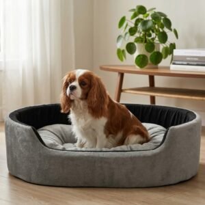 Skip to main contentSkip to toolbar About WordPress Furry Smile Live 22 updates available 00 Comments in moderation New View product Stats xstoreXStore XStore Builders Sales Booster Howdy, Ashish Kumar Edit Product Store Activity Activityunread activity Screen OptionsHelp Edit product Add new product The “ShopMagic for Twilio” plugin cannot run without ShopMagic for WooCommerce active. Please install and activate ShopMagic for WooCommerce plugin. Elementor Data Updater Database update process is running in the background. Taking a while? Product name Luxury Orthopedic Dog Bed Blue & Yellow | Soft Comfortable Pet Bed For Small, Medium And Large Dogs Skip to Editor Permalink: https://furrysmile.in/product/luxury-orthopedi…-bed-blue-yellow/ ‎Edit Edit with Elementor Product description Add Media Add Contact Form VisualCode Heading 3 h3 » span » img Word count: 823 Draft saved at 3:03:10 pm. Last edited on March 23, 2026 at 3:02 pm Move upMove downToggle panel: Publish Preview(opens in a new tab) Status: Draft EditEdit status Visibility: Public EditEdit visibility Publish on: Mar 23, 2026 at 15:02 EditEdit date and time Catalog visibility: Shop and search results Edit Copy to a new draft Move to Trash Move upMove downToggle panel: Product image Unify with Elementor AI dog bed, premium dog bed, orthopedic dog bed, soft dog bed, pet bed for dogs, comfortable dog bed, washable dog bed, dog bed with cushion, premium orthopedic dog bed for large dogs, soft and comfortable dog bed with cushion, durable dog bed with PU foam support, luxury pet bed for small and medium dogs, breathable dog bed for summer and winter, stylish modern dog bed for home, lightweight dog bed easy to carry, dog bed with bone shape pillow, buy dog bed online India, best dog bed for home use, affordable premium dog bed, high quality pet bed India, dog bed under budget, cozy dog bed, luxury pet comfort bed, soft plush dog bed, designer dog bed, pet sleeping bed, dog sofa bed, dog lounger bed, pet sofa bed, round dog bed, donut dog bed, calming dog bed, anti anxiety dog bed, raised edge dog bed, bolster dog bed, dog bed with side support, dog bed with high walls, puppy bed, small dog bed, medium dog bed, large dog bed, extra large dog bed, indoor dog bed, home pet bed, dog sleeping cushion, thick padded dog bed, fluffy dog bed, soft foam dog bed, PU foam dog bed, fiber filled dog bed, eco friendly dog bed, skin friendly dog bed, hypoallergenic dog bed, non toxic pet bed, durable pet bedding, long lasting dog bed, tear resistant dog bed, chew resistant dog bed, easy to clean dog bed, machine washable pet bed, removable cover dog bed, portable dog bed, travel dog bed, foldable dog bed, lightweight pet bed, luxury dog sofa, premium pet mattress, designer pet furniture, modern pet bed, aesthetic dog bed, comfortable pet mattress, pet relaxation bed, cozy pet nest, warm dog bed for winter, cool breathable dog bed for summer, all season dog bed, anti slip base dog bed, waterproof dog bed, indoor luxury pet bed, dog bed for crate, dog bed for living room, pet accessories dog bed, best selling dog bed, trending pet products, affordable pet bedding India, online pet supplies India Click the image to edit or update Remove product image Move upMove downToggle panel: Product gallery Unify with Elementor AI dog bed, premium dog bed, orthopedic dog bed, soft dog bed, pet bed for dogs, comfortable dog bed, washable dog bed, dog bed with cushion, premium orthopedic dog bed for large dogs, soft and comfortable dog bed with cushion, durable dog bed with PU foam support, luxury pet bed for small and medium dogs, breathable dog bed for summer and winter, stylish modern dog bed for home, lightweight dog bed easy to carry, dog bed with bone shape pillow, buy dog bed online India, best dog bed for home use, affordable premium dog bed, high quality pet bed India, dog bed under budget, cozy dog bed, luxury pet comfort bed, soft plush dog bed, designer dog bed, pet sleeping bed, dog sofa bed, dog lounger bed, pet sofa bed, round dog bed, donut dog bed, calming dog bed, anti anxiety dog bed, raised edge dog bed, bolster dog bed, dog bed with side support, dog bed with high walls, puppy bed, small dog bed, medium dog bed, large dog bed, extra large dog bed, indoor dog bed, home pet bed, dog sleeping cushion, thick padded dog bed, fluffy dog bed, soft foam dog bed, PU foam dog bed, fiber filled dog bed, eco friendly dog bed, skin friendly dog bed, hypoallergenic dog bed, non toxic pet bed, durable pet bedding, long lasting dog bed, tear resistant dog bed, chew resistant dog bed, easy to clean dog bed, machine washable pet bed, removable cover dog bed, portable dog bed, travel dog bed, foldable dog bed, lightweight pet bed, luxury dog sofa, premium pet mattress, designer pet furniture, modern pet bed, aesthetic dog bed, comfortable pet mattress, pet relaxation bed, cozy pet nest, warm dog bed for winter, cool breathable dog bed for summer, all season dog bed, anti slip base dog bed, waterproof dog bed, indoor luxury pet bed, dog bed for crate, dog bed for living room, pet accessories dog bed, best selling dog bed, trending pet products, affordable pet bedding India, online pet supplies Indiadog bed, premium dog bed, orthopedic dog bed, soft dog bed, pet bed for dogs, comfortable dog bed, washable dog bed, dog bed with cushion, premium orthopedic dog bed for large dogs, soft and comfortable dog bed with cushion, durable dog bed with PU foam support, luxury pet bed for small and medium dogs, breathable dog bed for summer and winter, stylish modern dog bed for home, lightweight dog bed easy to carry, dog bed with bone shape pillow, buy dog bed online India, best dog bed for home use, affordable premium dog bed, high quality pet bed India, dog bed under budget, cozy dog bed, luxury pet comfort bed, soft plush dog bed, designer dog bed, pet sleeping bed, dog sofa bed, dog lounger bed, pet sofa bed, round dog bed, donut dog bed, calming dog bed, anti anxiety dog bed, raised edge dog bed, bolster dog bed, dog bed with side support, dog bed with high walls, puppy bed, small dog bed, medium dog bed, large dog bed, extra large dog bed, indoor dog bed, home pet bed, dog sleeping cushion, thick padded dog bed, fluffy dog bed, soft foam dog bed, PU foam dog bed, fiber filled dog bed, eco friendly dog bed, skin friendly dog bed, hypoallergenic dog bed, non toxic pet bed, durable pet bedding, long lasting dog bed, tear resistant dog bed, chew resistant dog bed, easy to clean dog bed, machine washable pet bed, removable cover dog bed, portable dog bed, travel dog bed, foldable dog bed, lightweight pet bed, luxury dog sofa, premium pet mattress, designer pet furniture, modern pet bed, aesthetic dog bed, comfortable pet mattress, pet relaxation bed, cozy pet nest, warm dog bed for winter, cool breathable dog bed for summer, all season dog bed, anti slip base dog bed, waterproof dog bed, indoor luxury pet bed, dog bed for crate, dog bed for living room, pet accessories dog bed, best selling dog bed, trending pet products, affordable pet bedding India, online pet supplies Indiadog bed, premium dog bed, orthopedic dog bed, soft dog bed, pet bed for dogs, comfortable dog bed, washable dog bed, dog bed with cushion, premium orthopedic dog bed for large dogs, soft and comfortable dog bed with cushion, durable dog bed with PU foam support, luxury pet bed for small and medium dogs, breathable dog bed for summer and winter, stylish modern dog bed for home, lightweight dog bed easy to carry, dog bed with bone shape pillow, buy dog bed online India, best dog bed for home use, affordable premium dog bed, high quality pet bed India, dog bed under budget, cozy dog bed, luxury pet comfort bed, soft plush dog bed, designer dog bed, pet sleeping bed, dog sofa bed, dog lounger bed, pet sofa bed, round dog bed, donut dog bed, calming dog bed, anti anxiety dog bed, raised edge dog bed, bolster dog bed, dog bed with side support, dog bed with high walls, puppy bed, small dog bed, medium dog bed, large dog bed, extra large dog bed, indoor dog bed, home pet bed, dog sleeping cushion, thick padded dog bed, fluffy dog bed, soft foam dog bed, PU foam dog bed, fiber filled dog bed, eco friendly dog bed, skin friendly dog bed, hypoallergenic dog bed, non toxic pet bed, durable pet bedding, long lasting dog bed, tear resistant dog bed, chew resistant dog bed, easy to clean dog bed, machine washable pet bed, removable cover dog bed, portable dog bed, travel dog bed, foldable dog bed, lightweight pet bed, luxury dog sofa, premium pet mattress, designer pet furniture, modern pet bed, aesthetic dog bed, comfortable pet mattress, pet relaxation bed, cozy pet nest, warm dog bed for winter, cool breathable dog bed for summer, all season dog bed, anti slip base dog bed, waterproof dog bed, indoor luxury pet bed, dog bed for crate, dog bed for living room, pet accessories dog bed, best selling dog bed, trending pet products, affordable pet bedding India, online pet supplies India Add product gallery images Move upMove downToggle panel: Product categories All categories Most Used Uncategorized Luxury Dog Bed Dog Bed With Collar Dog Bed With Collar & Pillow Dog Bed With Pillow Simple Dog Bed + Add new category Move upMove downToggle panel: Product tags Add new tag Separate tags with commas Remove term: anti anxiety dog bed anti anxiety dog bedRemove term: bolster dog bed bolster dog bedRemove term: breathable dog bed breathable dog bedRemove term: calming dog bed calming dog bedRemove term: comfortable dog bed comfortable dog bedRemove term: cozy dog bed cozy dog bedRemove term: dog accessories dog accessoriesRemove term: Dog Bed Dog BedRemove term: dog bed with cushion dog bed with cushionRemove term: dog bed with pillow dog bed with pillowRemove term: dog lounger bed dog lounger bedRemove term: dog mattress dog mattressRemove term: dog sofa bed dog sofa bedRemove term: donut dog bed donut dog bedRemove term: durable dog bed durable dog bedRemove term: indoor dog bed indoor dog bedRemove term: large dog bed large dog bedRemove term: lightweight dog bed lightweight dog bedRemove term: luxury dog bed luxury dog bedRemove term: medium dog bed medium dog bedRemove term: modern dog bed modern dog bedRemove term: Orthopedic dog bed Orthopedic dog bedRemove term: Pet Bed Pet BedRemove term: pet bedding pet beddingRemove term: pet sleeping bed pet sleeping bedRemove term: premium dog bed premium dog bedRemove term: Puppy bed Puppy bedRemove term: small dog bed small dog bedRemove term: Soft dog bed Soft dog bedRemove term: washable dog bed washable dog bed Choose from the most used tags Move upMove downToggle panel: XStore Brands All Brands Most Used + Add New Brand Move upMove downToggle panel: Brands All Brands Most Used Furry Smile + Add New Brand Move upMove downToggle panel: Post Attributes Template Default template Move upMove downToggle panel: LiteSpeed Disable Cache Disable Image Lazyload Disable VPI Viewport Images Viewport Images - Mobile Learn More Move upMove downToggle panel: Product Video Upload your Video in 3 formats: MP4, OGG and WEBM Add product gallery video Autoplay product gallery video on single product page. Video will be muted. Or you can use YouTube or Vimeo iframe code Expand More video settings: You may change the positions of your video in product gallery on single product page. You may use video instead of featured image for product archive pages. Variable product Move upMove downToggle panel: Product data General Inventory Shipping Linked Products Attributes Variations Swatches Settings Advanced Pinterest Quantity type XStore Tax status Taxable Tax class Standard Move upMove downToggle panel: Product short description Add Media Add Contact FormVisualCode Paragraph Move upMove downToggle panel: XStore Options General Single layout Archive page XStore AI Assistant Primary category --Auto-- Sale countdown Disable NotificationsPermalink saved Close dialog Replace image Upload filesMedia Library Filter mediaFilter by type Images Filter by date All dates Search media Media list Showing 89 of 1606 media items Load more Attachment Details 4-72.jpeg March 23, 2026 499 KB 1500 by 837 pixels Edit with Elementor AI Edit Image Delete permanently Alt Text dog bed, premium dog bed, orthopedic dog bed, soft dog bed, pet bed for dogs, comfortable dog bed, washable dog bed, dog bed with cushion, premium orthopedic dog bed for large dogs, soft and comfortable dog bed with cushion, durable dog bed with PU foam support, luxury pet bed for small and medium dogs, breathable dog bed for summer and winter, stylish modern dog bed for home, lightweight dog bed easy to carry, dog bed with bone shape pillow, buy dog bed online India, best dog bed for home use, affordable premium dog bed, high quality pet bed India, dog bed under budget, cozy dog bed, luxury pet comfort bed, soft plush dog bed, designer dog bed, pet sleeping bed, dog sofa bed, dog lounger bed, pet sofa bed, round dog bed, donut dog bed, calming dog bed, anti anxiety dog bed, raised edge dog bed, bolster dog bed, dog bed with side support, dog bed with high walls, puppy bed, small dog bed, medium dog bed, large dog bed, extra large dog bed, indoor dog bed, home pet bed, dog sleeping cushion, thick padded dog bed, fluffy dog bed, soft foam dog bed, PU foam dog bed, fiber filled dog bed, eco friendly dog bed, skin friendly dog bed, hypoallergenic dog bed, non toxic pet bed, durable pet bedding, long lasting dog bed, tear resistant dog bed, chew resistant dog bed, easy to clean dog bed, machine washable pet bed, removable cover dog bed, portable dog bed, travel dog bed, foldable dog bed, lightweight pet bed, luxury dog sofa, premium pet mattress, designer pet furniture, modern pet bed, aesthetic dog bed, comfortable pet mattress, pet relaxation bed, cozy pet nest, warm dog bed for winter, cool breathable dog bed for summer, all season dog bed, anti slip base dog bed, waterproof dog bed, indoor luxury pet bed, dog bed for crate, dog bed for living room, pet accessories dog bed, best selling dog bed, trending pet products, affordable pet bedding India, online pet supplies India Learn how to describe the purpose of the image(opens in a new tab). Leave empty if the image is purely decorative.Title 4 Caption Description dog bed, premium dog bed, orthopedic dog bed, soft dog bed, pet bed for dogs, comfortable dog bed, washable dog bed, dog bed with cushion, premium orthopedic dog bed for large dogs, soft and comfortable dog bed with cushion, durable dog bed with PU foam support, luxury pet bed for small and medium dogs, breathable dog bed for summer and winter, stylish modern dog bed for home, lightweight dog bed easy to carry, dog bed with bone shape pillow, buy dog bed online India, best dog bed for home use, affordable premium dog bed, high quality pet bed India, dog bed under budget, cozy dog bed, luxury pet comfort bed, soft plush dog bed, designer dog bed, pet sleeping bed, dog sofa bed, dog lounger bed, pet sofa bed, round dog bed, donut dog bed, calming dog bed, anti anxiety dog bed, raised edge dog bed, bolster dog bed, dog bed with side support, dog bed with high walls, puppy bed, small dog bed, medium dog bed, large dog bed, extra large dog bed, indoor dog bed, home pet bed, dog sleeping cushion, thick padded dog bed, fluffy dog bed, soft foam dog bed, PU foam dog bed, fiber filled dog bed, eco friendly dog bed, skin friendly dog bed, hypoallergenic dog bed, non toxic pet bed, durable pet bedding, long lasting dog bed, tear resistant dog bed, chew resistant dog bed, easy to clean dog bed, machine washable pet bed, removable cover dog bed, portable dog bed, travel dog bed, foldable dog bed, lightweight pet bed, luxury dog sofa, premium pet mattress, designer pet furniture, modern pet bed, aesthetic dog bed, comfortable pet mattress, pet relaxation bed, cozy pet nest, warm dog bed for winter, cool breathable dog bed for summer, all season dog bed, anti slip base dog bed, waterproof dog bed, indoor luxury pet bed, dog bed for crate, dog bed for living room, pet accessories dog bed, best selling dog bed, trending pet products, affordable pet bedding India, online pet supplies India File URL: https://furrysmile.in/wp-content/uploads/2026/03/4-72.jpeg Copy URL to clipboard Attachment Display Settings Alignment None Link To None Size Medium – 300 × 167 Selected media actionsReplaceBack No file chosenSkip to main contentSkip to toolbar About WordPress Furry Smile Live 22 updates available 00 Comments in moderation New View product Stats xstoreXStore XStore Builders Sales Booster Howdy, Ashish Kumar Edit Product Store Activity Activityunread activity Screen OptionsHelp Edit product Add new product The “ShopMagic for Twilio” plugin cannot run without ShopMagic for WooCommerce active. Please install and activate ShopMagic for WooCommerce plugin. Elementor Data Updater Database update process is running in the background. Taking a while? Product name Luxury Orthopedic Dog Bed Blue & Yellow | Soft Comfortable Pet Bed For Small, Medium And Large Dogs Skip to Editor Permalink: https://furrysmile.in/product/luxury-orthopedi…-bed-blue-yellow/ ‎Edit Edit with Elementor Product description Add Media Add Contact Form VisualCode Heading 3 h3 » span » img Word count: 823 Draft saved at 3:03:10 pm. Last edited on March 23, 2026 at 3:02 pm Move upMove downToggle panel: Publish Preview(opens in a new tab) Status: Draft EditEdit status Visibility: Public EditEdit visibility Publish on: Mar 23, 2026 at 15:02 EditEdit date and time Catalog visibility: Shop and search results Edit Copy to a new draft Move to Trash Move upMove downToggle panel: Product image Unify with Elementor AI dog bed, premium dog bed, orthopedic dog bed, soft dog bed, pet bed for dogs, comfortable dog bed, washable dog bed, dog bed with cushion, premium orthopedic dog bed for large dogs, soft and comfortable dog bed with cushion, durable dog bed with PU foam support, luxury pet bed for small and medium dogs, breathable dog bed for summer and winter, stylish modern dog bed for home, lightweight dog bed easy to carry, dog bed with bone shape pillow, buy dog bed online India, best dog bed for home use, affordable premium dog bed, high quality pet bed India, dog bed under budget, cozy dog bed, luxury pet comfort bed, soft plush dog bed, designer dog bed, pet sleeping bed, dog sofa bed, dog lounger bed, pet sofa bed, round dog bed, donut dog bed, calming dog bed, anti anxiety dog bed, raised edge dog bed, bolster dog bed, dog bed with side support, dog bed with high walls, puppy bed, small dog bed, medium dog bed, large dog bed, extra large dog bed, indoor dog bed, home pet bed, dog sleeping cushion, thick padded dog bed, fluffy dog bed, soft foam dog bed, PU foam dog bed, fiber filled dog bed, eco friendly dog bed, skin friendly dog bed, hypoallergenic dog bed, non toxic pet bed, durable pet bedding, long lasting dog bed, tear resistant dog bed, chew resistant dog bed, easy to clean dog bed, machine washable pet bed, removable cover dog bed, portable dog bed, travel dog bed, foldable dog bed, lightweight pet bed, luxury dog sofa, premium pet mattress, designer pet furniture, modern pet bed, aesthetic dog bed, comfortable pet mattress, pet relaxation bed, cozy pet nest, warm dog bed for winter, cool breathable dog bed for summer, all season dog bed, anti slip base dog bed, waterproof dog bed, indoor luxury pet bed, dog bed for crate, dog bed for living room, pet accessories dog bed, best selling dog bed, trending pet products, affordable pet bedding India, online pet supplies India Click the image to edit or update Remove product image Move upMove downToggle panel: Product gallery Unify with Elementor AI dog bed, premium dog bed, orthopedic dog bed, soft dog bed, pet bed for dogs, comfortable dog bed, washable dog bed, dog bed with cushion, premium orthopedic dog bed for large dogs, soft and comfortable dog bed with cushion, durable dog bed with PU foam support, luxury pet bed for small and medium dogs, breathable dog bed for summer and winter, stylish modern dog bed for home, lightweight dog bed easy to carry, dog bed with bone shape pillow, buy dog bed online India, best dog bed for home use, affordable premium dog bed, high quality pet bed India, dog bed under budget, cozy dog bed, luxury pet comfort bed, soft plush dog bed, designer dog bed, pet sleeping bed, dog sofa bed, dog lounger bed, pet sofa bed, round dog bed, donut dog bed, calming dog bed, anti anxiety dog bed, raised edge dog bed, bolster dog bed, dog bed with side support, dog bed with high walls, puppy bed, small dog bed, medium dog bed, large dog bed, extra large dog bed, indoor dog bed, home pet bed, dog sleeping cushion, thick padded dog bed, fluffy dog bed, soft foam dog bed, PU foam dog bed, fiber filled dog bed, eco friendly dog bed, skin friendly dog bed, hypoallergenic dog bed, non toxic pet bed, durable pet bedding, long lasting dog bed, tear resistant dog bed, chew resistant dog bed, easy to clean dog bed, machine washable pet bed, removable cover dog bed, portable dog bed, travel dog bed, foldable dog bed, lightweight pet bed, luxury dog sofa, premium pet mattress, designer pet furniture, modern pet bed, aesthetic dog bed, comfortable pet mattress, pet relaxation bed, cozy pet nest, warm dog bed for winter, cool breathable dog bed for summer, all season dog bed, anti slip base dog bed, waterproof dog bed, indoor luxury pet bed, dog bed for crate, dog bed for living room, pet accessories dog bed, best selling dog bed, trending pet products, affordable pet bedding India, online pet supplies Indiadog bed, premium dog bed, orthopedic dog bed, soft dog bed, pet bed for dogs, comfortable dog bed, washable dog bed, dog bed with cushion, premium orthopedic dog bed for large dogs, soft and comfortable dog bed with cushion, durable dog bed with PU foam support, luxury pet bed for small and medium dogs, breathable dog bed for summer and winter, stylish modern dog bed for home, lightweight dog bed easy to carry, dog bed with bone shape pillow, buy dog bed online India, best dog bed for home use, affordable premium dog bed, high quality pet bed India, dog bed under budget, cozy dog bed, luxury pet comfort bed, soft plush dog bed, designer dog bed, pet sleeping bed, dog sofa bed, dog lounger bed, pet sofa bed, round dog bed, donut dog bed, calming dog bed, anti anxiety dog bed, raised edge dog bed, bolster dog bed, dog bed with side support, dog bed with high walls, puppy bed, small dog bed, medium dog bed, large dog bed, extra large dog bed, indoor dog bed, home pet bed, dog sleeping cushion, thick padded dog bed, fluffy dog bed, soft foam dog bed, PU foam dog bed, fiber filled dog bed, eco friendly dog bed, skin friendly dog bed, hypoallergenic dog bed, non toxic pet bed, durable pet bedding, long lasting dog bed, tear resistant dog bed, chew resistant dog bed, easy to clean dog bed, machine washable pet bed, removable cover dog bed, portable dog bed, travel dog bed, foldable dog bed, lightweight pet bed, luxury dog sofa, premium pet mattress, designer pet furniture, modern pet bed, aesthetic dog bed, comfortable pet mattress, pet relaxation bed, cozy pet nest, warm dog bed for winter, cool breathable dog bed for summer, all season dog bed, anti slip base dog bed, waterproof dog bed, indoor luxury pet bed, dog bed for crate, dog bed for living room, pet accessories dog bed, best selling dog bed, trending pet products, affordable pet bedding India, online pet supplies Indiadog bed, premium dog bed, orthopedic dog bed, soft dog bed, pet bed for dogs, comfortable dog bed, washable dog bed, dog bed with cushion, premium orthopedic dog bed for large dogs, soft and comfortable dog bed with cushion, durable dog bed with PU foam support, luxury pet bed for small and medium dogs, breathable dog bed for summer and winter, stylish modern dog bed for home, lightweight dog bed easy to carry, dog bed with bone shape pillow, buy dog bed online India, best dog bed for home use, affordable premium dog bed, high quality pet bed India, dog bed under budget, cozy dog bed, luxury pet comfort bed, soft plush dog bed, designer dog bed, pet sleeping bed, dog sofa bed, dog lounger bed, pet sofa bed, round dog bed, donut dog bed, calming dog bed, anti anxiety dog bed, raised edge dog bed, bolster dog bed, dog bed with side support, dog bed with high walls, puppy bed, small dog bed, medium dog bed, large dog bed, extra large dog bed, indoor dog bed, home pet bed, dog sleeping cushion, thick padded dog bed, fluffy dog bed, soft foam dog bed, PU foam dog bed, fiber filled dog bed, eco friendly dog bed, skin friendly dog bed, hypoallergenic dog bed, non toxic pet bed, durable pet bedding, long lasting dog bed, tear resistant dog bed, chew resistant dog bed, easy to clean dog bed, machine washable pet bed, removable cover dog bed, portable dog bed, travel dog bed, foldable dog bed, lightweight pet bed, luxury dog sofa, premium pet mattress, designer pet furniture, modern pet bed, aesthetic dog bed, comfortable pet mattress, pet relaxation bed, cozy pet nest, warm dog bed for winter, cool breathable dog bed for summer, all season dog bed, anti slip base dog bed, waterproof dog bed, indoor luxury pet bed, dog bed for crate, dog bed for living room, pet accessories dog bed, best selling dog bed, trending pet products, affordable pet bedding India, online pet supplies India Add product gallery images Move upMove downToggle panel: Product categories All categories Most Used Uncategorized Luxury Dog Bed Dog Bed With Collar Dog Bed With Collar & Pillow Dog Bed With Pillow Simple Dog Bed + Add new category Move upMove downToggle panel: Product tags Add new tag Separate tags with commas Remove term: anti anxiety dog bed anti anxiety dog bedRemove term: bolster dog bed bolster dog bedRemove term: breathable dog bed breathable dog bedRemove term: calming dog bed calming dog bedRemove term: comfortable dog bed comfortable dog bedRemove term: cozy dog bed cozy dog bedRemove term: dog accessories dog accessoriesRemove term: Dog Bed Dog BedRemove term: dog bed with cushion dog bed with cushionRemove term: dog bed with pillow dog bed with pillowRemove term: dog lounger bed dog lounger bedRemove term: dog mattress dog mattressRemove term: dog sofa bed dog sofa bedRemove term: donut dog bed donut dog bedRemove term: durable dog bed durable dog bedRemove term: indoor dog bed indoor dog bedRemove term: large dog bed large dog bedRemove term: lightweight dog bed lightweight dog bedRemove term: luxury dog bed luxury dog bedRemove term: medium dog bed medium dog bedRemove term: modern dog bed modern dog bedRemove term: Orthopedic dog bed Orthopedic dog bedRemove term: Pet Bed Pet BedRemove term: pet bedding pet beddingRemove term: pet sleeping bed pet sleeping bedRemove term: premium dog bed premium dog bedRemove term: Puppy bed Puppy bedRemove term: small dog bed small dog bedRemove term: Soft dog bed Soft dog bedRemove term: washable dog bed washable dog bed Choose from the most used tags Move upMove downToggle panel: XStore Brands All Brands Most Used + Add New Brand Move upMove downToggle panel: Brands All Brands Most Used Furry Smile + Add New Brand Move upMove downToggle panel: Post Attributes Template Default template Move upMove downToggle panel: LiteSpeed Disable Cache Disable Image Lazyload Disable VPI Viewport Images Viewport Images - Mobile Learn More Move upMove downToggle panel: Product Video Upload your Video in 3 formats: MP4, OGG and WEBM Add product gallery video Autoplay product gallery video on single product page. Video will be muted. Or you can use YouTube or Vimeo iframe code Expand More video settings: You may change the positions of your video in product gallery on single product page. You may use video instead of featured image for product archive pages. Variable product Move upMove downToggle panel: Product data General Inventory Shipping Linked Products Attributes Variations Swatches Settings Advanced Pinterest Quantity type XStore Tax status Taxable Tax class Standard Move upMove downToggle panel: Product short description Add Media Add Contact FormVisualCode Paragraph Move upMove downToggle panel: XStore Options General Single layout Archive page XStore AI Assistant Primary category --Auto-- Sale countdown Disable NotificationsPermalink saved Close dialog Replace image Upload filesMedia Library Filter mediaFilter by type Images Filter by date All dates Search media Media list Showing 89 of 1606 media items Load more Attachment Details 4-72.jpeg March 23, 2026 499 KB 1500 by 837 pixels Edit with Elementor AI Edit Image Delete permanently Alt Text dog bed, premium dog bed, orthopedic dog bed, soft dog bed, pet bed for dogs, comfortable dog bed, washable dog bed, dog bed with cushion, premium orthopedic dog bed for large dogs, soft and comfortable dog bed with cushion, durable dog bed with PU foam support, luxury pet bed for small and medium dogs, breathable dog bed for summer and winter, stylish modern dog bed for home, lightweight dog bed easy to carry, dog bed with bone shape pillow, buy dog bed online India, best dog bed for home use, affordable premium dog bed, high quality pet bed India, dog bed under budget, cozy dog bed, luxury pet comfort bed, soft plush dog bed, designer dog bed, pet sleeping bed, dog sofa bed, dog lounger bed, pet sofa bed, round dog bed, donut dog bed, calming dog bed, anti anxiety dog bed, raised edge dog bed, bolster dog bed, dog bed with side support, dog bed with high walls, puppy bed, small dog bed, medium dog bed, large dog bed, extra large dog bed, indoor dog bed, home pet bed, dog sleeping cushion, thick padded dog bed, fluffy dog bed, soft foam dog bed, PU foam dog bed, fiber filled dog bed, eco friendly dog bed, skin friendly dog bed, hypoallergenic dog bed, non toxic pet bed, durable pet bedding, long lasting dog bed, tear resistant dog bed, chew resistant dog bed, easy to clean dog bed, machine washable pet bed, removable cover dog bed, portable dog bed, travel dog bed, foldable dog bed, lightweight pet bed, luxury dog sofa, premium pet mattress, designer pet furniture, modern pet bed, aesthetic dog bed, comfortable pet mattress, pet relaxation bed, cozy pet nest, warm dog bed for winter, cool breathable dog bed for summer, all season dog bed, anti slip base dog bed, waterproof dog bed, indoor luxury pet bed, dog bed for crate, dog bed for living room, pet accessories dog bed, best selling dog bed, trending pet products, affordable pet bedding India, online pet supplies India Learn how to describe the purpose of the image(opens in a new tab). Leave empty if the image is purely decorative.Title 4 Caption Description dog bed, premium dog bed, orthopedic dog bed, soft dog bed, pet bed for dogs, comfortable dog bed, washable dog bed, dog bed with cushion, premium orthopedic dog bed for large dogs, soft and comfortable dog bed with cushion, durable dog bed with PU foam support, luxury pet bed for small and medium dogs, breathable dog bed for summer and winter, stylish modern dog bed for home, lightweight dog bed easy to carry, dog bed with bone shape pillow, buy dog bed online India, best dog bed for home use, affordable premium dog bed, high quality pet bed India, dog bed under budget, cozy dog bed, luxury pet comfort bed, soft plush dog bed, designer dog bed, pet sleeping bed, dog sofa bed, dog lounger bed, pet sofa bed, round dog bed, donut dog bed, calming dog bed, anti anxiety dog bed, raised edge dog bed, bolster dog bed, dog bed with side support, dog bed with high walls, puppy bed, small dog bed, medium dog bed, large dog bed, extra large dog bed, indoor dog bed, home pet bed, dog sleeping cushion, thick padded dog bed, fluffy dog bed, soft foam dog bed, PU foam dog bed, fiber filled dog bed, eco friendly dog bed, skin friendly dog bed, hypoallergenic dog bed, non toxic pet bed, durable pet bedding, long lasting dog bed, tear resistant dog bed, chew resistant dog bed, easy to clean dog bed, machine washable pet bed, removable cover dog bed, portable dog bed, travel dog bed, foldable dog bed, lightweight pet bed, luxury dog sofa, premium pet mattress, designer pet furniture, modern pet bed, aesthetic dog bed, comfortable pet mattress, pet relaxation bed, cozy pet nest, warm dog bed for winter, cool breathable dog bed for summer, all season dog bed, anti slip base dog bed, waterproof dog bed, indoor luxury pet bed, dog bed for crate, dog bed for living room, pet accessories dog bed, best selling dog bed, trending pet products, affordable pet bedding India, online pet supplies India File URL: https://furrysmile.in/wp-content/uploads/2026/03/4-72.jpeg Copy URL to clipboard Attachment Display Settings Alignment None Link To None Size Medium – 300 × 167 Selected media actionsReplaceBack No file chosen