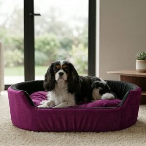 Skip to main contentSkip to toolbar About WordPress Furry Smile Live 22 updates available 00 Comments in moderation New View product Stats xstoreXStore XStore Builders Sales Booster Howdy, Ashish Kumar Edit Product Store Activity Activityunread activity Screen OptionsHelp Edit product Add new product The “ShopMagic for Twilio” plugin cannot run without ShopMagic for WooCommerce active. Please install and activate ShopMagic for WooCommerce plugin. Elementor Data Updater Database update process is running in the background. Taking a while? Product name Luxury Orthopedic Dog Bed Blue & Yellow | Soft Comfortable Pet Bed For Small, Medium And Large Dogs Skip to Editor Permalink: https://furrysmile.in/product/luxury-orthopedi…-bed-blue-yellow/ ‎Edit Edit with Elementor Product description Add Media Add Contact Form VisualCode Heading 3 h3 » span » img Word count: 823 Draft saved at 3:03:10 pm. Last edited on March 23, 2026 at 3:02 pm Move upMove downToggle panel: Publish Preview(opens in a new tab) Status: Draft EditEdit status Visibility: Public EditEdit visibility Publish on: Mar 23, 2026 at 15:02 EditEdit date and time Catalog visibility: Shop and search results Edit Copy to a new draft Move to Trash Move upMove downToggle panel: Product image Unify with Elementor AI dog bed, premium dog bed, orthopedic dog bed, soft dog bed, pet bed for dogs, comfortable dog bed, washable dog bed, dog bed with cushion, premium orthopedic dog bed for large dogs, soft and comfortable dog bed with cushion, durable dog bed with PU foam support, luxury pet bed for small and medium dogs, breathable dog bed for summer and winter, stylish modern dog bed for home, lightweight dog bed easy to carry, dog bed with bone shape pillow, buy dog bed online India, best dog bed for home use, affordable premium dog bed, high quality pet bed India, dog bed under budget, cozy dog bed, luxury pet comfort bed, soft plush dog bed, designer dog bed, pet sleeping bed, dog sofa bed, dog lounger bed, pet sofa bed, round dog bed, donut dog bed, calming dog bed, anti anxiety dog bed, raised edge dog bed, bolster dog bed, dog bed with side support, dog bed with high walls, puppy bed, small dog bed, medium dog bed, large dog bed, extra large dog bed, indoor dog bed, home pet bed, dog sleeping cushion, thick padded dog bed, fluffy dog bed, soft foam dog bed, PU foam dog bed, fiber filled dog bed, eco friendly dog bed, skin friendly dog bed, hypoallergenic dog bed, non toxic pet bed, durable pet bedding, long lasting dog bed, tear resistant dog bed, chew resistant dog bed, easy to clean dog bed, machine washable pet bed, removable cover dog bed, portable dog bed, travel dog bed, foldable dog bed, lightweight pet bed, luxury dog sofa, premium pet mattress, designer pet furniture, modern pet bed, aesthetic dog bed, comfortable pet mattress, pet relaxation bed, cozy pet nest, warm dog bed for winter, cool breathable dog bed for summer, all season dog bed, anti slip base dog bed, waterproof dog bed, indoor luxury pet bed, dog bed for crate, dog bed for living room, pet accessories dog bed, best selling dog bed, trending pet products, affordable pet bedding India, online pet supplies India Click the image to edit or update Remove product image Move upMove downToggle panel: Product gallery Unify with Elementor AI dog bed, premium dog bed, orthopedic dog bed, soft dog bed, pet bed for dogs, comfortable dog bed, washable dog bed, dog bed with cushion, premium orthopedic dog bed for large dogs, soft and comfortable dog bed with cushion, durable dog bed with PU foam support, luxury pet bed for small and medium dogs, breathable dog bed for summer and winter, stylish modern dog bed for home, lightweight dog bed easy to carry, dog bed with bone shape pillow, buy dog bed online India, best dog bed for home use, affordable premium dog bed, high quality pet bed India, dog bed under budget, cozy dog bed, luxury pet comfort bed, soft plush dog bed, designer dog bed, pet sleeping bed, dog sofa bed, dog lounger bed, pet sofa bed, round dog bed, donut dog bed, calming dog bed, anti anxiety dog bed, raised edge dog bed, bolster dog bed, dog bed with side support, dog bed with high walls, puppy bed, small dog bed, medium dog bed, large dog bed, extra large dog bed, indoor dog bed, home pet bed, dog sleeping cushion, thick padded dog bed, fluffy dog bed, soft foam dog bed, PU foam dog bed, fiber filled dog bed, eco friendly dog bed, skin friendly dog bed, hypoallergenic dog bed, non toxic pet bed, durable pet bedding, long lasting dog bed, tear resistant dog bed, chew resistant dog bed, easy to clean dog bed, machine washable pet bed, removable cover dog bed, portable dog bed, travel dog bed, foldable dog bed, lightweight pet bed, luxury dog sofa, premium pet mattress, designer pet furniture, modern pet bed, aesthetic dog bed, comfortable pet mattress, pet relaxation bed, cozy pet nest, warm dog bed for winter, cool breathable dog bed for summer, all season dog bed, anti slip base dog bed, waterproof dog bed, indoor luxury pet bed, dog bed for crate, dog bed for living room, pet accessories dog bed, best selling dog bed, trending pet products, affordable pet bedding India, online pet supplies Indiadog bed, premium dog bed, orthopedic dog bed, soft dog bed, pet bed for dogs, comfortable dog bed, washable dog bed, dog bed with cushion, premium orthopedic dog bed for large dogs, soft and comfortable dog bed with cushion, durable dog bed with PU foam support, luxury pet bed for small and medium dogs, breathable dog bed for summer and winter, stylish modern dog bed for home, lightweight dog bed easy to carry, dog bed with bone shape pillow, buy dog bed online India, best dog bed for home use, affordable premium dog bed, high quality pet bed India, dog bed under budget, cozy dog bed, luxury pet comfort bed, soft plush dog bed, designer dog bed, pet sleeping bed, dog sofa bed, dog lounger bed, pet sofa bed, round dog bed, donut dog bed, calming dog bed, anti anxiety dog bed, raised edge dog bed, bolster dog bed, dog bed with side support, dog bed with high walls, puppy bed, small dog bed, medium dog bed, large dog bed, extra large dog bed, indoor dog bed, home pet bed, dog sleeping cushion, thick padded dog bed, fluffy dog bed, soft foam dog bed, PU foam dog bed, fiber filled dog bed, eco friendly dog bed, skin friendly dog bed, hypoallergenic dog bed, non toxic pet bed, durable pet bedding, long lasting dog bed, tear resistant dog bed, chew resistant dog bed, easy to clean dog bed, machine washable pet bed, removable cover dog bed, portable dog bed, travel dog bed, foldable dog bed, lightweight pet bed, luxury dog sofa, premium pet mattress, designer pet furniture, modern pet bed, aesthetic dog bed, comfortable pet mattress, pet relaxation bed, cozy pet nest, warm dog bed for winter, cool breathable dog bed for summer, all season dog bed, anti slip base dog bed, waterproof dog bed, indoor luxury pet bed, dog bed for crate, dog bed for living room, pet accessories dog bed, best selling dog bed, trending pet products, affordable pet bedding India, online pet supplies Indiadog bed, premium dog bed, orthopedic dog bed, soft dog bed, pet bed for dogs, comfortable dog bed, washable dog bed, dog bed with cushion, premium orthopedic dog bed for large dogs, soft and comfortable dog bed with cushion, durable dog bed with PU foam support, luxury pet bed for small and medium dogs, breathable dog bed for summer and winter, stylish modern dog bed for home, lightweight dog bed easy to carry, dog bed with bone shape pillow, buy dog bed online India, best dog bed for home use, affordable premium dog bed, high quality pet bed India, dog bed under budget, cozy dog bed, luxury pet comfort bed, soft plush dog bed, designer dog bed, pet sleeping bed, dog sofa bed, dog lounger bed, pet sofa bed, round dog bed, donut dog bed, calming dog bed, anti anxiety dog bed, raised edge dog bed, bolster dog bed, dog bed with side support, dog bed with high walls, puppy bed, small dog bed, medium dog bed, large dog bed, extra large dog bed, indoor dog bed, home pet bed, dog sleeping cushion, thick padded dog bed, fluffy dog bed, soft foam dog bed, PU foam dog bed, fiber filled dog bed, eco friendly dog bed, skin friendly dog bed, hypoallergenic dog bed, non toxic pet bed, durable pet bedding, long lasting dog bed, tear resistant dog bed, chew resistant dog bed, easy to clean dog bed, machine washable pet bed, removable cover dog bed, portable dog bed, travel dog bed, foldable dog bed, lightweight pet bed, luxury dog sofa, premium pet mattress, designer pet furniture, modern pet bed, aesthetic dog bed, comfortable pet mattress, pet relaxation bed, cozy pet nest, warm dog bed for winter, cool breathable dog bed for summer, all season dog bed, anti slip base dog bed, waterproof dog bed, indoor luxury pet bed, dog bed for crate, dog bed for living room, pet accessories dog bed, best selling dog bed, trending pet products, affordable pet bedding India, online pet supplies India Add product gallery images Move upMove downToggle panel: Product categories All categories Most Used Uncategorized Luxury Dog Bed Dog Bed With Collar Dog Bed With Collar & Pillow Dog Bed With Pillow Simple Dog Bed + Add new category Move upMove downToggle panel: Product tags Add new tag Separate tags with commas Remove term: anti anxiety dog bed anti anxiety dog bedRemove term: bolster dog bed bolster dog bedRemove term: breathable dog bed breathable dog bedRemove term: calming dog bed calming dog bedRemove term: comfortable dog bed comfortable dog bedRemove term: cozy dog bed cozy dog bedRemove term: dog accessories dog accessoriesRemove term: Dog Bed Dog BedRemove term: dog bed with cushion dog bed with cushionRemove term: dog bed with pillow dog bed with pillowRemove term: dog lounger bed dog lounger bedRemove term: dog mattress dog mattressRemove term: dog sofa bed dog sofa bedRemove term: donut dog bed donut dog bedRemove term: durable dog bed durable dog bedRemove term: indoor dog bed indoor dog bedRemove term: large dog bed large dog bedRemove term: lightweight dog bed lightweight dog bedRemove term: luxury dog bed luxury dog bedRemove term: medium dog bed medium dog bedRemove term: modern dog bed modern dog bedRemove term: Orthopedic dog bed Orthopedic dog bedRemove term: Pet Bed Pet BedRemove term: pet bedding pet beddingRemove term: pet sleeping bed pet sleeping bedRemove term: premium dog bed premium dog bedRemove term: Puppy bed Puppy bedRemove term: small dog bed small dog bedRemove term: Soft dog bed Soft dog bedRemove term: washable dog bed washable dog bed Choose from the most used tags Move upMove downToggle panel: XStore Brands All Brands Most Used + Add New Brand Move upMove downToggle panel: Brands All Brands Most Used Furry Smile + Add New Brand Move upMove downToggle panel: Post Attributes Template Default template Move upMove downToggle panel: LiteSpeed Disable Cache Disable Image Lazyload Disable VPI Viewport Images Viewport Images - Mobile Learn More Move upMove downToggle panel: Product Video Upload your Video in 3 formats: MP4, OGG and WEBM Add product gallery video Autoplay product gallery video on single product page. Video will be muted. Or you can use YouTube or Vimeo iframe code Expand More video settings: You may change the positions of your video in product gallery on single product page. You may use video instead of featured image for product archive pages. Variable product Move upMove downToggle panel: Product data General Inventory Shipping Linked Products Attributes Variations Swatches Settings Advanced Pinterest Quantity type XStore Tax status Taxable Tax class Standard Move upMove downToggle panel: Product short description Add Media Add Contact FormVisualCode Paragraph Move upMove downToggle panel: XStore Options General Single layout Archive page XStore AI Assistant Primary category --Auto-- Sale countdown Disable NotificationsPermalink saved Close dialog Replace image Upload filesMedia Library Filter mediaFilter by type Images Filter by date All dates Search media Media list Showing 89 of 1606 media items Load more Attachment Details 4-72.jpeg March 23, 2026 499 KB 1500 by 837 pixels Edit with Elementor AI Edit Image Delete permanently Alt Text dog bed, premium dog bed, orthopedic dog bed, soft dog bed, pet bed for dogs, comfortable dog bed, washable dog bed, dog bed with cushion, premium orthopedic dog bed for large dogs, soft and comfortable dog bed with cushion, durable dog bed with PU foam support, luxury pet bed for small and medium dogs, breathable dog bed for summer and winter, stylish modern dog bed for home, lightweight dog bed easy to carry, dog bed with bone shape pillow, buy dog bed online India, best dog bed for home use, affordable premium dog bed, high quality pet bed India, dog bed under budget, cozy dog bed, luxury pet comfort bed, soft plush dog bed, designer dog bed, pet sleeping bed, dog sofa bed, dog lounger bed, pet sofa bed, round dog bed, donut dog bed, calming dog bed, anti anxiety dog bed, raised edge dog bed, bolster dog bed, dog bed with side support, dog bed with high walls, puppy bed, small dog bed, medium dog bed, large dog bed, extra large dog bed, indoor dog bed, home pet bed, dog sleeping cushion, thick padded dog bed, fluffy dog bed, soft foam dog bed, PU foam dog bed, fiber filled dog bed, eco friendly dog bed, skin friendly dog bed, hypoallergenic dog bed, non toxic pet bed, durable pet bedding, long lasting dog bed, tear resistant dog bed, chew resistant dog bed, easy to clean dog bed, machine washable pet bed, removable cover dog bed, portable dog bed, travel dog bed, foldable dog bed, lightweight pet bed, luxury dog sofa, premium pet mattress, designer pet furniture, modern pet bed, aesthetic dog bed, comfortable pet mattress, pet relaxation bed, cozy pet nest, warm dog bed for winter, cool breathable dog bed for summer, all season dog bed, anti slip base dog bed, waterproof dog bed, indoor luxury pet bed, dog bed for crate, dog bed for living room, pet accessories dog bed, best selling dog bed, trending pet products, affordable pet bedding India, online pet supplies India Learn how to describe the purpose of the image(opens in a new tab). Leave empty if the image is purely decorative.Title 4 Caption Description dog bed, premium dog bed, orthopedic dog bed, soft dog bed, pet bed for dogs, comfortable dog bed, washable dog bed, dog bed with cushion, premium orthopedic dog bed for large dogs, soft and comfortable dog bed with cushion, durable dog bed with PU foam support, luxury pet bed for small and medium dogs, breathable dog bed for summer and winter, stylish modern dog bed for home, lightweight dog bed easy to carry, dog bed with bone shape pillow, buy dog bed online India, best dog bed for home use, affordable premium dog bed, high quality pet bed India, dog bed under budget, cozy dog bed, luxury pet comfort bed, soft plush dog bed, designer dog bed, pet sleeping bed, dog sofa bed, dog lounger bed, pet sofa bed, round dog bed, donut dog bed, calming dog bed, anti anxiety dog bed, raised edge dog bed, bolster dog bed, dog bed with side support, dog bed with high walls, puppy bed, small dog bed, medium dog bed, large dog bed, extra large dog bed, indoor dog bed, home pet bed, dog sleeping cushion, thick padded dog bed, fluffy dog bed, soft foam dog bed, PU foam dog bed, fiber filled dog bed, eco friendly dog bed, skin friendly dog bed, hypoallergenic dog bed, non toxic pet bed, durable pet bedding, long lasting dog bed, tear resistant dog bed, chew resistant dog bed, easy to clean dog bed, machine washable pet bed, removable cover dog bed, portable dog bed, travel dog bed, foldable dog bed, lightweight pet bed, luxury dog sofa, premium pet mattress, designer pet furniture, modern pet bed, aesthetic dog bed, comfortable pet mattress, pet relaxation bed, cozy pet nest, warm dog bed for winter, cool breathable dog bed for summer, all season dog bed, anti slip base dog bed, waterproof dog bed, indoor luxury pet bed, dog bed for crate, dog bed for living room, pet accessories dog bed, best selling dog bed, trending pet products, affordable pet bedding India, online pet supplies India File URL: https://furrysmile.in/wp-content/uploads/2026/03/4-72.jpeg Copy URL to clipboard Attachment Display Settings Alignment None Link To None Size Medium – 300 × 167 Selected media actionsReplaceBack No file chosenSkip to main contentSkip to toolbar About WordPress Furry Smile Live 22 updates available 00 Comments in moderation New View product Stats xstoreXStore XStore Builders Sales Booster Howdy, Ashish Kumar Edit Product Store Activity Activityunread activity Screen OptionsHelp Edit product Add new product The “ShopMagic for Twilio” plugin cannot run without ShopMagic for WooCommerce active. Please install and activate ShopMagic for WooCommerce plugin. Elementor Data Updater Database update process is running in the background. Taking a while? Product name Luxury Orthopedic Dog Bed Blue & Yellow | Soft Comfortable Pet Bed For Small, Medium And Large Dogs Skip to Editor Permalink: https://furrysmile.in/product/luxury-orthopedi…-bed-blue-yellow/ ‎Edit Edit with Elementor Product description Add Media Add Contact Form VisualCode Heading 3 h3 » span » img Word count: 823 Draft saved at 3:03:10 pm. Last edited on March 23, 2026 at 3:02 pm Move upMove downToggle panel: Publish Preview(opens in a new tab) Status: Draft EditEdit status Visibility: Public EditEdit visibility Publish on: Mar 23, 2026 at 15:02 EditEdit date and time Catalog visibility: Shop and search results Edit Copy to a new draft Move to Trash Move upMove downToggle panel: Product image Unify with Elementor AI dog bed, premium dog bed, orthopedic dog bed, soft dog bed, pet bed for dogs, comfortable dog bed, washable dog bed, dog bed with cushion, premium orthopedic dog bed for large dogs, soft and comfortable dog bed with cushion, durable dog bed with PU foam support, luxury pet bed for small and medium dogs, breathable dog bed for summer and winter, stylish modern dog bed for home, lightweight dog bed easy to carry, dog bed with bone shape pillow, buy dog bed online India, best dog bed for home use, affordable premium dog bed, high quality pet bed India, dog bed under budget, cozy dog bed, luxury pet comfort bed, soft plush dog bed, designer dog bed, pet sleeping bed, dog sofa bed, dog lounger bed, pet sofa bed, round dog bed, donut dog bed, calming dog bed, anti anxiety dog bed, raised edge dog bed, bolster dog bed, dog bed with side support, dog bed with high walls, puppy bed, small dog bed, medium dog bed, large dog bed, extra large dog bed, indoor dog bed, home pet bed, dog sleeping cushion, thick padded dog bed, fluffy dog bed, soft foam dog bed, PU foam dog bed, fiber filled dog bed, eco friendly dog bed, skin friendly dog bed, hypoallergenic dog bed, non toxic pet bed, durable pet bedding, long lasting dog bed, tear resistant dog bed, chew resistant dog bed, easy to clean dog bed, machine washable pet bed, removable cover dog bed, portable dog bed, travel dog bed, foldable dog bed, lightweight pet bed, luxury dog sofa, premium pet mattress, designer pet furniture, modern pet bed, aesthetic dog bed, comfortable pet mattress, pet relaxation bed, cozy pet nest, warm dog bed for winter, cool breathable dog bed for summer, all season dog bed, anti slip base dog bed, waterproof dog bed, indoor luxury pet bed, dog bed for crate, dog bed for living room, pet accessories dog bed, best selling dog bed, trending pet products, affordable pet bedding India, online pet supplies India Click the image to edit or update Remove product image Move upMove downToggle panel: Product gallery Unify with Elementor AI dog bed, premium dog bed, orthopedic dog bed, soft dog bed, pet bed for dogs, comfortable dog bed, washable dog bed, dog bed with cushion, premium orthopedic dog bed for large dogs, soft and comfortable dog bed with cushion, durable dog bed with PU foam support, luxury pet bed for small and medium dogs, breathable dog bed for summer and winter, stylish modern dog bed for home, lightweight dog bed easy to carry, dog bed with bone shape pillow, buy dog bed online India, best dog bed for home use, affordable premium dog bed, high quality pet bed India, dog bed under budget, cozy dog bed, luxury pet comfort bed, soft plush dog bed, designer dog bed, pet sleeping bed, dog sofa bed, dog lounger bed, pet sofa bed, round dog bed, donut dog bed, calming dog bed, anti anxiety dog bed, raised edge dog bed, bolster dog bed, dog bed with side support, dog bed with high walls, puppy bed, small dog bed, medium dog bed, large dog bed, extra large dog bed, indoor dog bed, home pet bed, dog sleeping cushion, thick padded dog bed, fluffy dog bed, soft foam dog bed, PU foam dog bed, fiber filled dog bed, eco friendly dog bed, skin friendly dog bed, hypoallergenic dog bed, non toxic pet bed, durable pet bedding, long lasting dog bed, tear resistant dog bed, chew resistant dog bed, easy to clean dog bed, machine washable pet bed, removable cover dog bed, portable dog bed, travel dog bed, foldable dog bed, lightweight pet bed, luxury dog sofa, premium pet mattress, designer pet furniture, modern pet bed, aesthetic dog bed, comfortable pet mattress, pet relaxation bed, cozy pet nest, warm dog bed for winter, cool breathable dog bed for summer, all season dog bed, anti slip base dog bed, waterproof dog bed, indoor luxury pet bed, dog bed for crate, dog bed for living room, pet accessories dog bed, best selling dog bed, trending pet products, affordable pet bedding India, online pet supplies Indiadog bed, premium dog bed, orthopedic dog bed, soft dog bed, pet bed for dogs, comfortable dog bed, washable dog bed, dog bed with cushion, premium orthopedic dog bed for large dogs, soft and comfortable dog bed with cushion, durable dog bed with PU foam support, luxury pet bed for small and medium dogs, breathable dog bed for summer and winter, stylish modern dog bed for home, lightweight dog bed easy to carry, dog bed with bone shape pillow, buy dog bed online India, best dog bed for home use, affordable premium dog bed, high quality pet bed India, dog bed under budget, cozy dog bed, luxury pet comfort bed, soft plush dog bed, designer dog bed, pet sleeping bed, dog sofa bed, dog lounger bed, pet sofa bed, round dog bed, donut dog bed, calming dog bed, anti anxiety dog bed, raised edge dog bed, bolster dog bed, dog bed with side support, dog bed with high walls, puppy bed, small dog bed, medium dog bed, large dog bed, extra large dog bed, indoor dog bed, home pet bed, dog sleeping cushion, thick padded dog bed, fluffy dog bed, soft foam dog bed, PU foam dog bed, fiber filled dog bed, eco friendly dog bed, skin friendly dog bed, hypoallergenic dog bed, non toxic pet bed, durable pet bedding, long lasting dog bed, tear resistant dog bed, chew resistant dog bed, easy to clean dog bed, machine washable pet bed, removable cover dog bed, portable dog bed, travel dog bed, foldable dog bed, lightweight pet bed, luxury dog sofa, premium pet mattress, designer pet furniture, modern pet bed, aesthetic dog bed, comfortable pet mattress, pet relaxation bed, cozy pet nest, warm dog bed for winter, cool breathable dog bed for summer, all season dog bed, anti slip base dog bed, waterproof dog bed, indoor luxury pet bed, dog bed for crate, dog bed for living room, pet accessories dog bed, best selling dog bed, trending pet products, affordable pet bedding India, online pet supplies Indiadog bed, premium dog bed, orthopedic dog bed, soft dog bed, pet bed for dogs, comfortable dog bed, washable dog bed, dog bed with cushion, premium orthopedic dog bed for large dogs, soft and comfortable dog bed with cushion, durable dog bed with PU foam support, luxury pet bed for small and medium dogs, breathable dog bed for summer and winter, stylish modern dog bed for home, lightweight dog bed easy to carry, dog bed with bone shape pillow, buy dog bed online India, best dog bed for home use, affordable premium dog bed, high quality pet bed India, dog bed under budget, cozy dog bed, luxury pet comfort bed, soft plush dog bed, designer dog bed, pet sleeping bed, dog sofa bed, dog lounger bed, pet sofa bed, round dog bed, donut dog bed, calming dog bed, anti anxiety dog bed, raised edge dog bed, bolster dog bed, dog bed with side support, dog bed with high walls, puppy bed, small dog bed, medium dog bed, large dog bed, extra large dog bed, indoor dog bed, home pet bed, dog sleeping cushion, thick padded dog bed, fluffy dog bed, soft foam dog bed, PU foam dog bed, fiber filled dog bed, eco friendly dog bed, skin friendly dog bed, hypoallergenic dog bed, non toxic pet bed, durable pet bedding, long lasting dog bed, tear resistant dog bed, chew resistant dog bed, easy to clean dog bed, machine washable pet bed, removable cover dog bed, portable dog bed, travel dog bed, foldable dog bed, lightweight pet bed, luxury dog sofa, premium pet mattress, designer pet furniture, modern pet bed, aesthetic dog bed, comfortable pet mattress, pet relaxation bed, cozy pet nest, warm dog bed for winter, cool breathable dog bed for summer, all season dog bed, anti slip base dog bed, waterproof dog bed, indoor luxury pet bed, dog bed for crate, dog bed for living room, pet accessories dog bed, best selling dog bed, trending pet products, affordable pet bedding India, online pet supplies India Add product gallery images Move upMove downToggle panel: Product categories All categories Most Used Uncategorized Luxury Dog Bed Dog Bed With Collar Dog Bed With Collar & Pillow Dog Bed With Pillow Simple Dog Bed + Add new category Move upMove downToggle panel: Product tags Add new tag Separate tags with commas Remove term: anti anxiety dog bed anti anxiety dog bedRemove term: bolster dog bed bolster dog bedRemove term: breathable dog bed breathable dog bedRemove term: calming dog bed calming dog bedRemove term: comfortable dog bed comfortable dog bedRemove term: cozy dog bed cozy dog bedRemove term: dog accessories dog accessoriesRemove term: Dog Bed Dog BedRemove term: dog bed with cushion dog bed with cushionRemove term: dog bed with pillow dog bed with pillowRemove term: dog lounger bed dog lounger bedRemove term: dog mattress dog mattressRemove term: dog sofa bed dog sofa bedRemove term: donut dog bed donut dog bedRemove term: durable dog bed durable dog bedRemove term: indoor dog bed indoor dog bedRemove term: large dog bed large dog bedRemove term: lightweight dog bed lightweight dog bedRemove term: luxury dog bed luxury dog bedRemove term: medium dog bed medium dog bedRemove term: modern dog bed modern dog bedRemove term: Orthopedic dog bed Orthopedic dog bedRemove term: Pet Bed Pet BedRemove term: pet bedding pet beddingRemove term: pet sleeping bed pet sleeping bedRemove term: premium dog bed premium dog bedRemove term: Puppy bed Puppy bedRemove term: small dog bed small dog bedRemove term: Soft dog bed Soft dog bedRemove term: washable dog bed washable dog bed Choose from the most used tags Move upMove downToggle panel: XStore Brands All Brands Most Used + Add New Brand Move upMove downToggle panel: Brands All Brands Most Used Furry Smile + Add New Brand Move upMove downToggle panel: Post Attributes Template Default template Move upMove downToggle panel: LiteSpeed Disable Cache Disable Image Lazyload Disable VPI Viewport Images Viewport Images - Mobile Learn More Move upMove downToggle panel: Product Video Upload your Video in 3 formats: MP4, OGG and WEBM Add product gallery video Autoplay product gallery video on single product page. Video will be muted. Or you can use YouTube or Vimeo iframe code Expand More video settings: You may change the positions of your video in product gallery on single product page. You may use video instead of featured image for product archive pages. Variable product Move upMove downToggle panel: Product data General Inventory Shipping Linked Products Attributes Variations Swatches Settings Advanced Pinterest Quantity type XStore Tax status Taxable Tax class Standard Move upMove downToggle panel: Product short description Add Media Add Contact FormVisualCode Paragraph Move upMove downToggle panel: XStore Options General Single layout Archive page XStore AI Assistant Primary category --Auto-- Sale countdown Disable NotificationsPermalink saved Close dialog Replace image Upload filesMedia Library Filter mediaFilter by type Images Filter by date All dates Search media Media list Showing 89 of 1606 media items Load more Attachment Details 4-72.jpeg March 23, 2026 499 KB 1500 by 837 pixels Edit with Elementor AI Edit Image Delete permanently Alt Text dog bed, premium dog bed, orthopedic dog bed, soft dog bed, pet bed for dogs, comfortable dog bed, washable dog bed, dog bed with cushion, premium orthopedic dog bed for large dogs, soft and comfortable dog bed with cushion, durable dog bed with PU foam support, luxury pet bed for small and medium dogs, breathable dog bed for summer and winter, stylish modern dog bed for home, lightweight dog bed easy to carry, dog bed with bone shape pillow, buy dog bed online India, best dog bed for home use, affordable premium dog bed, high quality pet bed India, dog bed under budget, cozy dog bed, luxury pet comfort bed, soft plush dog bed, designer dog bed, pet sleeping bed, dog sofa bed, dog lounger bed, pet sofa bed, round dog bed, donut dog bed, calming dog bed, anti anxiety dog bed, raised edge dog bed, bolster dog bed, dog bed with side support, dog bed with high walls, puppy bed, small dog bed, medium dog bed, large dog bed, extra large dog bed, indoor dog bed, home pet bed, dog sleeping cushion, thick padded dog bed, fluffy dog bed, soft foam dog bed, PU foam dog bed, fiber filled dog bed, eco friendly dog bed, skin friendly dog bed, hypoallergenic dog bed, non toxic pet bed, durable pet bedding, long lasting dog bed, tear resistant dog bed, chew resistant dog bed, easy to clean dog bed, machine washable pet bed, removable cover dog bed, portable dog bed, travel dog bed, foldable dog bed, lightweight pet bed, luxury dog sofa, premium pet mattress, designer pet furniture, modern pet bed, aesthetic dog bed, comfortable pet mattress, pet relaxation bed, cozy pet nest, warm dog bed for winter, cool breathable dog bed for summer, all season dog bed, anti slip base dog bed, waterproof dog bed, indoor luxury pet bed, dog bed for crate, dog bed for living room, pet accessories dog bed, best selling dog bed, trending pet products, affordable pet bedding India, online pet supplies India Learn how to describe the purpose of the image(opens in a new tab). Leave empty if the image is purely decorative.Title 4 Caption Description dog bed, premium dog bed, orthopedic dog bed, soft dog bed, pet bed for dogs, comfortable dog bed, washable dog bed, dog bed with cushion, premium orthopedic dog bed for large dogs, soft and comfortable dog bed with cushion, durable dog bed with PU foam support, luxury pet bed for small and medium dogs, breathable dog bed for summer and winter, stylish modern dog bed for home, lightweight dog bed easy to carry, dog bed with bone shape pillow, buy dog bed online India, best dog bed for home use, affordable premium dog bed, high quality pet bed India, dog bed under budget, cozy dog bed, luxury pet comfort bed, soft plush dog bed, designer dog bed, pet sleeping bed, dog sofa bed, dog lounger bed, pet sofa bed, round dog bed, donut dog bed, calming dog bed, anti anxiety dog bed, raised edge dog bed, bolster dog bed, dog bed with side support, dog bed with high walls, puppy bed, small dog bed, medium dog bed, large dog bed, extra large dog bed, indoor dog bed, home pet bed, dog sleeping cushion, thick padded dog bed, fluffy dog bed, soft foam dog bed, PU foam dog bed, fiber filled dog bed, eco friendly dog bed, skin friendly dog bed, hypoallergenic dog bed, non toxic pet bed, durable pet bedding, long lasting dog bed, tear resistant dog bed, chew resistant dog bed, easy to clean dog bed, machine washable pet bed, removable cover dog bed, portable dog bed, travel dog bed, foldable dog bed, lightweight pet bed, luxury dog sofa, premium pet mattress, designer pet furniture, modern pet bed, aesthetic dog bed, comfortable pet mattress, pet relaxation bed, cozy pet nest, warm dog bed for winter, cool breathable dog bed for summer, all season dog bed, anti slip base dog bed, waterproof dog bed, indoor luxury pet bed, dog bed for crate, dog bed for living room, pet accessories dog bed, best selling dog bed, trending pet products, affordable pet bedding India, online pet supplies India File URL: https://furrysmile.in/wp-content/uploads/2026/03/4-72.jpeg Copy URL to clipboard Attachment Display Settings Alignment None Link To None Size Medium – 300 × 167 Selected media actionsReplaceBack No file chosen