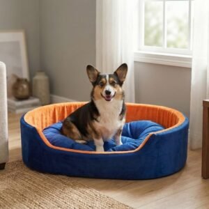 Skip to main contentSkip to toolbar About WordPress Furry Smile Live 22 updates available 00 Comments in moderation New View product Stats xstoreXStore XStore Builders Sales Booster Howdy, Ashish Kumar Edit Product Store Activity Activityunread activity Screen OptionsHelp Edit product Add new product The “ShopMagic for Twilio” plugin cannot run without ShopMagic for WooCommerce active. Please install and activate ShopMagic for WooCommerce plugin. Elementor Data Updater Database update process is running in the background. Taking a while? Product name Luxury Orthopedic Dog Bed Blue & Yellow | Soft Comfortable Pet Bed For Small, Medium And Large Dogs Skip to Editor Permalink: https://furrysmile.in/product/luxury-orthopedi…-bed-blue-yellow/ ‎Edit Edit with Elementor Product description Add Media Add Contact Form VisualCode Heading 3 h3 » span » img Word count: 823 Draft saved at 3:03:10 pm. Last edited on March 23, 2026 at 3:02 pm Move upMove downToggle panel: Publish Preview(opens in a new tab) Status: Draft EditEdit status Visibility: Public EditEdit visibility Publish on: Mar 23, 2026 at 15:02 EditEdit date and time Catalog visibility: Shop and search results Edit Copy to a new draft Move to Trash Move upMove downToggle panel: Product image Unify with Elementor AI dog bed, premium dog bed, orthopedic dog bed, soft dog bed, pet bed for dogs, comfortable dog bed, washable dog bed, dog bed with cushion, premium orthopedic dog bed for large dogs, soft and comfortable dog bed with cushion, durable dog bed with PU foam support, luxury pet bed for small and medium dogs, breathable dog bed for summer and winter, stylish modern dog bed for home, lightweight dog bed easy to carry, dog bed with bone shape pillow, buy dog bed online India, best dog bed for home use, affordable premium dog bed, high quality pet bed India, dog bed under budget, cozy dog bed, luxury pet comfort bed, soft plush dog bed, designer dog bed, pet sleeping bed, dog sofa bed, dog lounger bed, pet sofa bed, round dog bed, donut dog bed, calming dog bed, anti anxiety dog bed, raised edge dog bed, bolster dog bed, dog bed with side support, dog bed with high walls, puppy bed, small dog bed, medium dog bed, large dog bed, extra large dog bed, indoor dog bed, home pet bed, dog sleeping cushion, thick padded dog bed, fluffy dog bed, soft foam dog bed, PU foam dog bed, fiber filled dog bed, eco friendly dog bed, skin friendly dog bed, hypoallergenic dog bed, non toxic pet bed, durable pet bedding, long lasting dog bed, tear resistant dog bed, chew resistant dog bed, easy to clean dog bed, machine washable pet bed, removable cover dog bed, portable dog bed, travel dog bed, foldable dog bed, lightweight pet bed, luxury dog sofa, premium pet mattress, designer pet furniture, modern pet bed, aesthetic dog bed, comfortable pet mattress, pet relaxation bed, cozy pet nest, warm dog bed for winter, cool breathable dog bed for summer, all season dog bed, anti slip base dog bed, waterproof dog bed, indoor luxury pet bed, dog bed for crate, dog bed for living room, pet accessories dog bed, best selling dog bed, trending pet products, affordable pet bedding India, online pet supplies India Click the image to edit or update Remove product image Move upMove downToggle panel: Product gallery Unify with Elementor AI dog bed, premium dog bed, orthopedic dog bed, soft dog bed, pet bed for dogs, comfortable dog bed, washable dog bed, dog bed with cushion, premium orthopedic dog bed for large dogs, soft and comfortable dog bed with cushion, durable dog bed with PU foam support, luxury pet bed for small and medium dogs, breathable dog bed for summer and winter, stylish modern dog bed for home, lightweight dog bed easy to carry, dog bed with bone shape pillow, buy dog bed online India, best dog bed for home use, affordable premium dog bed, high quality pet bed India, dog bed under budget, cozy dog bed, luxury pet comfort bed, soft plush dog bed, designer dog bed, pet sleeping bed, dog sofa bed, dog lounger bed, pet sofa bed, round dog bed, donut dog bed, calming dog bed, anti anxiety dog bed, raised edge dog bed, bolster dog bed, dog bed with side support, dog bed with high walls, puppy bed, small dog bed, medium dog bed, large dog bed, extra large dog bed, indoor dog bed, home pet bed, dog sleeping cushion, thick padded dog bed, fluffy dog bed, soft foam dog bed, PU foam dog bed, fiber filled dog bed, eco friendly dog bed, skin friendly dog bed, hypoallergenic dog bed, non toxic pet bed, durable pet bedding, long lasting dog bed, tear resistant dog bed, chew resistant dog bed, easy to clean dog bed, machine washable pet bed, removable cover dog bed, portable dog bed, travel dog bed, foldable dog bed, lightweight pet bed, luxury dog sofa, premium pet mattress, designer pet furniture, modern pet bed, aesthetic dog bed, comfortable pet mattress, pet relaxation bed, cozy pet nest, warm dog bed for winter, cool breathable dog bed for summer, all season dog bed, anti slip base dog bed, waterproof dog bed, indoor luxury pet bed, dog bed for crate, dog bed for living room, pet accessories dog bed, best selling dog bed, trending pet products, affordable pet bedding India, online pet supplies Indiadog bed, premium dog bed, orthopedic dog bed, soft dog bed, pet bed for dogs, comfortable dog bed, washable dog bed, dog bed with cushion, premium orthopedic dog bed for large dogs, soft and comfortable dog bed with cushion, durable dog bed with PU foam support, luxury pet bed for small and medium dogs, breathable dog bed for summer and winter, stylish modern dog bed for home, lightweight dog bed easy to carry, dog bed with bone shape pillow, buy dog bed online India, best dog bed for home use, affordable premium dog bed, high quality pet bed India, dog bed under budget, cozy dog bed, luxury pet comfort bed, soft plush dog bed, designer dog bed, pet sleeping bed, dog sofa bed, dog lounger bed, pet sofa bed, round dog bed, donut dog bed, calming dog bed, anti anxiety dog bed, raised edge dog bed, bolster dog bed, dog bed with side support, dog bed with high walls, puppy bed, small dog bed, medium dog bed, large dog bed, extra large dog bed, indoor dog bed, home pet bed, dog sleeping cushion, thick padded dog bed, fluffy dog bed, soft foam dog bed, PU foam dog bed, fiber filled dog bed, eco friendly dog bed, skin friendly dog bed, hypoallergenic dog bed, non toxic pet bed, durable pet bedding, long lasting dog bed, tear resistant dog bed, chew resistant dog bed, easy to clean dog bed, machine washable pet bed, removable cover dog bed, portable dog bed, travel dog bed, foldable dog bed, lightweight pet bed, luxury dog sofa, premium pet mattress, designer pet furniture, modern pet bed, aesthetic dog bed, comfortable pet mattress, pet relaxation bed, cozy pet nest, warm dog bed for winter, cool breathable dog bed for summer, all season dog bed, anti slip base dog bed, waterproof dog bed, indoor luxury pet bed, dog bed for crate, dog bed for living room, pet accessories dog bed, best selling dog bed, trending pet products, affordable pet bedding India, online pet supplies Indiadog bed, premium dog bed, orthopedic dog bed, soft dog bed, pet bed for dogs, comfortable dog bed, washable dog bed, dog bed with cushion, premium orthopedic dog bed for large dogs, soft and comfortable dog bed with cushion, durable dog bed with PU foam support, luxury pet bed for small and medium dogs, breathable dog bed for summer and winter, stylish modern dog bed for home, lightweight dog bed easy to carry, dog bed with bone shape pillow, buy dog bed online India, best dog bed for home use, affordable premium dog bed, high quality pet bed India, dog bed under budget, cozy dog bed, luxury pet comfort bed, soft plush dog bed, designer dog bed, pet sleeping bed, dog sofa bed, dog lounger bed, pet sofa bed, round dog bed, donut dog bed, calming dog bed, anti anxiety dog bed, raised edge dog bed, bolster dog bed, dog bed with side support, dog bed with high walls, puppy bed, small dog bed, medium dog bed, large dog bed, extra large dog bed, indoor dog bed, home pet bed, dog sleeping cushion, thick padded dog bed, fluffy dog bed, soft foam dog bed, PU foam dog bed, fiber filled dog bed, eco friendly dog bed, skin friendly dog bed, hypoallergenic dog bed, non toxic pet bed, durable pet bedding, long lasting dog bed, tear resistant dog bed, chew resistant dog bed, easy to clean dog bed, machine washable pet bed, removable cover dog bed, portable dog bed, travel dog bed, foldable dog bed, lightweight pet bed, luxury dog sofa, premium pet mattress, designer pet furniture, modern pet bed, aesthetic dog bed, comfortable pet mattress, pet relaxation bed, cozy pet nest, warm dog bed for winter, cool breathable dog bed for summer, all season dog bed, anti slip base dog bed, waterproof dog bed, indoor luxury pet bed, dog bed for crate, dog bed for living room, pet accessories dog bed, best selling dog bed, trending pet products, affordable pet bedding India, online pet supplies India Add product gallery images Move upMove downToggle panel: Product categories All categories Most Used Uncategorized Luxury Dog Bed Dog Bed With Collar Dog Bed With Collar & Pillow Dog Bed With Pillow Simple Dog Bed + Add new category Move upMove downToggle panel: Product tags Add new tag Separate tags with commas Remove term: anti anxiety dog bed anti anxiety dog bedRemove term: bolster dog bed bolster dog bedRemove term: breathable dog bed breathable dog bedRemove term: calming dog bed calming dog bedRemove term: comfortable dog bed comfortable dog bedRemove term: cozy dog bed cozy dog bedRemove term: dog accessories dog accessoriesRemove term: Dog Bed Dog BedRemove term: dog bed with cushion dog bed with cushionRemove term: dog bed with pillow dog bed with pillowRemove term: dog lounger bed dog lounger bedRemove term: dog mattress dog mattressRemove term: dog sofa bed dog sofa bedRemove term: donut dog bed donut dog bedRemove term: durable dog bed durable dog bedRemove term: indoor dog bed indoor dog bedRemove term: large dog bed large dog bedRemove term: lightweight dog bed lightweight dog bedRemove term: luxury dog bed luxury dog bedRemove term: medium dog bed medium dog bedRemove term: modern dog bed modern dog bedRemove term: Orthopedic dog bed Orthopedic dog bedRemove term: Pet Bed Pet BedRemove term: pet bedding pet beddingRemove term: pet sleeping bed pet sleeping bedRemove term: premium dog bed premium dog bedRemove term: Puppy bed Puppy bedRemove term: small dog bed small dog bedRemove term: Soft dog bed Soft dog bedRemove term: washable dog bed washable dog bed Choose from the most used tags Move upMove downToggle panel: XStore Brands All Brands Most Used + Add New Brand Move upMove downToggle panel: Brands All Brands Most Used Furry Smile + Add New Brand Move upMove downToggle panel: Post Attributes Template Default template Move upMove downToggle panel: LiteSpeed Disable Cache Disable Image Lazyload Disable VPI Viewport Images Viewport Images - Mobile Learn More Move upMove downToggle panel: Product Video Upload your Video in 3 formats: MP4, OGG and WEBM Add product gallery video Autoplay product gallery video on single product page. Video will be muted. Or you can use YouTube or Vimeo iframe code Expand More video settings: You may change the positions of your video in product gallery on single product page. You may use video instead of featured image for product archive pages. Variable product Move upMove downToggle panel: Product data General Inventory Shipping Linked Products Attributes Variations Swatches Settings Advanced Pinterest Quantity type XStore Tax status Taxable Tax class Standard Move upMove downToggle panel: Product short description Add Media Add Contact FormVisualCode Paragraph Move upMove downToggle panel: XStore Options General Single layout Archive page XStore AI Assistant Primary category --Auto-- Sale countdown Disable NotificationsPermalink saved Close dialog Replace image Upload filesMedia Library Filter mediaFilter by type Images Filter by date All dates Search media Media list Showing 89 of 1606 media items Load more Attachment Details 4-72.jpeg March 23, 2026 499 KB 1500 by 837 pixels Edit with Elementor AI Edit Image Delete permanently Alt Text dog bed, premium dog bed, orthopedic dog bed, soft dog bed, pet bed for dogs, comfortable dog bed, washable dog bed, dog bed with cushion, premium orthopedic dog bed for large dogs, soft and comfortable dog bed with cushion, durable dog bed with PU foam support, luxury pet bed for small and medium dogs, breathable dog bed for summer and winter, stylish modern dog bed for home, lightweight dog bed easy to carry, dog bed with bone shape pillow, buy dog bed online India, best dog bed for home use, affordable premium dog bed, high quality pet bed India, dog bed under budget, cozy dog bed, luxury pet comfort bed, soft plush dog bed, designer dog bed, pet sleeping bed, dog sofa bed, dog lounger bed, pet sofa bed, round dog bed, donut dog bed, calming dog bed, anti anxiety dog bed, raised edge dog bed, bolster dog bed, dog bed with side support, dog bed with high walls, puppy bed, small dog bed, medium dog bed, large dog bed, extra large dog bed, indoor dog bed, home pet bed, dog sleeping cushion, thick padded dog bed, fluffy dog bed, soft foam dog bed, PU foam dog bed, fiber filled dog bed, eco friendly dog bed, skin friendly dog bed, hypoallergenic dog bed, non toxic pet bed, durable pet bedding, long lasting dog bed, tear resistant dog bed, chew resistant dog bed, easy to clean dog bed, machine washable pet bed, removable cover dog bed, portable dog bed, travel dog bed, foldable dog bed, lightweight pet bed, luxury dog sofa, premium pet mattress, designer pet furniture, modern pet bed, aesthetic dog bed, comfortable pet mattress, pet relaxation bed, cozy pet nest, warm dog bed for winter, cool breathable dog bed for summer, all season dog bed, anti slip base dog bed, waterproof dog bed, indoor luxury pet bed, dog bed for crate, dog bed for living room, pet accessories dog bed, best selling dog bed, trending pet products, affordable pet bedding India, online pet supplies India Learn how to describe the purpose of the image(opens in a new tab). Leave empty if the image is purely decorative.Title 4 Caption Description dog bed, premium dog bed, orthopedic dog bed, soft dog bed, pet bed for dogs, comfortable dog bed, washable dog bed, dog bed with cushion, premium orthopedic dog bed for large dogs, soft and comfortable dog bed with cushion, durable dog bed with PU foam support, luxury pet bed for small and medium dogs, breathable dog bed for summer and winter, stylish modern dog bed for home, lightweight dog bed easy to carry, dog bed with bone shape pillow, buy dog bed online India, best dog bed for home use, affordable premium dog bed, high quality pet bed India, dog bed under budget, cozy dog bed, luxury pet comfort bed, soft plush dog bed, designer dog bed, pet sleeping bed, dog sofa bed, dog lounger bed, pet sofa bed, round dog bed, donut dog bed, calming dog bed, anti anxiety dog bed, raised edge dog bed, bolster dog bed, dog bed with side support, dog bed with high walls, puppy bed, small dog bed, medium dog bed, large dog bed, extra large dog bed, indoor dog bed, home pet bed, dog sleeping cushion, thick padded dog bed, fluffy dog bed, soft foam dog bed, PU foam dog bed, fiber filled dog bed, eco friendly dog bed, skin friendly dog bed, hypoallergenic dog bed, non toxic pet bed, durable pet bedding, long lasting dog bed, tear resistant dog bed, chew resistant dog bed, easy to clean dog bed, machine washable pet bed, removable cover dog bed, portable dog bed, travel dog bed, foldable dog bed, lightweight pet bed, luxury dog sofa, premium pet mattress, designer pet furniture, modern pet bed, aesthetic dog bed, comfortable pet mattress, pet relaxation bed, cozy pet nest, warm dog bed for winter, cool breathable dog bed for summer, all season dog bed, anti slip base dog bed, waterproof dog bed, indoor luxury pet bed, dog bed for crate, dog bed for living room, pet accessories dog bed, best selling dog bed, trending pet products, affordable pet bedding India, online pet supplies India File URL: https://furrysmile.in/wp-content/uploads/2026/03/4-72.jpeg Copy URL to clipboard Attachment Display Settings Alignment None Link To None Size Medium – 300 × 167 Selected media actionsReplaceBack No file chosenSkip to main contentSkip to toolbar About WordPress Furry Smile Live 22 updates available 00 Comments in moderation New View product Stats xstoreXStore XStore Builders Sales Booster Howdy, Ashish Kumar Edit Product Store Activity Activityunread activity Screen OptionsHelp Edit product Add new product The “ShopMagic for Twilio” plugin cannot run without ShopMagic for WooCommerce active. Please install and activate ShopMagic for WooCommerce plugin. Elementor Data Updater Database update process is running in the background. Taking a while? Product name Luxury Orthopedic Dog Bed Blue & Yellow | Soft Comfortable Pet Bed For Small, Medium And Large Dogs Skip to Editor Permalink: https://furrysmile.in/product/luxury-orthopedi…-bed-blue-yellow/ ‎Edit Edit with Elementor Product description Add Media Add Contact Form VisualCode Heading 3 h3 » span » img Word count: 823 Draft saved at 3:03:10 pm. Last edited on March 23, 2026 at 3:02 pm Move upMove downToggle panel: Publish Preview(opens in a new tab) Status: Draft EditEdit status Visibility: Public EditEdit visibility Publish on: Mar 23, 2026 at 15:02 EditEdit date and time Catalog visibility: Shop and search results Edit Copy to a new draft Move to Trash Move upMove downToggle panel: Product image Unify with Elementor AI dog bed, premium dog bed, orthopedic dog bed, soft dog bed, pet bed for dogs, comfortable dog bed, washable dog bed, dog bed with cushion, premium orthopedic dog bed for large dogs, soft and comfortable dog bed with cushion, durable dog bed with PU foam support, luxury pet bed for small and medium dogs, breathable dog bed for summer and winter, stylish modern dog bed for home, lightweight dog bed easy to carry, dog bed with bone shape pillow, buy dog bed online India, best dog bed for home use, affordable premium dog bed, high quality pet bed India, dog bed under budget, cozy dog bed, luxury pet comfort bed, soft plush dog bed, designer dog bed, pet sleeping bed, dog sofa bed, dog lounger bed, pet sofa bed, round dog bed, donut dog bed, calming dog bed, anti anxiety dog bed, raised edge dog bed, bolster dog bed, dog bed with side support, dog bed with high walls, puppy bed, small dog bed, medium dog bed, large dog bed, extra large dog bed, indoor dog bed, home pet bed, dog sleeping cushion, thick padded dog bed, fluffy dog bed, soft foam dog bed, PU foam dog bed, fiber filled dog bed, eco friendly dog bed, skin friendly dog bed, hypoallergenic dog bed, non toxic pet bed, durable pet bedding, long lasting dog bed, tear resistant dog bed, chew resistant dog bed, easy to clean dog bed, machine washable pet bed, removable cover dog bed, portable dog bed, travel dog bed, foldable dog bed, lightweight pet bed, luxury dog sofa, premium pet mattress, designer pet furniture, modern pet bed, aesthetic dog bed, comfortable pet mattress, pet relaxation bed, cozy pet nest, warm dog bed for winter, cool breathable dog bed for summer, all season dog bed, anti slip base dog bed, waterproof dog bed, indoor luxury pet bed, dog bed for crate, dog bed for living room, pet accessories dog bed, best selling dog bed, trending pet products, affordable pet bedding India, online pet supplies India Click the image to edit or update Remove product image Move upMove downToggle panel: Product gallery Unify with Elementor AI dog bed, premium dog bed, orthopedic dog bed, soft dog bed, pet bed for dogs, comfortable dog bed, washable dog bed, dog bed with cushion, premium orthopedic dog bed for large dogs, soft and comfortable dog bed with cushion, durable dog bed with PU foam support, luxury pet bed for small and medium dogs, breathable dog bed for summer and winter, stylish modern dog bed for home, lightweight dog bed easy to carry, dog bed with bone shape pillow, buy dog bed online India, best dog bed for home use, affordable premium dog bed, high quality pet bed India, dog bed under budget, cozy dog bed, luxury pet comfort bed, soft plush dog bed, designer dog bed, pet sleeping bed, dog sofa bed, dog lounger bed, pet sofa bed, round dog bed, donut dog bed, calming dog bed, anti anxiety dog bed, raised edge dog bed, bolster dog bed, dog bed with side support, dog bed with high walls, puppy bed, small dog bed, medium dog bed, large dog bed, extra large dog bed, indoor dog bed, home pet bed, dog sleeping cushion, thick padded dog bed, fluffy dog bed, soft foam dog bed, PU foam dog bed, fiber filled dog bed, eco friendly dog bed, skin friendly dog bed, hypoallergenic dog bed, non toxic pet bed, durable pet bedding, long lasting dog bed, tear resistant dog bed, chew resistant dog bed, easy to clean dog bed, machine washable pet bed, removable cover dog bed, portable dog bed, travel dog bed, foldable dog bed, lightweight pet bed, luxury dog sofa, premium pet mattress, designer pet furniture, modern pet bed, aesthetic dog bed, comfortable pet mattress, pet relaxation bed, cozy pet nest, warm dog bed for winter, cool breathable dog bed for summer, all season dog bed, anti slip base dog bed, waterproof dog bed, indoor luxury pet bed, dog bed for crate, dog bed for living room, pet accessories dog bed, best selling dog bed, trending pet products, affordable pet bedding India, online pet supplies Indiadog bed, premium dog bed, orthopedic dog bed, soft dog bed, pet bed for dogs, comfortable dog bed, washable dog bed, dog bed with cushion, premium orthopedic dog bed for large dogs, soft and comfortable dog bed with cushion, durable dog bed with PU foam support, luxury pet bed for small and medium dogs, breathable dog bed for summer and winter, stylish modern dog bed for home, lightweight dog bed easy to carry, dog bed with bone shape pillow, buy dog bed online India, best dog bed for home use, affordable premium dog bed, high quality pet bed India, dog bed under budget, cozy dog bed, luxury pet comfort bed, soft plush dog bed, designer dog bed, pet sleeping bed, dog sofa bed, dog lounger bed, pet sofa bed, round dog bed, donut dog bed, calming dog bed, anti anxiety dog bed, raised edge dog bed, bolster dog bed, dog bed with side support, dog bed with high walls, puppy bed, small dog bed, medium dog bed, large dog bed, extra large dog bed, indoor dog bed, home pet bed, dog sleeping cushion, thick padded dog bed, fluffy dog bed, soft foam dog bed, PU foam dog bed, fiber filled dog bed, eco friendly dog bed, skin friendly dog bed, hypoallergenic dog bed, non toxic pet bed, durable pet bedding, long lasting dog bed, tear resistant dog bed, chew resistant dog bed, easy to clean dog bed, machine washable pet bed, removable cover dog bed, portable dog bed, travel dog bed, foldable dog bed, lightweight pet bed, luxury dog sofa, premium pet mattress, designer pet furniture, modern pet bed, aesthetic dog bed, comfortable pet mattress, pet relaxation bed, cozy pet nest, warm dog bed for winter, cool breathable dog bed for summer, all season dog bed, anti slip base dog bed, waterproof dog bed, indoor luxury pet bed, dog bed for crate, dog bed for living room, pet accessories dog bed, best selling dog bed, trending pet products, affordable pet bedding India, online pet supplies Indiadog bed, premium dog bed, orthopedic dog bed, soft dog bed, pet bed for dogs, comfortable dog bed, washable dog bed, dog bed with cushion, premium orthopedic dog bed for large dogs, soft and comfortable dog bed with cushion, durable dog bed with PU foam support, luxury pet bed for small and medium dogs, breathable dog bed for summer and winter, stylish modern dog bed for home, lightweight dog bed easy to carry, dog bed with bone shape pillow, buy dog bed online India, best dog bed for home use, affordable premium dog bed, high quality pet bed India, dog bed under budget, cozy dog bed, luxury pet comfort bed, soft plush dog bed, designer dog bed, pet sleeping bed, dog sofa bed, dog lounger bed, pet sofa bed, round dog bed, donut dog bed, calming dog bed, anti anxiety dog bed, raised edge dog bed, bolster dog bed, dog bed with side support, dog bed with high walls, puppy bed, small dog bed, medium dog bed, large dog bed, extra large dog bed, indoor dog bed, home pet bed, dog sleeping cushion, thick padded dog bed, fluffy dog bed, soft foam dog bed, PU foam dog bed, fiber filled dog bed, eco friendly dog bed, skin friendly dog bed, hypoallergenic dog bed, non toxic pet bed, durable pet bedding, long lasting dog bed, tear resistant dog bed, chew resistant dog bed, easy to clean dog bed, machine washable pet bed, removable cover dog bed, portable dog bed, travel dog bed, foldable dog bed, lightweight pet bed, luxury dog sofa, premium pet mattress, designer pet furniture, modern pet bed, aesthetic dog bed, comfortable pet mattress, pet relaxation bed, cozy pet nest, warm dog bed for winter, cool breathable dog bed for summer, all season dog bed, anti slip base dog bed, waterproof dog bed, indoor luxury pet bed, dog bed for crate, dog bed for living room, pet accessories dog bed, best selling dog bed, trending pet products, affordable pet bedding India, online pet supplies India Add product gallery images Move upMove downToggle panel: Product categories All categories Most Used Uncategorized Luxury Dog Bed Dog Bed With Collar Dog Bed With Collar & Pillow Dog Bed With Pillow Simple Dog Bed + Add new category Move upMove downToggle panel: Product tags Add new tag Separate tags with commas Remove term: anti anxiety dog bed anti anxiety dog bedRemove term: bolster dog bed bolster dog bedRemove term: breathable dog bed breathable dog bedRemove term: calming dog bed calming dog bedRemove term: comfortable dog bed comfortable dog bedRemove term: cozy dog bed cozy dog bedRemove term: dog accessories dog accessoriesRemove term: Dog Bed Dog BedRemove term: dog bed with cushion dog bed with cushionRemove term: dog bed with pillow dog bed with pillowRemove term: dog lounger bed dog lounger bedRemove term: dog mattress dog mattressRemove term: dog sofa bed dog sofa bedRemove term: donut dog bed donut dog bedRemove term: durable dog bed durable dog bedRemove term: indoor dog bed indoor dog bedRemove term: large dog bed large dog bedRemove term: lightweight dog bed lightweight dog bedRemove term: luxury dog bed luxury dog bedRemove term: medium dog bed medium dog bedRemove term: modern dog bed modern dog bedRemove term: Orthopedic dog bed Orthopedic dog bedRemove term: Pet Bed Pet BedRemove term: pet bedding pet beddingRemove term: pet sleeping bed pet sleeping bedRemove term: premium dog bed premium dog bedRemove term: Puppy bed Puppy bedRemove term: small dog bed small dog bedRemove term: Soft dog bed Soft dog bedRemove term: washable dog bed washable dog bed Choose from the most used tags Move upMove downToggle panel: XStore Brands All Brands Most Used + Add New Brand Move upMove downToggle panel: Brands All Brands Most Used Furry Smile + Add New Brand Move upMove downToggle panel: Post Attributes Template Default template Move upMove downToggle panel: LiteSpeed Disable Cache Disable Image Lazyload Disable VPI Viewport Images Viewport Images - Mobile Learn More Move upMove downToggle panel: Product Video Upload your Video in 3 formats: MP4, OGG and WEBM Add product gallery video Autoplay product gallery video on single product page. Video will be muted. Or you can use YouTube or Vimeo iframe code Expand More video settings: You may change the positions of your video in product gallery on single product page. You may use video instead of featured image for product archive pages. Variable product Move upMove downToggle panel: Product data General Inventory Shipping Linked Products Attributes Variations Swatches Settings Advanced Pinterest Quantity type XStore Tax status Taxable Tax class Standard Move upMove downToggle panel: Product short description Add Media Add Contact FormVisualCode Paragraph Move upMove downToggle panel: XStore Options General Single layout Archive page XStore AI Assistant Primary category --Auto-- Sale countdown Disable NotificationsPermalink saved Close dialog Replace image Upload filesMedia Library Filter mediaFilter by type Images Filter by date All dates Search media Media list Showing 89 of 1606 media items Load more Attachment Details 4-72.jpeg March 23, 2026 499 KB 1500 by 837 pixels Edit with Elementor AI Edit Image Delete permanently Alt Text dog bed, premium dog bed, orthopedic dog bed, soft dog bed, pet bed for dogs, comfortable dog bed, washable dog bed, dog bed with cushion, premium orthopedic dog bed for large dogs, soft and comfortable dog bed with cushion, durable dog bed with PU foam support, luxury pet bed for small and medium dogs, breathable dog bed for summer and winter, stylish modern dog bed for home, lightweight dog bed easy to carry, dog bed with bone shape pillow, buy dog bed online India, best dog bed for home use, affordable premium dog bed, high quality pet bed India, dog bed under budget, cozy dog bed, luxury pet comfort bed, soft plush dog bed, designer dog bed, pet sleeping bed, dog sofa bed, dog lounger bed, pet sofa bed, round dog bed, donut dog bed, calming dog bed, anti anxiety dog bed, raised edge dog bed, bolster dog bed, dog bed with side support, dog bed with high walls, puppy bed, small dog bed, medium dog bed, large dog bed, extra large dog bed, indoor dog bed, home pet bed, dog sleeping cushion, thick padded dog bed, fluffy dog bed, soft foam dog bed, PU foam dog bed, fiber filled dog bed, eco friendly dog bed, skin friendly dog bed, hypoallergenic dog bed, non toxic pet bed, durable pet bedding, long lasting dog bed, tear resistant dog bed, chew resistant dog bed, easy to clean dog bed, machine washable pet bed, removable cover dog bed, portable dog bed, travel dog bed, foldable dog bed, lightweight pet bed, luxury dog sofa, premium pet mattress, designer pet furniture, modern pet bed, aesthetic dog bed, comfortable pet mattress, pet relaxation bed, cozy pet nest, warm dog bed for winter, cool breathable dog bed for summer, all season dog bed, anti slip base dog bed, waterproof dog bed, indoor luxury pet bed, dog bed for crate, dog bed for living room, pet accessories dog bed, best selling dog bed, trending pet products, affordable pet bedding India, online pet supplies India Learn how to describe the purpose of the image(opens in a new tab). Leave empty if the image is purely decorative.Title 4 Caption Description dog bed, premium dog bed, orthopedic dog bed, soft dog bed, pet bed for dogs, comfortable dog bed, washable dog bed, dog bed with cushion, premium orthopedic dog bed for large dogs, soft and comfortable dog bed with cushion, durable dog bed with PU foam support, luxury pet bed for small and medium dogs, breathable dog bed for summer and winter, stylish modern dog bed for home, lightweight dog bed easy to carry, dog bed with bone shape pillow, buy dog bed online India, best dog bed for home use, affordable premium dog bed, high quality pet bed India, dog bed under budget, cozy dog bed, luxury pet comfort bed, soft plush dog bed, designer dog bed, pet sleeping bed, dog sofa bed, dog lounger bed, pet sofa bed, round dog bed, donut dog bed, calming dog bed, anti anxiety dog bed, raised edge dog bed, bolster dog bed, dog bed with side support, dog bed with high walls, puppy bed, small dog bed, medium dog bed, large dog bed, extra large dog bed, indoor dog bed, home pet bed, dog sleeping cushion, thick padded dog bed, fluffy dog bed, soft foam dog bed, PU foam dog bed, fiber filled dog bed, eco friendly dog bed, skin friendly dog bed, hypoallergenic dog bed, non toxic pet bed, durable pet bedding, long lasting dog bed, tear resistant dog bed, chew resistant dog bed, easy to clean dog bed, machine washable pet bed, removable cover dog bed, portable dog bed, travel dog bed, foldable dog bed, lightweight pet bed, luxury dog sofa, premium pet mattress, designer pet furniture, modern pet bed, aesthetic dog bed, comfortable pet mattress, pet relaxation bed, cozy pet nest, warm dog bed for winter, cool breathable dog bed for summer, all season dog bed, anti slip base dog bed, waterproof dog bed, indoor luxury pet bed, dog bed for crate, dog bed for living room, pet accessories dog bed, best selling dog bed, trending pet products, affordable pet bedding India, online pet supplies India File URL: https://furrysmile.in/wp-content/uploads/2026/03/4-72.jpeg Copy URL to clipboard Attachment Display Settings Alignment None Link To None Size Medium – 300 × 167 Selected media actionsReplaceBack No file chosen