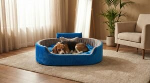 dog bed, premium dog bed, orthopedic dog bed, soft dog bed, pet bed for dogs, comfortable dog bed, washable dog bed, dog bed with cushion, premium orthopedic dog bed for large dogs, soft and comfortable dog bed with cushion, durable dog bed with PU foam support, luxury pet bed for small and medium dogs, breathable dog bed for summer and winter, stylish modern dog bed for home, lightweight dog bed easy to carry, dog bed with bone shape pillow, buy dog bed online India, best dog bed for home use, affordable premium dog bed, high quality pet bed India, dog bed under budget, cozy dog bed, luxury pet comfort bed, soft plush dog bed, designer dog bed, pet sleeping bed, dog sofa bed, dog lounger bed, pet sofa bed, round dog bed, donut dog bed, calming dog bed, anti anxiety dog bed, raised edge dog bed, bolster dog bed, dog bed with side support, dog bed with high walls, puppy bed, small dog bed, medium dog bed, large dog bed, extra large dog bed, indoor dog bed, home pet bed, dog sleeping cushion, thick padded dog bed, fluffy dog bed, soft foam dog bed, PU foam dog bed, fiber filled dog bed, eco friendly dog bed, skin friendly dog bed, hypoallergenic dog bed, non toxic pet bed, durable pet bedding, long lasting dog bed, tear resistant dog bed, chew resistant dog bed, easy to clean dog bed, machine washable pet bed, removable cover dog bed, portable dog bed, travel dog bed, foldable dog bed, lightweight pet bed, luxury dog sofa, premium pet mattress, designer pet furniture, modern pet bed, aesthetic dog bed, comfortable pet mattress, pet relaxation bed, cozy pet nest, warm dog bed for winter, cool breathable dog bed for summer, all season dog bed, anti slip base dog bed, waterproof dog bed, indoor luxury pet bed, dog bed for crate, dog bed for living room, pet accessories dog bed, best selling dog bed, trending pet products, affordable pet bedding India, online pet supplies India