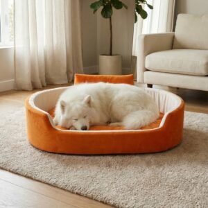 dog bed, premium dog bed, orthopedic dog bed, soft dog bed, pet bed for dogs, comfortable dog bed, washable dog bed, dog bed with cushion, premium orthopedic dog bed for large dogs, soft and comfortable dog bed with cushion, durable dog bed with PU foam support, luxury pet bed for small and medium dogs, breathable dog bed for summer and winter, stylish modern dog bed for home, lightweight dog bed easy to carry, dog bed with bone shape pillow, buy dog bed online India, best dog bed for home use, affordable premium dog bed, high quality pet bed India, dog bed under budget, cozy dog bed, luxury pet comfort bed, soft plush dog bed, designer dog bed, pet sleeping bed, dog sofa bed, dog lounger bed, pet sofa bed, round dog bed, donut dog bed, calming dog bed, anti anxiety dog bed, raised edge dog bed, bolster dog bed, dog bed with side support, dog bed with high walls, puppy bed, small dog bed, medium dog bed, large dog bed, extra large dog bed, indoor dog bed, home pet bed, dog sleeping cushion, thick padded dog bed, fluffy dog bed, soft foam dog bed, PU foam dog bed, fiber filled dog bed, eco friendly dog bed, skin friendly dog bed, hypoallergenic dog bed, non toxic pet bed, durable pet bedding, long lasting dog bed, tear resistant dog bed, chew resistant dog bed, easy to clean dog bed, machine washable pet bed, removable cover dog bed, portable dog bed, travel dog bed, foldable dog bed, lightweight pet bed, luxury dog sofa, premium pet mattress, designer pet furniture, modern pet bed, aesthetic dog bed, comfortable pet mattress, pet relaxation bed, cozy pet nest, warm dog bed for winter, cool breathable dog bed for summer, all season dog bed, anti slip base dog bed, waterproof dog bed, indoor luxury pet bed, dog bed for crate, dog bed for living room, pet accessories dog bed, best selling dog bed, trending pet products, affordable pet bedding India, online pet supplies India