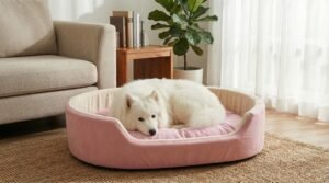 dog bed, premium dog bed, orthopedic dog bed, soft dog bed, pet bed for dogs, comfortable dog bed, washable dog bed, dog bed with cushion, premium orthopedic dog bed for large dogs, soft and comfortable dog bed with cushion, durable dog bed with PU foam support, luxury pet bed for small and medium dogs, breathable dog bed for summer and winter, stylish modern dog bed for home, lightweight dog bed easy to carry, dog bed with bone shape pillow, buy dog bed online India, best dog bed for home use, affordable premium dog bed, high quality pet bed India, dog bed under budget, cozy dog bed, luxury pet comfort bed, soft plush dog bed, designer dog bed, pet sleeping bed, dog sofa bed, dog lounger bed, pet sofa bed, round dog bed, donut dog bed, calming dog bed, anti anxiety dog bed, raised edge dog bed, bolster dog bed, dog bed with side support, dog bed with high walls, puppy bed, small dog bed, medium dog bed, large dog bed, extra large dog bed, indoor dog bed, home pet bed, dog sleeping cushion, thick padded dog bed, fluffy dog bed, soft foam dog bed, PU foam dog bed, fiber filled dog bed, eco friendly dog bed, skin friendly dog bed, hypoallergenic dog bed, non toxic pet bed, durable pet bedding, long lasting dog bed, tear resistant dog bed, chew resistant dog bed, easy to clean dog bed, machine washable pet bed, removable cover dog bed, portable dog bed, travel dog bed, foldable dog bed, lightweight pet bed, luxury dog sofa, premium pet mattress, designer pet furniture, modern pet bed, aesthetic dog bed, comfortable pet mattress, pet relaxation bed, cozy pet nest, warm dog bed for winter, cool breathable dog bed for summer, all season dog bed, anti slip base dog bed, waterproof dog bed, indoor luxury pet bed, dog bed for crate, dog bed for living room, pet accessories dog bed, best selling dog bed, trending pet products, affordable pet bedding India, online pet supplies India