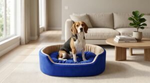 dog bed, premium dog bed, orthopedic dog bed, soft dog bed, pet bed for dogs, comfortable dog bed, washable dog bed, dog bed with cushion, premium orthopedic dog bed for large dogs, soft and comfortable dog bed with cushion, durable dog bed with PU foam support, luxury pet bed for small and medium dogs, breathable dog bed for summer and winter, stylish modern dog bed for home, lightweight dog bed easy to carry, dog bed with bone shape pillow, buy dog bed online India, best dog bed for home use, affordable premium dog bed, high quality pet bed India, dog bed under budget, cozy dog bed, luxury pet comfort bed, soft plush dog bed, designer dog bed, pet sleeping bed, dog sofa bed, dog lounger bed, pet sofa bed, round dog bed, donut dog bed, calming dog bed, anti anxiety dog bed, raised edge dog bed, bolster dog bed, dog bed with side support, dog bed with high walls, puppy bed, small dog bed, medium dog bed, large dog bed, extra large dog bed, indoor dog bed, home pet bed, dog sleeping cushion, thick padded dog bed, fluffy dog bed, soft foam dog bed, PU foam dog bed, fiber filled dog bed, eco friendly dog bed, skin friendly dog bed, hypoallergenic dog bed, non toxic pet bed, durable pet bedding, long lasting dog bed, tear resistant dog bed, chew resistant dog bed, easy to clean dog bed, machine washable pet bed, removable cover dog bed, portable dog bed, travel dog bed, foldable dog bed, lightweight pet bed, luxury dog sofa, premium pet mattress, designer pet furniture, modern pet bed, aesthetic dog bed, comfortable pet mattress, pet relaxation bed, cozy pet nest, warm dog bed for winter, cool breathable dog bed for summer, all season dog bed, anti slip base dog bed, waterproof dog bed, indoor luxury pet bed, dog bed for crate, dog bed for living room, pet accessories dog bed, best selling dog bed, trending pet products, affordable pet bedding India, online pet supplies India