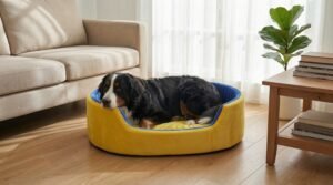 dog bed, premium dog bed, orthopedic dog bed, soft dog bed, pet bed for dogs, comfortable dog bed, washable dog bed, dog bed with cushion, premium orthopedic dog bed for large dogs, soft and comfortable dog bed with cushion, durable dog bed with PU foam support, luxury pet bed for small and medium dogs, breathable dog bed for summer and winter, stylish modern dog bed for home, lightweight dog bed easy to carry, dog bed with bone shape pillow, buy dog bed online India, best dog bed for home use, affordable premium dog bed, high quality pet bed India, dog bed under budget, cozy dog bed, luxury pet comfort bed, soft plush dog bed, designer dog bed, pet sleeping bed, dog sofa bed, dog lounger bed, pet sofa bed, round dog bed, donut dog bed, calming dog bed, anti anxiety dog bed, raised edge dog bed, bolster dog bed, dog bed with side support, dog bed with high walls, puppy bed, small dog bed, medium dog bed, large dog bed, extra large dog bed, indoor dog bed, home pet bed, dog sleeping cushion, thick padded dog bed, fluffy dog bed, soft foam dog bed, PU foam dog bed, fiber filled dog bed, eco friendly dog bed, skin friendly dog bed, hypoallergenic dog bed, non toxic pet bed, durable pet bedding, long lasting dog bed, tear resistant dog bed, chew resistant dog bed, easy to clean dog bed, machine washable pet bed, removable cover dog bed, portable dog bed, travel dog bed, foldable dog bed, lightweight pet bed, luxury dog sofa, premium pet mattress, designer pet furniture, modern pet bed, aesthetic dog bed, comfortable pet mattress, pet relaxation bed, cozy pet nest, warm dog bed for winter, cool breathable dog bed for summer, all season dog bed, anti slip base dog bed, waterproof dog bed, indoor luxury pet bed, dog bed for crate, dog bed for living room, pet accessories dog bed, best selling dog bed, trending pet products, affordable pet bedding India, online pet supplies India