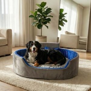 dog bed, premium dog bed, orthopedic dog bed, soft dog bed, pet bed for dogs, comfortable dog bed, washable dog bed, dog bed with cushion, premium orthopedic dog bed for large dogs, soft and comfortable dog bed with cushion, durable dog bed with PU foam support, luxury pet bed for small and medium dogs, breathable dog bed for summer and winter, stylish modern dog bed for home, lightweight dog bed easy to carry, dog bed with bone shape pillow, buy dog bed online India, best dog bed for home use, affordable premium dog bed, high quality pet bed India, dog bed under budget, cozy dog bed, luxury pet comfort bed, soft plush dog bed, designer dog bed, pet sleeping bed, dog sofa bed, dog lounger bed, pet sofa bed, round dog bed, donut dog bed, calming dog bed, anti anxiety dog bed, raised edge dog bed, bolster dog bed, dog bed with side support, dog bed with high walls, puppy bed, small dog bed, medium dog bed, large dog bed, extra large dog bed, indoor dog bed, home pet bed, dog sleeping cushion, thick padded dog bed, fluffy dog bed, soft foam dog bed, PU foam dog bed, fiber filled dog bed, eco friendly dog bed, skin friendly dog bed, hypoallergenic dog bed, non toxic pet bed, durable pet bedding, long lasting dog bed, tear resistant dog bed, chew resistant dog bed, easy to clean dog bed, machine washable pet bed, removable cover dog bed, portable dog bed, travel dog bed, foldable dog bed, lightweight pet bed, luxury dog sofa, premium pet mattress, designer pet furniture, modern pet bed, aesthetic dog bed, comfortable pet mattress, pet relaxation bed, cozy pet nest, warm dog bed for winter, cool breathable dog bed for summer, all season dog bed, anti slip base dog bed, waterproof dog bed, indoor luxury pet bed, dog bed for crate, dog bed for living room, pet accessories dog bed, best selling dog bed, trending pet products, affordable pet bedding India, online pet supplies India