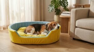 dog bed, premium dog bed, orthopedic dog bed, soft dog bed, pet bed for dogs, comfortable dog bed, washable dog bed, dog bed with cushion, premium orthopedic dog bed for large dogs, soft and comfortable dog bed with cushion, durable dog bed with PU foam support, luxury pet bed for small and medium dogs, breathable dog bed for summer and winter, stylish modern dog bed for home, lightweight dog bed easy to carry, dog bed with bone shape pillow, buy dog bed online India, best dog bed for home use, affordable premium dog bed, high quality pet bed India, dog bed under budget, cozy dog bed, luxury pet comfort bed, soft plush dog bed, designer dog bed, pet sleeping bed, dog sofa bed, dog lounger bed, pet sofa bed, round dog bed, donut dog bed, calming dog bed, anti anxiety dog bed, raised edge dog bed, bolster dog bed, dog bed with side support, dog bed with high walls, puppy bed, small dog bed, medium dog bed, large dog bed, extra large dog bed, indoor dog bed, home pet bed, dog sleeping cushion, thick padded dog bed, fluffy dog bed, soft foam dog bed, PU foam dog bed, fiber filled dog bed, eco friendly dog bed, skin friendly dog bed, hypoallergenic dog bed, non toxic pet bed, durable pet bedding, long lasting dog bed, tear resistant dog bed, chew resistant dog bed, easy to clean dog bed, machine washable pet bed, removable cover dog bed, portable dog bed, travel dog bed, foldable dog bed, lightweight pet bed, luxury dog sofa, premium pet mattress, designer pet furniture, modern pet bed, aesthetic dog bed, comfortable pet mattress, pet relaxation bed, cozy pet nest, warm dog bed for winter, cool breathable dog bed for summer, all season dog bed, anti slip base dog bed, waterproof dog bed, indoor luxury pet bed, dog bed for crate, dog bed for living room, pet accessories dog bed, best selling dog bed, trending pet products, affordable pet bedding India, online pet supplies India