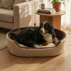 Skip to main contentSkip to toolbar About WordPress Furry Smile Live 22 updates available 00 Comments in moderation New View product Stats xstoreXStore XStore Builders Sales Booster Howdy, Ashish Kumar Edit Product Store Activity Activityunread activity Screen OptionsHelp Edit product Add new product The “ShopMagic for Twilio” plugin cannot run without ShopMagic for WooCommerce active. Please install and activate ShopMagic for WooCommerce plugin. Elementor Data Updater Database update process is running in the background. Taking a while? Product name Luxury Orthopedic Dog Bed Blue & Yellow | Soft Comfortable Pet Bed For Small, Medium And Large Dogs Skip to Editor Permalink: https://furrysmile.in/product/luxury-orthopedi…-bed-blue-yellow/ ‎Edit Edit with Elementor Product description Add Media Add Contact Form VisualCode Heading 3 h3 » span » img Word count: 823 Draft saved at 3:03:10 pm. Last edited on March 23, 2026 at 3:02 pm Move upMove downToggle panel: Publish Preview(opens in a new tab) Status: Draft EditEdit status Visibility: Public EditEdit visibility Publish on: Mar 23, 2026 at 15:02 EditEdit date and time Catalog visibility: Shop and search results Edit Copy to a new draft Move to Trash Move upMove downToggle panel: Product image Unify with Elementor AI dog bed, premium dog bed, orthopedic dog bed, soft dog bed, pet bed for dogs, comfortable dog bed, washable dog bed, dog bed with cushion, premium orthopedic dog bed for large dogs, soft and comfortable dog bed with cushion, durable dog bed with PU foam support, luxury pet bed for small and medium dogs, breathable dog bed for summer and winter, stylish modern dog bed for home, lightweight dog bed easy to carry, dog bed with bone shape pillow, buy dog bed online India, best dog bed for home use, affordable premium dog bed, high quality pet bed India, dog bed under budget, cozy dog bed, luxury pet comfort bed, soft plush dog bed, designer dog bed, pet sleeping bed, dog sofa bed, dog lounger bed, pet sofa bed, round dog bed, donut dog bed, calming dog bed, anti anxiety dog bed, raised edge dog bed, bolster dog bed, dog bed with side support, dog bed with high walls, puppy bed, small dog bed, medium dog bed, large dog bed, extra large dog bed, indoor dog bed, home pet bed, dog sleeping cushion, thick padded dog bed, fluffy dog bed, soft foam dog bed, PU foam dog bed, fiber filled dog bed, eco friendly dog bed, skin friendly dog bed, hypoallergenic dog bed, non toxic pet bed, durable pet bedding, long lasting dog bed, tear resistant dog bed, chew resistant dog bed, easy to clean dog bed, machine washable pet bed, removable cover dog bed, portable dog bed, travel dog bed, foldable dog bed, lightweight pet bed, luxury dog sofa, premium pet mattress, designer pet furniture, modern pet bed, aesthetic dog bed, comfortable pet mattress, pet relaxation bed, cozy pet nest, warm dog bed for winter, cool breathable dog bed for summer, all season dog bed, anti slip base dog bed, waterproof dog bed, indoor luxury pet bed, dog bed for crate, dog bed for living room, pet accessories dog bed, best selling dog bed, trending pet products, affordable pet bedding India, online pet supplies India Click the image to edit or update Remove product image Move upMove downToggle panel: Product gallery Unify with Elementor AI dog bed, premium dog bed, orthopedic dog bed, soft dog bed, pet bed for dogs, comfortable dog bed, washable dog bed, dog bed with cushion, premium orthopedic dog bed for large dogs, soft and comfortable dog bed with cushion, durable dog bed with PU foam support, luxury pet bed for small and medium dogs, breathable dog bed for summer and winter, stylish modern dog bed for home, lightweight dog bed easy to carry, dog bed with bone shape pillow, buy dog bed online India, best dog bed for home use, affordable premium dog bed, high quality pet bed India, dog bed under budget, cozy dog bed, luxury pet comfort bed, soft plush dog bed, designer dog bed, pet sleeping bed, dog sofa bed, dog lounger bed, pet sofa bed, round dog bed, donut dog bed, calming dog bed, anti anxiety dog bed, raised edge dog bed, bolster dog bed, dog bed with side support, dog bed with high walls, puppy bed, small dog bed, medium dog bed, large dog bed, extra large dog bed, indoor dog bed, home pet bed, dog sleeping cushion, thick padded dog bed, fluffy dog bed, soft foam dog bed, PU foam dog bed, fiber filled dog bed, eco friendly dog bed, skin friendly dog bed, hypoallergenic dog bed, non toxic pet bed, durable pet bedding, long lasting dog bed, tear resistant dog bed, chew resistant dog bed, easy to clean dog bed, machine washable pet bed, removable cover dog bed, portable dog bed, travel dog bed, foldable dog bed, lightweight pet bed, luxury dog sofa, premium pet mattress, designer pet furniture, modern pet bed, aesthetic dog bed, comfortable pet mattress, pet relaxation bed, cozy pet nest, warm dog bed for winter, cool breathable dog bed for summer, all season dog bed, anti slip base dog bed, waterproof dog bed, indoor luxury pet bed, dog bed for crate, dog bed for living room, pet accessories dog bed, best selling dog bed, trending pet products, affordable pet bedding India, online pet supplies Indiadog bed, premium dog bed, orthopedic dog bed, soft dog bed, pet bed for dogs, comfortable dog bed, washable dog bed, dog bed with cushion, premium orthopedic dog bed for large dogs, soft and comfortable dog bed with cushion, durable dog bed with PU foam support, luxury pet bed for small and medium dogs, breathable dog bed for summer and winter, stylish modern dog bed for home, lightweight dog bed easy to carry, dog bed with bone shape pillow, buy dog bed online India, best dog bed for home use, affordable premium dog bed, high quality pet bed India, dog bed under budget, cozy dog bed, luxury pet comfort bed, soft plush dog bed, designer dog bed, pet sleeping bed, dog sofa bed, dog lounger bed, pet sofa bed, round dog bed, donut dog bed, calming dog bed, anti anxiety dog bed, raised edge dog bed, bolster dog bed, dog bed with side support, dog bed with high walls, puppy bed, small dog bed, medium dog bed, large dog bed, extra large dog bed, indoor dog bed, home pet bed, dog sleeping cushion, thick padded dog bed, fluffy dog bed, soft foam dog bed, PU foam dog bed, fiber filled dog bed, eco friendly dog bed, skin friendly dog bed, hypoallergenic dog bed, non toxic pet bed, durable pet bedding, long lasting dog bed, tear resistant dog bed, chew resistant dog bed, easy to clean dog bed, machine washable pet bed, removable cover dog bed, portable dog bed, travel dog bed, foldable dog bed, lightweight pet bed, luxury dog sofa, premium pet mattress, designer pet furniture, modern pet bed, aesthetic dog bed, comfortable pet mattress, pet relaxation bed, cozy pet nest, warm dog bed for winter, cool breathable dog bed for summer, all season dog bed, anti slip base dog bed, waterproof dog bed, indoor luxury pet bed, dog bed for crate, dog bed for living room, pet accessories dog bed, best selling dog bed, trending pet products, affordable pet bedding India, online pet supplies Indiadog bed, premium dog bed, orthopedic dog bed, soft dog bed, pet bed for dogs, comfortable dog bed, washable dog bed, dog bed with cushion, premium orthopedic dog bed for large dogs, soft and comfortable dog bed with cushion, durable dog bed with PU foam support, luxury pet bed for small and medium dogs, breathable dog bed for summer and winter, stylish modern dog bed for home, lightweight dog bed easy to carry, dog bed with bone shape pillow, buy dog bed online India, best dog bed for home use, affordable premium dog bed, high quality pet bed India, dog bed under budget, cozy dog bed, luxury pet comfort bed, soft plush dog bed, designer dog bed, pet sleeping bed, dog sofa bed, dog lounger bed, pet sofa bed, round dog bed, donut dog bed, calming dog bed, anti anxiety dog bed, raised edge dog bed, bolster dog bed, dog bed with side support, dog bed with high walls, puppy bed, small dog bed, medium dog bed, large dog bed, extra large dog bed, indoor dog bed, home pet bed, dog sleeping cushion, thick padded dog bed, fluffy dog bed, soft foam dog bed, PU foam dog bed, fiber filled dog bed, eco friendly dog bed, skin friendly dog bed, hypoallergenic dog bed, non toxic pet bed, durable pet bedding, long lasting dog bed, tear resistant dog bed, chew resistant dog bed, easy to clean dog bed, machine washable pet bed, removable cover dog bed, portable dog bed, travel dog bed, foldable dog bed, lightweight pet bed, luxury dog sofa, premium pet mattress, designer pet furniture, modern pet bed, aesthetic dog bed, comfortable pet mattress, pet relaxation bed, cozy pet nest, warm dog bed for winter, cool breathable dog bed for summer, all season dog bed, anti slip base dog bed, waterproof dog bed, indoor luxury pet bed, dog bed for crate, dog bed for living room, pet accessories dog bed, best selling dog bed, trending pet products, affordable pet bedding India, online pet supplies India Add product gallery images Move upMove downToggle panel: Product categories All categories Most Used Uncategorized Luxury Dog Bed Dog Bed With Collar Dog Bed With Collar & Pillow Dog Bed With Pillow Simple Dog Bed + Add new category Move upMove downToggle panel: Product tags Add new tag Separate tags with commas Remove term: anti anxiety dog bed anti anxiety dog bedRemove term: bolster dog bed bolster dog bedRemove term: breathable dog bed breathable dog bedRemove term: calming dog bed calming dog bedRemove term: comfortable dog bed comfortable dog bedRemove term: cozy dog bed cozy dog bedRemove term: dog accessories dog accessoriesRemove term: Dog Bed Dog BedRemove term: dog bed with cushion dog bed with cushionRemove term: dog bed with pillow dog bed with pillowRemove term: dog lounger bed dog lounger bedRemove term: dog mattress dog mattressRemove term: dog sofa bed dog sofa bedRemove term: donut dog bed donut dog bedRemove term: durable dog bed durable dog bedRemove term: indoor dog bed indoor dog bedRemove term: large dog bed large dog bedRemove term: lightweight dog bed lightweight dog bedRemove term: luxury dog bed luxury dog bedRemove term: medium dog bed medium dog bedRemove term: modern dog bed modern dog bedRemove term: Orthopedic dog bed Orthopedic dog bedRemove term: Pet Bed Pet BedRemove term: pet bedding pet beddingRemove term: pet sleeping bed pet sleeping bedRemove term: premium dog bed premium dog bedRemove term: Puppy bed Puppy bedRemove term: small dog bed small dog bedRemove term: Soft dog bed Soft dog bedRemove term: washable dog bed washable dog bed Choose from the most used tags Move upMove downToggle panel: XStore Brands All Brands Most Used + Add New Brand Move upMove downToggle panel: Brands All Brands Most Used Furry Smile + Add New Brand Move upMove downToggle panel: Post Attributes Template Default template Move upMove downToggle panel: LiteSpeed Disable Cache Disable Image Lazyload Disable VPI Viewport Images Viewport Images - Mobile Learn More Move upMove downToggle panel: Product Video Upload your Video in 3 formats: MP4, OGG and WEBM Add product gallery video Autoplay product gallery video on single product page. Video will be muted. Or you can use YouTube or Vimeo iframe code Expand More video settings: You may change the positions of your video in product gallery on single product page. You may use video instead of featured image for product archive pages. Variable product Move upMove downToggle panel: Product data General Inventory Shipping Linked Products Attributes Variations Swatches Settings Advanced Pinterest Quantity type XStore Tax status Taxable Tax class Standard Move upMove downToggle panel: Product short description Add Media Add Contact FormVisualCode Paragraph Move upMove downToggle panel: XStore Options General Single layout Archive page XStore AI Assistant Primary category --Auto-- Sale countdown Disable NotificationsPermalink saved Close dialog Replace image Upload filesMedia Library Filter mediaFilter by type Images Filter by date All dates Search media Media list Showing 89 of 1606 media items Load more Attachment Details 4-72.jpeg March 23, 2026 499 KB 1500 by 837 pixels Edit with Elementor AI Edit Image Delete permanently Alt Text dog bed, premium dog bed, orthopedic dog bed, soft dog bed, pet bed for dogs, comfortable dog bed, washable dog bed, dog bed with cushion, premium orthopedic dog bed for large dogs, soft and comfortable dog bed with cushion, durable dog bed with PU foam support, luxury pet bed for small and medium dogs, breathable dog bed for summer and winter, stylish modern dog bed for home, lightweight dog bed easy to carry, dog bed with bone shape pillow, buy dog bed online India, best dog bed for home use, affordable premium dog bed, high quality pet bed India, dog bed under budget, cozy dog bed, luxury pet comfort bed, soft plush dog bed, designer dog bed, pet sleeping bed, dog sofa bed, dog lounger bed, pet sofa bed, round dog bed, donut dog bed, calming dog bed, anti anxiety dog bed, raised edge dog bed, bolster dog bed, dog bed with side support, dog bed with high walls, puppy bed, small dog bed, medium dog bed, large dog bed, extra large dog bed, indoor dog bed, home pet bed, dog sleeping cushion, thick padded dog bed, fluffy dog bed, soft foam dog bed, PU foam dog bed, fiber filled dog bed, eco friendly dog bed, skin friendly dog bed, hypoallergenic dog bed, non toxic pet bed, durable pet bedding, long lasting dog bed, tear resistant dog bed, chew resistant dog bed, easy to clean dog bed, machine washable pet bed, removable cover dog bed, portable dog bed, travel dog bed, foldable dog bed, lightweight pet bed, luxury dog sofa, premium pet mattress, designer pet furniture, modern pet bed, aesthetic dog bed, comfortable pet mattress, pet relaxation bed, cozy pet nest, warm dog bed for winter, cool breathable dog bed for summer, all season dog bed, anti slip base dog bed, waterproof dog bed, indoor luxury pet bed, dog bed for crate, dog bed for living room, pet accessories dog bed, best selling dog bed, trending pet products, affordable pet bedding India, online pet supplies India Learn how to describe the purpose of the image(opens in a new tab). Leave empty if the image is purely decorative.Title 4 Caption Description dog bed, premium dog bed, orthopedic dog bed, soft dog bed, pet bed for dogs, comfortable dog bed, washable dog bed, dog bed with cushion, premium orthopedic dog bed for large dogs, soft and comfortable dog bed with cushion, durable dog bed with PU foam support, luxury pet bed for small and medium dogs, breathable dog bed for summer and winter, stylish modern dog bed for home, lightweight dog bed easy to carry, dog bed with bone shape pillow, buy dog bed online India, best dog bed for home use, affordable premium dog bed, high quality pet bed India, dog bed under budget, cozy dog bed, luxury pet comfort bed, soft plush dog bed, designer dog bed, pet sleeping bed, dog sofa bed, dog lounger bed, pet sofa bed, round dog bed, donut dog bed, calming dog bed, anti anxiety dog bed, raised edge dog bed, bolster dog bed, dog bed with side support, dog bed with high walls, puppy bed, small dog bed, medium dog bed, large dog bed, extra large dog bed, indoor dog bed, home pet bed, dog sleeping cushion, thick padded dog bed, fluffy dog bed, soft foam dog bed, PU foam dog bed, fiber filled dog bed, eco friendly dog bed, skin friendly dog bed, hypoallergenic dog bed, non toxic pet bed, durable pet bedding, long lasting dog bed, tear resistant dog bed, chew resistant dog bed, easy to clean dog bed, machine washable pet bed, removable cover dog bed, portable dog bed, travel dog bed, foldable dog bed, lightweight pet bed, luxury dog sofa, premium pet mattress, designer pet furniture, modern pet bed, aesthetic dog bed, comfortable pet mattress, pet relaxation bed, cozy pet nest, warm dog bed for winter, cool breathable dog bed for summer, all season dog bed, anti slip base dog bed, waterproof dog bed, indoor luxury pet bed, dog bed for crate, dog bed for living room, pet accessories dog bed, best selling dog bed, trending pet products, affordable pet bedding India, online pet supplies India File URL: https://furrysmile.in/wp-content/uploads/2026/03/4-72.jpeg Copy URL to clipboard Attachment Display Settings Alignment None Link To None Size Medium – 300 × 167 Selected media actionsReplaceBack No file chosenSkip to main contentSkip to toolbar About WordPress Furry Smile Live 22 updates available 00 Comments in moderation New View product Stats xstoreXStore XStore Builders Sales Booster Howdy, Ashish Kumar Edit Product Store Activity Activityunread activity Screen OptionsHelp Edit product Add new product The “ShopMagic for Twilio” plugin cannot run without ShopMagic for WooCommerce active. Please install and activate ShopMagic for WooCommerce plugin. Elementor Data Updater Database update process is running in the background. Taking a while? Product name Luxury Orthopedic Dog Bed Blue & Yellow | Soft Comfortable Pet Bed For Small, Medium And Large Dogs Skip to Editor Permalink: https://furrysmile.in/product/luxury-orthopedi…-bed-blue-yellow/ ‎Edit Edit with Elementor Product description Add Media Add Contact Form VisualCode Heading 3 h3 » span » img Word count: 823 Draft saved at 3:03:10 pm. Last edited on March 23, 2026 at 3:02 pm Move upMove downToggle panel: Publish Preview(opens in a new tab) Status: Draft EditEdit status Visibility: Public EditEdit visibility Publish on: Mar 23, 2026 at 15:02 EditEdit date and time Catalog visibility: Shop and search results Edit Copy to a new draft Move to Trash Move upMove downToggle panel: Product image Unify with Elementor AI dog bed, premium dog bed, orthopedic dog bed, soft dog bed, pet bed for dogs, comfortable dog bed, washable dog bed, dog bed with cushion, premium orthopedic dog bed for large dogs, soft and comfortable dog bed with cushion, durable dog bed with PU foam support, luxury pet bed for small and medium dogs, breathable dog bed for summer and winter, stylish modern dog bed for home, lightweight dog bed easy to carry, dog bed with bone shape pillow, buy dog bed online India, best dog bed for home use, affordable premium dog bed, high quality pet bed India, dog bed under budget, cozy dog bed, luxury pet comfort bed, soft plush dog bed, designer dog bed, pet sleeping bed, dog sofa bed, dog lounger bed, pet sofa bed, round dog bed, donut dog bed, calming dog bed, anti anxiety dog bed, raised edge dog bed, bolster dog bed, dog bed with side support, dog bed with high walls, puppy bed, small dog bed, medium dog bed, large dog bed, extra large dog bed, indoor dog bed, home pet bed, dog sleeping cushion, thick padded dog bed, fluffy dog bed, soft foam dog bed, PU foam dog bed, fiber filled dog bed, eco friendly dog bed, skin friendly dog bed, hypoallergenic dog bed, non toxic pet bed, durable pet bedding, long lasting dog bed, tear resistant dog bed, chew resistant dog bed, easy to clean dog bed, machine washable pet bed, removable cover dog bed, portable dog bed, travel dog bed, foldable dog bed, lightweight pet bed, luxury dog sofa, premium pet mattress, designer pet furniture, modern pet bed, aesthetic dog bed, comfortable pet mattress, pet relaxation bed, cozy pet nest, warm dog bed for winter, cool breathable dog bed for summer, all season dog bed, anti slip base dog bed, waterproof dog bed, indoor luxury pet bed, dog bed for crate, dog bed for living room, pet accessories dog bed, best selling dog bed, trending pet products, affordable pet bedding India, online pet supplies India Click the image to edit or update Remove product image Move upMove downToggle panel: Product gallery Unify with Elementor AI dog bed, premium dog bed, orthopedic dog bed, soft dog bed, pet bed for dogs, comfortable dog bed, washable dog bed, dog bed with cushion, premium orthopedic dog bed for large dogs, soft and comfortable dog bed with cushion, durable dog bed with PU foam support, luxury pet bed for small and medium dogs, breathable dog bed for summer and winter, stylish modern dog bed for home, lightweight dog bed easy to carry, dog bed with bone shape pillow, buy dog bed online India, best dog bed for home use, affordable premium dog bed, high quality pet bed India, dog bed under budget, cozy dog bed, luxury pet comfort bed, soft plush dog bed, designer dog bed, pet sleeping bed, dog sofa bed, dog lounger bed, pet sofa bed, round dog bed, donut dog bed, calming dog bed, anti anxiety dog bed, raised edge dog bed, bolster dog bed, dog bed with side support, dog bed with high walls, puppy bed, small dog bed, medium dog bed, large dog bed, extra large dog bed, indoor dog bed, home pet bed, dog sleeping cushion, thick padded dog bed, fluffy dog bed, soft foam dog bed, PU foam dog bed, fiber filled dog bed, eco friendly dog bed, skin friendly dog bed, hypoallergenic dog bed, non toxic pet bed, durable pet bedding, long lasting dog bed, tear resistant dog bed, chew resistant dog bed, easy to clean dog bed, machine washable pet bed, removable cover dog bed, portable dog bed, travel dog bed, foldable dog bed, lightweight pet bed, luxury dog sofa, premium pet mattress, designer pet furniture, modern pet bed, aesthetic dog bed, comfortable pet mattress, pet relaxation bed, cozy pet nest, warm dog bed for winter, cool breathable dog bed for summer, all season dog bed, anti slip base dog bed, waterproof dog bed, indoor luxury pet bed, dog bed for crate, dog bed for living room, pet accessories dog bed, best selling dog bed, trending pet products, affordable pet bedding India, online pet supplies Indiadog bed, premium dog bed, orthopedic dog bed, soft dog bed, pet bed for dogs, comfortable dog bed, washable dog bed, dog bed with cushion, premium orthopedic dog bed for large dogs, soft and comfortable dog bed with cushion, durable dog bed with PU foam support, luxury pet bed for small and medium dogs, breathable dog bed for summer and winter, stylish modern dog bed for home, lightweight dog bed easy to carry, dog bed with bone shape pillow, buy dog bed online India, best dog bed for home use, affordable premium dog bed, high quality pet bed India, dog bed under budget, cozy dog bed, luxury pet comfort bed, soft plush dog bed, designer dog bed, pet sleeping bed, dog sofa bed, dog lounger bed, pet sofa bed, round dog bed, donut dog bed, calming dog bed, anti anxiety dog bed, raised edge dog bed, bolster dog bed, dog bed with side support, dog bed with high walls, puppy bed, small dog bed, medium dog bed, large dog bed, extra large dog bed, indoor dog bed, home pet bed, dog sleeping cushion, thick padded dog bed, fluffy dog bed, soft foam dog bed, PU foam dog bed, fiber filled dog bed, eco friendly dog bed, skin friendly dog bed, hypoallergenic dog bed, non toxic pet bed, durable pet bedding, long lasting dog bed, tear resistant dog bed, chew resistant dog bed, easy to clean dog bed, machine washable pet bed, removable cover dog bed, portable dog bed, travel dog bed, foldable dog bed, lightweight pet bed, luxury dog sofa, premium pet mattress, designer pet furniture, modern pet bed, aesthetic dog bed, comfortable pet mattress, pet relaxation bed, cozy pet nest, warm dog bed for winter, cool breathable dog bed for summer, all season dog bed, anti slip base dog bed, waterproof dog bed, indoor luxury pet bed, dog bed for crate, dog bed for living room, pet accessories dog bed, best selling dog bed, trending pet products, affordable pet bedding India, online pet supplies Indiadog bed, premium dog bed, orthopedic dog bed, soft dog bed, pet bed for dogs, comfortable dog bed, washable dog bed, dog bed with cushion, premium orthopedic dog bed for large dogs, soft and comfortable dog bed with cushion, durable dog bed with PU foam support, luxury pet bed for small and medium dogs, breathable dog bed for summer and winter, stylish modern dog bed for home, lightweight dog bed easy to carry, dog bed with bone shape pillow, buy dog bed online India, best dog bed for home use, affordable premium dog bed, high quality pet bed India, dog bed under budget, cozy dog bed, luxury pet comfort bed, soft plush dog bed, designer dog bed, pet sleeping bed, dog sofa bed, dog lounger bed, pet sofa bed, round dog bed, donut dog bed, calming dog bed, anti anxiety dog bed, raised edge dog bed, bolster dog bed, dog bed with side support, dog bed with high walls, puppy bed, small dog bed, medium dog bed, large dog bed, extra large dog bed, indoor dog bed, home pet bed, dog sleeping cushion, thick padded dog bed, fluffy dog bed, soft foam dog bed, PU foam dog bed, fiber filled dog bed, eco friendly dog bed, skin friendly dog bed, hypoallergenic dog bed, non toxic pet bed, durable pet bedding, long lasting dog bed, tear resistant dog bed, chew resistant dog bed, easy to clean dog bed, machine washable pet bed, removable cover dog bed, portable dog bed, travel dog bed, foldable dog bed, lightweight pet bed, luxury dog sofa, premium pet mattress, designer pet furniture, modern pet bed, aesthetic dog bed, comfortable pet mattress, pet relaxation bed, cozy pet nest, warm dog bed for winter, cool breathable dog bed for summer, all season dog bed, anti slip base dog bed, waterproof dog bed, indoor luxury pet bed, dog bed for crate, dog bed for living room, pet accessories dog bed, best selling dog bed, trending pet products, affordable pet bedding India, online pet supplies India Add product gallery images Move upMove downToggle panel: Product categories All categories Most Used Uncategorized Luxury Dog Bed Dog Bed With Collar Dog Bed With Collar & Pillow Dog Bed With Pillow Simple Dog Bed + Add new category Move upMove downToggle panel: Product tags Add new tag Separate tags with commas Remove term: anti anxiety dog bed anti anxiety dog bedRemove term: bolster dog bed bolster dog bedRemove term: breathable dog bed breathable dog bedRemove term: calming dog bed calming dog bedRemove term: comfortable dog bed comfortable dog bedRemove term: cozy dog bed cozy dog bedRemove term: dog accessories dog accessoriesRemove term: Dog Bed Dog BedRemove term: dog bed with cushion dog bed with cushionRemove term: dog bed with pillow dog bed with pillowRemove term: dog lounger bed dog lounger bedRemove term: dog mattress dog mattressRemove term: dog sofa bed dog sofa bedRemove term: donut dog bed donut dog bedRemove term: durable dog bed durable dog bedRemove term: indoor dog bed indoor dog bedRemove term: large dog bed large dog bedRemove term: lightweight dog bed lightweight dog bedRemove term: luxury dog bed luxury dog bedRemove term: medium dog bed medium dog bedRemove term: modern dog bed modern dog bedRemove term: Orthopedic dog bed Orthopedic dog bedRemove term: Pet Bed Pet BedRemove term: pet bedding pet beddingRemove term: pet sleeping bed pet sleeping bedRemove term: premium dog bed premium dog bedRemove term: Puppy bed Puppy bedRemove term: small dog bed small dog bedRemove term: Soft dog bed Soft dog bedRemove term: washable dog bed washable dog bed Choose from the most used tags Move upMove downToggle panel: XStore Brands All Brands Most Used + Add New Brand Move upMove downToggle panel: Brands All Brands Most Used Furry Smile + Add New Brand Move upMove downToggle panel: Post Attributes Template Default template Move upMove downToggle panel: LiteSpeed Disable Cache Disable Image Lazyload Disable VPI Viewport Images Viewport Images - Mobile Learn More Move upMove downToggle panel: Product Video Upload your Video in 3 formats: MP4, OGG and WEBM Add product gallery video Autoplay product gallery video on single product page. Video will be muted. Or you can use YouTube or Vimeo iframe code Expand More video settings: You may change the positions of your video in product gallery on single product page. You may use video instead of featured image for product archive pages. Variable product Move upMove downToggle panel: Product data General Inventory Shipping Linked Products Attributes Variations Swatches Settings Advanced Pinterest Quantity type XStore Tax status Taxable Tax class Standard Move upMove downToggle panel: Product short description Add Media Add Contact FormVisualCode Paragraph Move upMove downToggle panel: XStore Options General Single layout Archive page XStore AI Assistant Primary category --Auto-- Sale countdown Disable NotificationsPermalink saved Close dialog Replace image Upload filesMedia Library Filter mediaFilter by type Images Filter by date All dates Search media Media list Showing 89 of 1606 media items Load more Attachment Details 4-72.jpeg March 23, 2026 499 KB 1500 by 837 pixels Edit with Elementor AI Edit Image Delete permanently Alt Text dog bed, premium dog bed, orthopedic dog bed, soft dog bed, pet bed for dogs, comfortable dog bed, washable dog bed, dog bed with cushion, premium orthopedic dog bed for large dogs, soft and comfortable dog bed with cushion, durable dog bed with PU foam support, luxury pet bed for small and medium dogs, breathable dog bed for summer and winter, stylish modern dog bed for home, lightweight dog bed easy to carry, dog bed with bone shape pillow, buy dog bed online India, best dog bed for home use, affordable premium dog bed, high quality pet bed India, dog bed under budget, cozy dog bed, luxury pet comfort bed, soft plush dog bed, designer dog bed, pet sleeping bed, dog sofa bed, dog lounger bed, pet sofa bed, round dog bed, donut dog bed, calming dog bed, anti anxiety dog bed, raised edge dog bed, bolster dog bed, dog bed with side support, dog bed with high walls, puppy bed, small dog bed, medium dog bed, large dog bed, extra large dog bed, indoor dog bed, home pet bed, dog sleeping cushion, thick padded dog bed, fluffy dog bed, soft foam dog bed, PU foam dog bed, fiber filled dog bed, eco friendly dog bed, skin friendly dog bed, hypoallergenic dog bed, non toxic pet bed, durable pet bedding, long lasting dog bed, tear resistant dog bed, chew resistant dog bed, easy to clean dog bed, machine washable pet bed, removable cover dog bed, portable dog bed, travel dog bed, foldable dog bed, lightweight pet bed, luxury dog sofa, premium pet mattress, designer pet furniture, modern pet bed, aesthetic dog bed, comfortable pet mattress, pet relaxation bed, cozy pet nest, warm dog bed for winter, cool breathable dog bed for summer, all season dog bed, anti slip base dog bed, waterproof dog bed, indoor luxury pet bed, dog bed for crate, dog bed for living room, pet accessories dog bed, best selling dog bed, trending pet products, affordable pet bedding India, online pet supplies India Learn how to describe the purpose of the image(opens in a new tab). Leave empty if the image is purely decorative.Title 4 Caption Description dog bed, premium dog bed, orthopedic dog bed, soft dog bed, pet bed for dogs, comfortable dog bed, washable dog bed, dog bed with cushion, premium orthopedic dog bed for large dogs, soft and comfortable dog bed with cushion, durable dog bed with PU foam support, luxury pet bed for small and medium dogs, breathable dog bed for summer and winter, stylish modern dog bed for home, lightweight dog bed easy to carry, dog bed with bone shape pillow, buy dog bed online India, best dog bed for home use, affordable premium dog bed, high quality pet bed India, dog bed under budget, cozy dog bed, luxury pet comfort bed, soft plush dog bed, designer dog bed, pet sleeping bed, dog sofa bed, dog lounger bed, pet sofa bed, round dog bed, donut dog bed, calming dog bed, anti anxiety dog bed, raised edge dog bed, bolster dog bed, dog bed with side support, dog bed with high walls, puppy bed, small dog bed, medium dog bed, large dog bed, extra large dog bed, indoor dog bed, home pet bed, dog sleeping cushion, thick padded dog bed, fluffy dog bed, soft foam dog bed, PU foam dog bed, fiber filled dog bed, eco friendly dog bed, skin friendly dog bed, hypoallergenic dog bed, non toxic pet bed, durable pet bedding, long lasting dog bed, tear resistant dog bed, chew resistant dog bed, easy to clean dog bed, machine washable pet bed, removable cover dog bed, portable dog bed, travel dog bed, foldable dog bed, lightweight pet bed, luxury dog sofa, premium pet mattress, designer pet furniture, modern pet bed, aesthetic dog bed, comfortable pet mattress, pet relaxation bed, cozy pet nest, warm dog bed for winter, cool breathable dog bed for summer, all season dog bed, anti slip base dog bed, waterproof dog bed, indoor luxury pet bed, dog bed for crate, dog bed for living room, pet accessories dog bed, best selling dog bed, trending pet products, affordable pet bedding India, online pet supplies India File URL: https://furrysmile.in/wp-content/uploads/2026/03/4-72.jpeg Copy URL to clipboard Attachment Display Settings Alignment None Link To None Size Medium – 300 × 167 Selected media actionsReplaceBack No file chosen