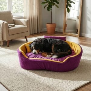 dog bed, premium dog bed, orthopedic dog bed, soft dog bed, pet bed for dogs, comfortable dog bed, washable dog bed, dog bed with cushion, premium orthopedic dog bed for large dogs, soft and comfortable dog bed with cushion, durable dog bed with PU foam support, luxury pet bed for small and medium dogs, breathable dog bed for summer and winter, stylish modern dog bed for home, lightweight dog bed easy to carry, dog bed with bone shape pillow, buy dog bed online India, best dog bed for home use, affordable premium dog bed, high quality pet bed India, dog bed under budget, cozy dog bed, luxury pet comfort bed, soft plush dog bed, designer dog bed, pet sleeping bed, dog sofa bed, dog lounger bed, pet sofa bed, round dog bed, donut dog bed, calming dog bed, anti anxiety dog bed, raised edge dog bed, bolster dog bed, dog bed with side support, dog bed with high walls, puppy bed, small dog bed, medium dog bed, large dog bed, extra large dog bed, indoor dog bed, home pet bed, dog sleeping cushion, thick padded dog bed, fluffy dog bed, soft foam dog bed, PU foam dog bed, fiber filled dog bed, eco friendly dog bed, skin friendly dog bed, hypoallergenic dog bed, non toxic pet bed, durable pet bedding, long lasting dog bed, tear resistant dog bed, chew resistant dog bed, easy to clean dog bed, machine washable pet bed, removable cover dog bed, portable dog bed, travel dog bed, foldable dog bed, lightweight pet bed, luxury dog sofa, premium pet mattress, designer pet furniture, modern pet bed, aesthetic dog bed, comfortable pet mattress, pet relaxation bed, cozy pet nest, warm dog bed for winter, cool breathable dog bed for summer, all season dog bed, anti slip base dog bed, waterproof dog bed, indoor luxury pet bed, dog bed for crate, dog bed for living room, pet accessories dog bed, best selling dog bed, trending pet products, affordable pet bedding India, online pet supplies India
