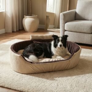 dog bed, premium dog bed, orthopedic dog bed, soft dog bed, pet bed for dogs, comfortable dog bed, washable dog bed, dog bed with cushion, premium orthopedic dog bed for large dogs, soft and comfortable dog bed with cushion, durable dog bed with PU foam support, luxury pet bed for small and medium dogs, breathable dog bed for summer and winter, stylish modern dog bed for home, lightweight dog bed easy to carry, dog bed with bone shape pillow, buy dog bed online India, best dog bed for home use, affordable premium dog bed, high quality pet bed India, dog bed under budget, cozy dog bed, luxury pet comfort bed, soft plush dog bed, designer dog bed, pet sleeping bed, dog sofa bed, dog lounger bed, pet sofa bed, round dog bed, donut dog bed, calming dog bed, anti anxiety dog bed, raised edge dog bed, bolster dog bed, dog bed with side support, dog bed with high walls, puppy bed, small dog bed, medium dog bed, large dog bed, extra large dog bed, indoor dog bed, home pet bed, dog sleeping cushion, thick padded dog bed, fluffy dog bed, soft foam dog bed, PU foam dog bed, fiber filled dog bed, eco friendly dog bed, skin friendly dog bed, hypoallergenic dog bed, non toxic pet bed, durable pet bedding, long lasting dog bed, tear resistant dog bed, chew resistant dog bed, easy to clean dog bed, machine washable pet bed, removable cover dog bed, portable dog bed, travel dog bed, foldable dog bed, lightweight pet bed, luxury dog sofa, premium pet mattress, designer pet furniture, modern pet bed, aesthetic dog bed, comfortable pet mattress, pet relaxation bed, cozy pet nest, warm dog bed for winter, cool breathable dog bed for summer, all season dog bed, anti slip base dog bed, waterproof dog bed, indoor luxury pet bed, dog bed for crate, dog bed for living room, pet accessories dog bed, best selling dog bed, trending pet products, affordable pet bedding India, online pet supplies India
