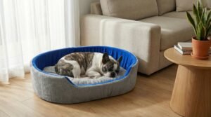 dog bed, premium dog bed, orthopedic dog bed, soft dog bed, pet bed for dogs, comfortable dog bed, washable dog bed, dog bed with cushion, premium orthopedic dog bed for large dogs, soft and comfortable dog bed with cushion, durable dog bed with PU foam support, luxury pet bed for small and medium dogs, breathable dog bed for summer and winter, stylish modern dog bed for home, lightweight dog bed easy to carry, dog bed with bone shape pillow, buy dog bed online India, best dog bed for home use, affordable premium dog bed, high quality pet bed India, dog bed under budget, cozy dog bed, luxury pet comfort bed, soft plush dog bed, designer dog bed, pet sleeping bed, dog sofa bed, dog lounger bed, pet sofa bed, round dog bed, donut dog bed, calming dog bed, anti anxiety dog bed, raised edge dog bed, bolster dog bed, dog bed with side support, dog bed with high walls, puppy bed, small dog bed, medium dog bed, large dog bed, extra large dog bed, indoor dog bed, home pet bed, dog sleeping cushion, thick padded dog bed, fluffy dog bed, soft foam dog bed, PU foam dog bed, fiber filled dog bed, eco friendly dog bed, skin friendly dog bed, hypoallergenic dog bed, non toxic pet bed, durable pet bedding, long lasting dog bed, tear resistant dog bed, chew resistant dog bed, easy to clean dog bed, machine washable pet bed, removable cover dog bed, portable dog bed, travel dog bed, foldable dog bed, lightweight pet bed, luxury dog sofa, premium pet mattress, designer pet furniture, modern pet bed, aesthetic dog bed, comfortable pet mattress, pet relaxation bed, cozy pet nest, warm dog bed for winter, cool breathable dog bed for summer, all season dog bed, anti slip base dog bed, waterproof dog bed, indoor luxury pet bed, dog bed for crate, dog bed for living room, pet accessories dog bed, best selling dog bed, trending pet products, affordable pet bedding India, online pet supplies India