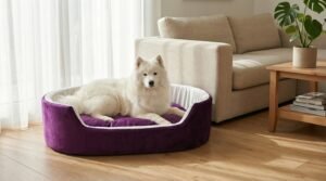 dog bed, premium dog bed, orthopedic dog bed, soft dog bed, pet bed for dogs, comfortable dog bed, washable dog bed, dog bed with cushion, premium orthopedic dog bed for large dogs, soft and comfortable dog bed with cushion, durable dog bed with PU foam support, luxury pet bed for small and medium dogs, breathable dog bed for summer and winter, stylish modern dog bed for home, lightweight dog bed easy to carry, dog bed with bone shape pillow, buy dog bed online India, best dog bed for home use, affordable premium dog bed, high quality pet bed India, dog bed under budget, cozy dog bed, luxury pet comfort bed, soft plush dog bed, designer dog bed, pet sleeping bed, dog sofa bed, dog lounger bed, pet sofa bed, round dog bed, donut dog bed, calming dog bed, anti anxiety dog bed, raised edge dog bed, bolster dog bed, dog bed with side support, dog bed with high walls, puppy bed, small dog bed, medium dog bed, large dog bed, extra large dog bed, indoor dog bed, home pet bed, dog sleeping cushion, thick padded dog bed, fluffy dog bed, soft foam dog bed, PU foam dog bed, fiber filled dog bed, eco friendly dog bed, skin friendly dog bed, hypoallergenic dog bed, non toxic pet bed, durable pet bedding, long lasting dog bed, tear resistant dog bed, chew resistant dog bed, easy to clean dog bed, machine washable pet bed, removable cover dog bed, portable dog bed, travel dog bed, foldable dog bed, lightweight pet bed, luxury dog sofa, premium pet mattress, designer pet furniture, modern pet bed, aesthetic dog bed, comfortable pet mattress, pet relaxation bed, cozy pet nest, warm dog bed for winter, cool breathable dog bed for summer, all season dog bed, anti slip base dog bed, waterproof dog bed, indoor luxury pet bed, dog bed for crate, dog bed for living room, pet accessories dog bed, best selling dog bed, trending pet products, affordable pet bedding India, online pet supplies India