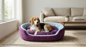 dog bed, premium dog bed, orthopedic dog bed, soft dog bed, pet bed for dogs, comfortable dog bed, washable dog bed, dog bed with cushion, premium orthopedic dog bed for large dogs, soft and comfortable dog bed with cushion, durable dog bed with PU foam support, luxury pet bed for small and medium dogs, breathable dog bed for summer and winter, stylish modern dog bed for home, lightweight dog bed easy to carry, dog bed with bone shape pillow, buy dog bed online India, best dog bed for home use, affordable premium dog bed, high quality pet bed India, dog bed under budget, cozy dog bed, luxury pet comfort bed, soft plush dog bed, designer dog bed, pet sleeping bed, dog sofa bed, dog lounger bed, pet sofa bed, round dog bed, donut dog bed, calming dog bed, anti anxiety dog bed, raised edge dog bed, bolster dog bed, dog bed with side support, dog bed with high walls, puppy bed, small dog bed, medium dog bed, large dog bed, extra large dog bed, indoor dog bed, home pet bed, dog sleeping cushion, thick padded dog bed, fluffy dog bed, soft foam dog bed, PU foam dog bed, fiber filled dog bed, eco friendly dog bed, skin friendly dog bed, hypoallergenic dog bed, non toxic pet bed, durable pet bedding, long lasting dog bed, tear resistant dog bed, chew resistant dog bed, easy to clean dog bed, machine washable pet bed, removable cover dog bed, portable dog bed, travel dog bed, foldable dog bed, lightweight pet bed, luxury dog sofa, premium pet mattress, designer pet furniture, modern pet bed, aesthetic dog bed, comfortable pet mattress, pet relaxation bed, cozy pet nest, warm dog bed for winter, cool breathable dog bed for summer, all season dog bed, anti slip base dog bed, waterproof dog bed, indoor luxury pet bed, dog bed for crate, dog bed for living room, pet accessories dog bed, best selling dog bed, trending pet products, affordable pet bedding India, online pet supplies India