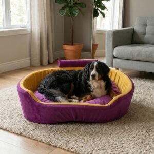 dog bed, premium dog bed, orthopedic dog bed, soft dog bed, pet bed for dogs, comfortable dog bed, washable dog bed, dog bed with cushion, premium orthopedic dog bed for large dogs, soft and comfortable dog bed with cushion, durable dog bed with PU foam support, luxury pet bed for small and medium dogs, breathable dog bed for summer and winter, stylish modern dog bed for home, lightweight dog bed easy to carry, dog bed with bone shape pillow, buy dog bed online India, best dog bed for home use, affordable premium dog bed, high quality pet bed India, dog bed under budget, cozy dog bed, luxury pet comfort bed, soft plush dog bed, designer dog bed, pet sleeping bed, dog sofa bed, dog lounger bed, pet sofa bed, round dog bed, donut dog bed, calming dog bed, anti anxiety dog bed, raised edge dog bed, bolster dog bed, dog bed with side support, dog bed with high walls, puppy bed, small dog bed, medium dog bed, large dog bed, extra large dog bed, indoor dog bed, home pet bed, dog sleeping cushion, thick padded dog bed, fluffy dog bed, soft foam dog bed, PU foam dog bed, fiber filled dog bed, eco friendly dog bed, skin friendly dog bed, hypoallergenic dog bed, non toxic pet bed, durable pet bedding, long lasting dog bed, tear resistant dog bed, chew resistant dog bed, easy to clean dog bed, machine washable pet bed, removable cover dog bed, portable dog bed, travel dog bed, foldable dog bed, lightweight pet bed, luxury dog sofa, premium pet mattress, designer pet furniture, modern pet bed, aesthetic dog bed, comfortable pet mattress, pet relaxation bed, cozy pet nest, warm dog bed for winter, cool breathable dog bed for summer, all season dog bed, anti slip base dog bed, waterproof dog bed, indoor luxury pet bed, dog bed for crate, dog bed for living room, pet accessories dog bed, best selling dog bed, trending pet products, affordable pet bedding India, online pet supplies India