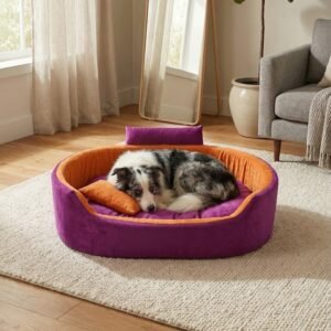 dog bed, premium dog bed, orthopedic dog bed, soft dog bed, pet bed for dogs, comfortable dog bed, washable dog bed, dog bed with cushion, premium orthopedic dog bed for large dogs, soft and comfortable dog bed with cushion, durable dog bed with PU foam support, luxury pet bed for small and medium dogs, breathable dog bed for summer and winter, stylish modern dog bed for home, lightweight dog bed easy to carry, dog bed with bone shape pillow, buy dog bed online India, best dog bed for home use, affordable premium dog bed, high quality pet bed India, dog bed under budget, cozy dog bed, luxury pet comfort bed, soft plush dog bed, designer dog bed, pet sleeping bed, dog sofa bed, dog lounger bed, pet sofa bed, round dog bed, donut dog bed, calming dog bed, anti anxiety dog bed, raised edge dog bed, bolster dog bed, dog bed with side support, dog bed with high walls, puppy bed, small dog bed, medium dog bed, large dog bed, extra large dog bed, indoor dog bed, home pet bed, dog sleeping cushion, thick padded dog bed, fluffy dog bed, soft foam dog bed, PU foam dog bed, fiber filled dog bed, eco friendly dog bed, skin friendly dog bed, hypoallergenic dog bed, non toxic pet bed, durable pet bedding, long lasting dog bed, tear resistant dog bed, chew resistant dog bed, easy to clean dog bed, machine washable pet bed, removable cover dog bed, portable dog bed, travel dog bed, foldable dog bed, lightweight pet bed, luxury dog sofa, premium pet mattress, designer pet furniture, modern pet bed, aesthetic dog bed, comfortable pet mattress, pet relaxation bed, cozy pet nest, warm dog bed for winter, cool breathable dog bed for summer, all season dog bed, anti slip base dog bed, waterproof dog bed, indoor luxury pet bed, dog bed for crate, dog bed for living room, pet accessories dog bed, best selling dog bed, trending pet products, affordable pet bedding India, online pet supplies India