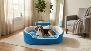 dog bed, premium dog bed, orthopedic dog bed, soft dog bed, pet bed for dogs, comfortable dog bed, washable dog bed, dog bed with cushion, premium orthopedic dog bed for large dogs, soft and comfortable dog bed with cushion, durable dog bed with PU foam support, luxury pet bed for small and medium dogs, breathable dog bed for summer and winter, stylish modern dog bed for home, lightweight dog bed easy to carry, dog bed with bone shape pillow, buy dog bed online India, best dog bed for home use, affordable premium dog bed, high quality pet bed India, dog bed under budget, cozy dog bed, luxury pet comfort bed, soft plush dog bed, designer dog bed, pet sleeping bed, dog sofa bed, dog lounger bed, pet sofa bed, round dog bed, donut dog bed, calming dog bed, anti anxiety dog bed, raised edge dog bed, bolster dog bed, dog bed with side support, dog bed with high walls, puppy bed, small dog bed, medium dog bed, large dog bed, extra large dog bed, indoor dog bed, home pet bed, dog sleeping cushion, thick padded dog bed, fluffy dog bed, soft foam dog bed, PU foam dog bed, fiber filled dog bed, eco friendly dog bed, skin friendly dog bed, hypoallergenic dog bed, non toxic pet bed, durable pet bedding, long lasting dog bed, tear resistant dog bed, chew resistant dog bed, easy to clean dog bed, machine washable pet bed, removable cover dog bed, portable dog bed, travel dog bed, foldable dog bed, lightweight pet bed, luxury dog sofa, premium pet mattress, designer pet furniture, modern pet bed, aesthetic dog bed, comfortable pet mattress, pet relaxation bed, cozy pet nest, warm dog bed for winter, cool breathable dog bed for summer, all season dog bed, anti slip base dog bed, waterproof dog bed, indoor luxury pet bed, dog bed for crate, dog bed for living room, pet accessories dog bed, best selling dog bed, trending pet products, affordable pet bedding India, online pet supplies India