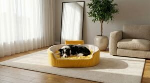 dog bed, premium dog bed, orthopedic dog bed, soft dog bed, pet bed for dogs, comfortable dog bed, washable dog bed, dog bed with cushion, premium orthopedic dog bed for large dogs, soft and comfortable dog bed with cushion, durable dog bed with PU foam support, luxury pet bed for small and medium dogs, breathable dog bed for summer and winter, stylish modern dog bed for home, lightweight dog bed easy to carry, dog bed with bone shape pillow, buy dog bed online India, best dog bed for home use, affordable premium dog bed, high quality pet bed India, dog bed under budget, cozy dog bed, luxury pet comfort bed, soft plush dog bed, designer dog bed, pet sleeping bed, dog sofa bed, dog lounger bed, pet sofa bed, round dog bed, donut dog bed, calming dog bed, anti anxiety dog bed, raised edge dog bed, bolster dog bed, dog bed with side support, dog bed with high walls, puppy bed, small dog bed, medium dog bed, large dog bed, extra large dog bed, indoor dog bed, home pet bed, dog sleeping cushion, thick padded dog bed, fluffy dog bed, soft foam dog bed, PU foam dog bed, fiber filled dog bed, eco friendly dog bed, skin friendly dog bed, hypoallergenic dog bed, non toxic pet bed, durable pet bedding, long lasting dog bed, tear resistant dog bed, chew resistant dog bed, easy to clean dog bed, machine washable pet bed, removable cover dog bed, portable dog bed, travel dog bed, foldable dog bed, lightweight pet bed, luxury dog sofa, premium pet mattress, designer pet furniture, modern pet bed, aesthetic dog bed, comfortable pet mattress, pet relaxation bed, cozy pet nest, warm dog bed for winter, cool breathable dog bed for summer, all season dog bed, anti slip base dog bed, waterproof dog bed, indoor luxury pet bed, dog bed for crate, dog bed for living room, pet accessories dog bed, best selling dog bed, trending pet products, affordable pet bedding India, online pet supplies India