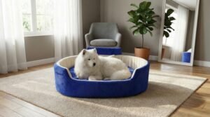 dog bed, premium dog bed, orthopedic dog bed, soft dog bed, pet bed for dogs, comfortable dog bed, washable dog bed, dog bed with cushion, premium orthopedic dog bed for large dogs, soft and comfortable dog bed with cushion, durable dog bed with PU foam support, luxury pet bed for small and medium dogs, breathable dog bed for summer and winter, stylish modern dog bed for home, lightweight dog bed easy to carry, dog bed with bone shape pillow, buy dog bed online India, best dog bed for home use, affordable premium dog bed, high quality pet bed India, dog bed under budget, cozy dog bed, luxury pet comfort bed, soft plush dog bed, designer dog bed, pet sleeping bed, dog sofa bed, dog lounger bed, pet sofa bed, round dog bed, donut dog bed, calming dog bed, anti anxiety dog bed, raised edge dog bed, bolster dog bed, dog bed with side support, dog bed with high walls, puppy bed, small dog bed, medium dog bed, large dog bed, extra large dog bed, indoor dog bed, home pet bed, dog sleeping cushion, thick padded dog bed, fluffy dog bed, soft foam dog bed, PU foam dog bed, fiber filled dog bed, eco friendly dog bed, skin friendly dog bed, hypoallergenic dog bed, non toxic pet bed, durable pet bedding, long lasting dog bed, tear resistant dog bed, chew resistant dog bed, easy to clean dog bed, machine washable pet bed, removable cover dog bed, portable dog bed, travel dog bed, foldable dog bed, lightweight pet bed, luxury dog sofa, premium pet mattress, designer pet furniture, modern pet bed, aesthetic dog bed, comfortable pet mattress, pet relaxation bed, cozy pet nest, warm dog bed for winter, cool breathable dog bed for summer, all season dog bed, anti slip base dog bed, waterproof dog bed, indoor luxury pet bed, dog bed for crate, dog bed for living room, pet accessories dog bed, best selling dog bed, trending pet products, affordable pet bedding India, online pet supplies India
