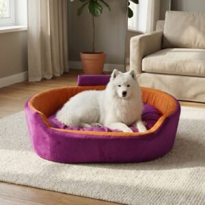 dog bed, premium dog bed, orthopedic dog bed, soft dog bed, pet bed for dogs, comfortable dog bed, washable dog bed, dog bed with cushion, premium orthopedic dog bed for large dogs, soft and comfortable dog bed with cushion, durable dog bed with PU foam support, luxury pet bed for small and medium dogs, breathable dog bed for summer and winter, stylish modern dog bed for home, lightweight dog bed easy to carry, dog bed with bone shape pillow, buy dog bed online India, best dog bed for home use, affordable premium dog bed, high quality pet bed India, dog bed under budget, cozy dog bed, luxury pet comfort bed, soft plush dog bed, designer dog bed, pet sleeping bed, dog sofa bed, dog lounger bed, pet sofa bed, round dog bed, donut dog bed, calming dog bed, anti anxiety dog bed, raised edge dog bed, bolster dog bed, dog bed with side support, dog bed with high walls, puppy bed, small dog bed, medium dog bed, large dog bed, extra large dog bed, indoor dog bed, home pet bed, dog sleeping cushion, thick padded dog bed, fluffy dog bed, soft foam dog bed, PU foam dog bed, fiber filled dog bed, eco friendly dog bed, skin friendly dog bed, hypoallergenic dog bed, non toxic pet bed, durable pet bedding, long lasting dog bed, tear resistant dog bed, chew resistant dog bed, easy to clean dog bed, machine washable pet bed, removable cover dog bed, portable dog bed, travel dog bed, foldable dog bed, lightweight pet bed, luxury dog sofa, premium pet mattress, designer pet furniture, modern pet bed, aesthetic dog bed, comfortable pet mattress, pet relaxation bed, cozy pet nest, warm dog bed for winter, cool breathable dog bed for summer, all season dog bed, anti slip base dog bed, waterproof dog bed, indoor luxury pet bed, dog bed for crate, dog bed for living room, pet accessories dog bed, best selling dog bed, trending pet products, affordable pet bedding India, online pet supplies India
