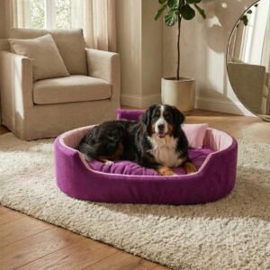 dog bed, premium dog bed, orthopedic dog bed, soft dog bed, pet bed for dogs, comfortable dog bed, washable dog bed, dog bed with cushion, premium orthopedic dog bed for large dogs, soft and comfortable dog bed with cushion, durable dog bed with PU foam support, luxury pet bed for small and medium dogs, breathable dog bed for summer and winter, stylish modern dog bed for home, lightweight dog bed easy to carry, dog bed with bone shape pillow, buy dog bed online India, best dog bed for home use, affordable premium dog bed, high quality pet bed India, dog bed under budget, cozy dog bed, luxury pet comfort bed, soft plush dog bed, designer dog bed, pet sleeping bed, dog sofa bed, dog lounger bed, pet sofa bed, round dog bed, donut dog bed, calming dog bed, anti anxiety dog bed, raised edge dog bed, bolster dog bed, dog bed with side support, dog bed with high walls, puppy bed, small dog bed, medium dog bed, large dog bed, extra large dog bed, indoor dog bed, home pet bed, dog sleeping cushion, thick padded dog bed, fluffy dog bed, soft foam dog bed, PU foam dog bed, fiber filled dog bed, eco friendly dog bed, skin friendly dog bed, hypoallergenic dog bed, non toxic pet bed, durable pet bedding, long lasting dog bed, tear resistant dog bed, chew resistant dog bed, easy to clean dog bed, machine washable pet bed, removable cover dog bed, portable dog bed, travel dog bed, foldable dog bed, lightweight pet bed, luxury dog sofa, premium pet mattress, designer pet furniture, modern pet bed, aesthetic dog bed, comfortable pet mattress, pet relaxation bed, cozy pet nest, warm dog bed for winter, cool breathable dog bed for summer, all season dog bed, anti slip base dog bed, waterproof dog bed, indoor luxury pet bed, dog bed for crate, dog bed for living room, pet accessories dog bed, best selling dog bed, trending pet products, affordable pet bedding India, online pet supplies India