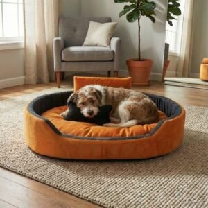 dog bed, premium dog bed, orthopedic dog bed, soft dog bed, pet bed for dogs, comfortable dog bed, washable dog bed, dog bed with cushion, premium orthopedic dog bed for large dogs, soft and comfortable dog bed with cushion, durable dog bed with PU foam support, luxury pet bed for small and medium dogs, breathable dog bed for summer and winter, stylish modern dog bed for home, lightweight dog bed easy to carry, dog bed with bone shape pillow, buy dog bed online India, best dog bed for home use, affordable premium dog bed, high quality pet bed India, dog bed under budget, cozy dog bed, luxury pet comfort bed, soft plush dog bed, designer dog bed, pet sleeping bed, dog sofa bed, dog lounger bed, pet sofa bed, round dog bed, donut dog bed, calming dog bed, anti anxiety dog bed, raised edge dog bed, bolster dog bed, dog bed with side support, dog bed with high walls, puppy bed, small dog bed, medium dog bed, large dog bed, extra large dog bed, indoor dog bed, home pet bed, dog sleeping cushion, thick padded dog bed, fluffy dog bed, soft foam dog bed, PU foam dog bed, fiber filled dog bed, eco friendly dog bed, skin friendly dog bed, hypoallergenic dog bed, non toxic pet bed, durable pet bedding, long lasting dog bed, tear resistant dog bed, chew resistant dog bed, easy to clean dog bed, machine washable pet bed, removable cover dog bed, portable dog bed, travel dog bed, foldable dog bed, lightweight pet bed, luxury dog sofa, premium pet mattress, designer pet furniture, modern pet bed, aesthetic dog bed, comfortable pet mattress, pet relaxation bed, cozy pet nest, warm dog bed for winter, cool breathable dog bed for summer, all season dog bed, anti slip base dog bed, waterproof dog bed, indoor luxury pet bed, dog bed for crate, dog bed for living room, pet accessories dog bed, best selling dog bed, trending pet products, affordable pet bedding India, online pet supplies India
