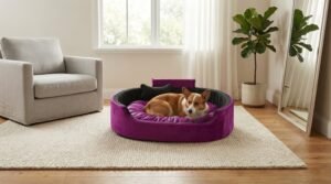 dog bed, premium dog bed, orthopedic dog bed, soft dog bed, pet bed for dogs, comfortable dog bed, washable dog bed, dog bed with cushion, premium orthopedic dog bed for large dogs, soft and comfortable dog bed with cushion, durable dog bed with PU foam support, luxury pet bed for small and medium dogs, breathable dog bed for summer and winter, stylish modern dog bed for home, lightweight dog bed easy to carry, dog bed with bone shape pillow, buy dog bed online India, best dog bed for home use, affordable premium dog bed, high quality pet bed India, dog bed under budget, cozy dog bed, luxury pet comfort bed, soft plush dog bed, designer dog bed, pet sleeping bed, dog sofa bed, dog lounger bed, pet sofa bed, round dog bed, donut dog bed, calming dog bed, anti anxiety dog bed, raised edge dog bed, bolster dog bed, dog bed with side support, dog bed with high walls, puppy bed, small dog bed, medium dog bed, large dog bed, extra large dog bed, indoor dog bed, home pet bed, dog sleeping cushion, thick padded dog bed, fluffy dog bed, soft foam dog bed, PU foam dog bed, fiber filled dog bed, eco friendly dog bed, skin friendly dog bed, hypoallergenic dog bed, non toxic pet bed, durable pet bedding, long lasting dog bed, tear resistant dog bed, chew resistant dog bed, easy to clean dog bed, machine washable pet bed, removable cover dog bed, portable dog bed, travel dog bed, foldable dog bed, lightweight pet bed, luxury dog sofa, premium pet mattress, designer pet furniture, modern pet bed, aesthetic dog bed, comfortable pet mattress, pet relaxation bed, cozy pet nest, warm dog bed for winter, cool breathable dog bed for summer, all season dog bed, anti slip base dog bed, waterproof dog bed, indoor luxury pet bed, dog bed for crate, dog bed for living room, pet accessories dog bed, best selling dog bed, trending pet products, affordable pet bedding India, online pet supplies India